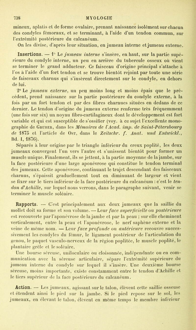 mineux, aplatis et de forme ovalaire, prenant naissance isolément sur chacun des condyles fémoraux, et se terminant, à l’aide d’un tendon commun, sur l’extrémité postérieure du calcanéum. On les divise, d’après leur situation, en jumeau interne et jumeau externe. Insertions. — he jumeaic interne s’insère, en haut, sur la partie supé- rieure du condyle interne, un peu en arrière du tubercule osseux où vient se terminer le grand adducteur. Ce faisceau d’origine principal s’attache à l’os à l’aide d'un fort tendon et se trouve bientôt rejoint par toute une série de faisceaux charnus qui s’insèrent directement sur le condyle, en dehors de lui. 2*^ Le jumeau externe, un peu moins long et moins épais que le pré- cédent, prend naissance sur la partie postérieure du condyle externe, à la fois par un fort tendon et par des fibres charnues situées en dedans de ce dernier. Le tendon d’origine du jumeau externe renferme très fréquemment (une fois sur six) un noyau fibro-cartilagineux dont le développement est fort variable et qui est susceptible de s’ossifier (voy. à ce sujet l’excellente mono- graphie de Gruber, dans les Mémoires de VAcad. imp. de Saint-Pétersbourg de 1875 et l’article de Ost, dans le Zeitschr. f. Anat. und Entwickl., Bd. I, 1876). Séparés à leur origine par le triangle inférieur du creux poplité, les deux jumeaux convergent l’un vers l’autre et s’unissent bientôt pour former un muscle unique. Finalement, ils se jettent, à la partie moyenne de la jambe, sur la face postérieure d’une large aponévrose qui constitue le tendon terminal des jumeaux. Cette aponévrose, continuant le trajet descendant des faisceaux charnus, s’épaissit graduellement tout en diminuant de largeur et vient se fixer sur le tiers inférieur de la face postérieure du calcanéum : c’est le ten- don d^Achille, sur lequel nous verrons, dans le paragraphe suivant, venir se terminer le muscle soléaire. Rapports. — C’est principalement aux deux jumeaux que la saillie du mollet doit sa forme et son volume. — Leur face superficielle ou postérieure est recouverte par l’aponévrose de la jambe et par la peau ; sur elle cheminent verticalement, entre la peau et l’aponévrose, le nerf saphène externe et la veine de même nom. — Leur face profonde ou antérieure recouvre succes- sivement les condyles du fémur, le ligament postérieur de l’articulation du genou, le paquet vasculo-nerveux de la région poplitée, le muscle poplité, le plantaire grêle et le soléaire. Une bourse séreuse, uniloculaire ou cloisonnée, indépendante ou en com- munication avec la séreuse articulaire, sépare l’extrémité supérieure du jumeau interne du condyle sur lequel il s’insère. Une deuxième bourse séreuse, moins importante, existe constamment entre le tendon d’Achille et le tiers supérieur de la face postérieure du calcanéum. Action. — Les jumeaux, agissant sur le talon, élèvent cette saillie osseuse et étendent ainsi le pied sur la jambe. Si le pied repose sur le sol, les jumeaux, en élevant le talon, élèvent en même temps le membre inférieur