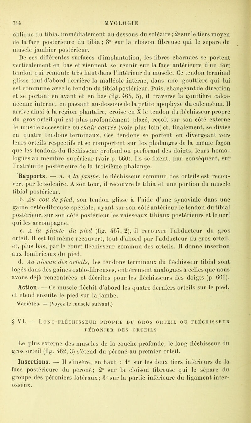 oblique du tibia, immédiatement au-dessous du soléaire; 2® sur le tiers moyen de la face postérieure du tibia ; 3® sur la cloison fibreuse qui le sépare du muscle jambier postérieur. De ces différentes surfaces d’implantation, les fibres charnues se portent verticalement en bas et viennent se réunir sur la face antérieure d’un fort tendon qui remonte très haut dans l’intérieur du muscle. Ce tendon terminal glisse tout d’abord derrière la malléole interne, dans une gouttière qui lui est commune avec le tendon du tibial postérieur. Puis, changeant de direction et se portant en avant et en bas (fîg. 464, 5), il traverse la gouttière calca- néenne interne, en passant au-dessous de la petite apophyse du calcanéum. Il arrive ainsi à la région plantaire, croise en X le tendon du fléchisseur propre du gros orteil qui est plus profondément placé, reçoit sur son côté externe le muscle accessoire ou chair carrée (voir plus loin) et, finalement, se divise en quatre tendons terminaux. Ces tendons se portent en divergeant vers leurs orteils respectifs et se comportent sur les phalanges de la même façon que les tendons du fléchisseur profond ou perforant des doigts, leurs homo- logues au membre supérieur (voir p. 660). Ils se fixent, par conséquent, sur l’extrémité postérieure de la troisième phalange. ^Rapports. — a. A la jamhe^ le lléchisseur commun des orteils est recou- vert par le soléaire. A son tour, il recouvre le tibia et une portion du muscle tibial postérieur. b. Au cou-de-pied, son tendon glisse à l’aide d’une synoviale dans une gaine ostéo-fibreiise spéciale, ayant sur son côté antérieur le tendon du tibial postérieur, sur son côté postérieur les vaisseaux tibiaux postérieurs et le nerf qui les accompagne. c. A la plante du pied (fig. 467, 2), il recouvre l’abducteur du gros orteil. Il est lui-même recouvert, tout d’abord par l’adducteur du gros orteil, et, plus bas, par le court fléchisseur commun des orteils. Il donne insertion aux lombricaux du pied. d. Au niveau des orteils, les tendons terminaux du fléchisseur tibial sont logés dans des gaines ostéo-fibreuses, entièrement analogues à celles que nous avons déjà rencontrées et décrites pour les fléchisseurs des doigts (p. 661). Action. — Ce muscle fléchit d’abord les quatre derniers orteils sur le pied, et étend ensuite le pied sur la jambe. Variétés. — (Voyez le muscle suivant.) § VI. — Long fléchisseur propre du gros orteil ou fléchisseur PÉRONIER DES ORTEILS Le plus externe des muscles de la couche profonde, le long fléchisseur du gros orteil (fîg. 462, 3) s’étend du péroné au premier orteil. Insertions. — Il s’insère, en haut : 1° sur les deux tiers inférieurs de la face postérieure du péroné; 2° sur la cloison fibreuse qui le sépare du groupe des péroniers latéraux; 3° sur la partie inférieure du ligament inter- osseux.