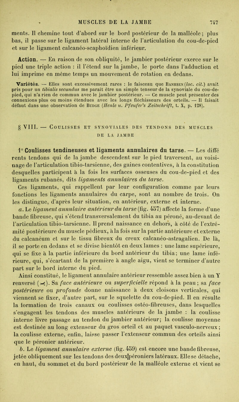 ments. Il chemine tout d’abord sur le bord postérieur de la malléole; plus bas, il passe sur le ligament latéral interne de l’articulation du cou-de-pied et sur le ligament calcanéo-scaphoïdien inférieur. Action. — En raison de son obliquité, le jambier postérieur exerce sur le pied une triple action : il l’étend sur la jambe, le porte dans l’adduction et lui imprime en même temps un mouvement de rotation en dedans. Variétés. — Elles sont excessivement rares : le faisceau que Banhsen (^oc. cü.) avait pris pour un tibialis secundus me paraît être un simple tenseur de la synoviale du cou-de- pied, qui n’a rien de commun avec le jambier postérieur. — Ce muscle peut présenter des connexions plus ou moins étendues avec les longs fléchisseurs des orteils. — Il faisait défaut dans une observation de Budge [Henle u. Pfeufer^s Zeitschrift, t. X, p. 128). § VIII. — Coulisses et synoviales des tendons des muscles DE LA JAMBE Coulisses tendineuses et ligaments annulaires du tarse. — Les diffé rents tendons qui de la jambe descendent sur le pied traversent, au voisi- nage de l’articulation tibio-tarsienne, des gaines contentives, à la constitution desquelles participent à la fois les surfaces osseuses du cou-de-pied et des ligaments rubanés, dits ligaments annulaires du tarse. Ces ligaments, qui rappellent par leur configuration comme par leurs fonctions les ligaments annulaires du carpe, sont au nombre de trois. On les distingue, d’après leur situation, en antérieur, externe et interne. a. Le ligament annulaire antérieur dit tarse (fig. 457) affecte la forme d’une bande fibreuse, qui s’étend transversalement du tibia au péroné, au-devant de l’articulation tibio-tarsienne. Il prend naissance en dehors, à côté de l’extré- mité postérieure du muscle pédieux, à la fois sur la partie antérieure et externe du calcanéum et sur le tissu fibreux du creux calcanéo-astragalien. De là, il se porte en dedans et se divise bientôt en deux lames : une lame supérieure, qui se fixe à la partie inférieure du bord antérieur du tibia; une lame infé- rieure, qui, s’écartant de la première à angle aigu, vient se terminer d’autre part sur le bord interne du pied. Ainsi constitué, le ligament annulaire antérieur ressemble assez bien à un Y renversé ( t-<). Sa face antérieure ou superficielle répond à la peau ; sa face postérieure ou profonde donne naissance à deux cloisons verticales, qui viennent se fixer, d’autre part, sur le squelette du cou-de-pied. Il en résulte la formation de trois canaux ou coulisses ostéo-fibreuses, dans lesquelles s’engagent les tendons des muscles antérieurs de la jambe ; la coulisse interne livre passage au tendon du jambier antérieur; la coulisse moyenne est destinée au long extenseur du gros orteil et au paquet vasculo-nerveux ; la coulisse externe, enfin, laisse passer l’extenseur commun des orteils ainsi que le péronier antérieur. b. Le ligament annulaire externe (fig. 459) est encore une bande fibreuse, jetée obliquement sur les tendons des deuxjpéroniers latéraux. Elle se détache, en haut, du sommet et du bord postérieur de la malléole externe et vient se