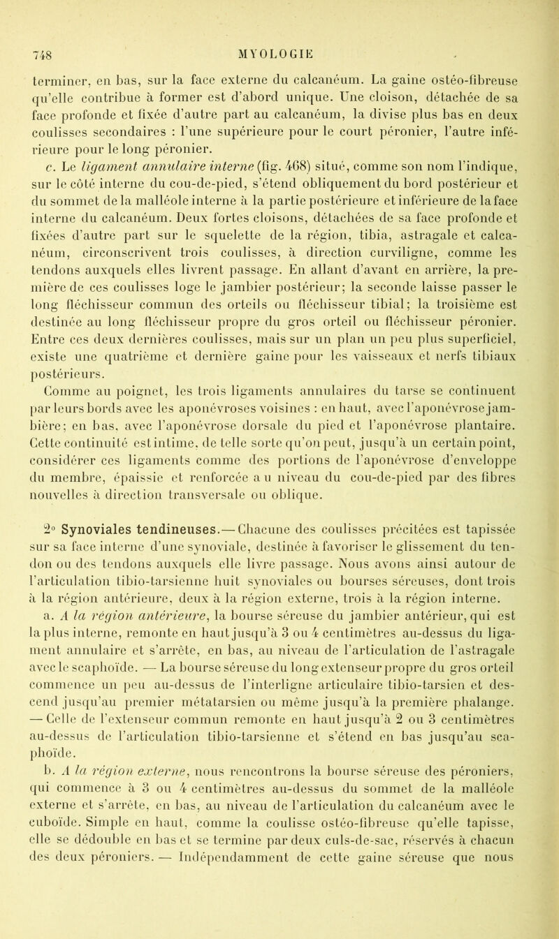 terminer, en bas, sur la face externe du calcanéum. La gaine ostéo-fibreuse qu’elle contribue à former est d’abord unique. Une cloison, détachée de sa face profonde et fixée d’autre part au calcanéum, la divise plus bas en deux coulisses secondaires : l’une supérieure pour le court péronier, l’autre infé- rieure pour le long péronier. c. Le ligament annulaire mterne 468) situé, comme son nom l’indique, sur le côté interne du cou-de-pied, s’étend obliquement du bord postérieur et du sommet delà malléole interne à la partie postérieure et inférieure de la face interne du calcanéum. Deux fortes cloisons, détachées de sa face profonde et fixées d’autre part sur le squelette de la région, tibia, astragale et calca- néum, circonscrivent trois coulisses, à direction curviligne, comme les tendons auxquels elles livrent passage. En allant d’avant en arrière, la pre- mière de ces coulisses loge le jambier postérieur; la seconde laisse passer le long fléchisseur commun des orteils ou fléchisseur tibial; la troisième est destinée au long fléchisseur propre du gros orteil ou fléchisseur péronier. Entre ces deux dernières coulisses, mais sur un plan un peu plus superficiel, existe une quatrième et dernière gaine pour les vaisseaux et nerfs tibiaux postérieurs. Comme au poignet, les trois ligaments annulaires du tarse se continuent par leurs bords avec les aponévroses voisines : en haut, avec l’aponévrose jam- bière; en bas, avec l’aponévrose dorsale du pied et l’aponévrose plantaire. Cette continuité est intime, de telle sorte qu’on peut, jusqu’à un certain point, considérer ces ligaments comme des portions de l’aponévrose d’enveloppe du membre, épaissie et renforcée a u niveau du cou-de-pied par des fibres nouvelles à direction transversale ou oblique. 2° Synoviales tendineuses.— Chacune des coulisses précitées est tapissée sur sa face interne d’une synoviale, destinée à favoriser le glissement du ten- don ou des tendons auxquels elle livre passage. Nous avons ainsi autour de l’articulation tibio-tarsienne huit synoviales ou bourses séreuses, dont trois à la région antérieure, deux à la région externe, trois à la région interne. a. A la région antérieure, la bourse séreuse du jambier antérieur, qui est la plus interne, remonte en haut jusqu’à 3 ou 4 centimètres au-dessus du liga- ment annulaire et s’arrête, en bas, au niveau de l’articulation de l’astragale avec le scaphoïde. — La bourse séreuse du long extenseur propre du gros orteil commence un peu au-dessus de l’interligne articulaire tibio-tarsien et des- cend jusqu’au premier métatarsien ou même jusqu’à la première phalange. — Celle de l’extenseur commun remonte en haut jusqu’à 2 ou 3 centimètres au-dessus de l’articulation tibio-tarsienne et s’étend en bas jusqu’au sca- phoïde. b. A la région externe, nous rencontrons la bourse séreuse des péroniers, qui commence à 3 ou 4 centimètres au-dessus du sommet de la malléole externe et s’arrête, en bas, au niveau de l’articulation du calcanéum avec le cuboïde. Simple en haut, comme la coulisse ostéo-fibreuse qu’elle tapisse, elle se dédouble en bas et se termine par deux culs-de-sac, réservés à chacun des deux péroniers. — Indépendamment de cette gaine séreuse que nous