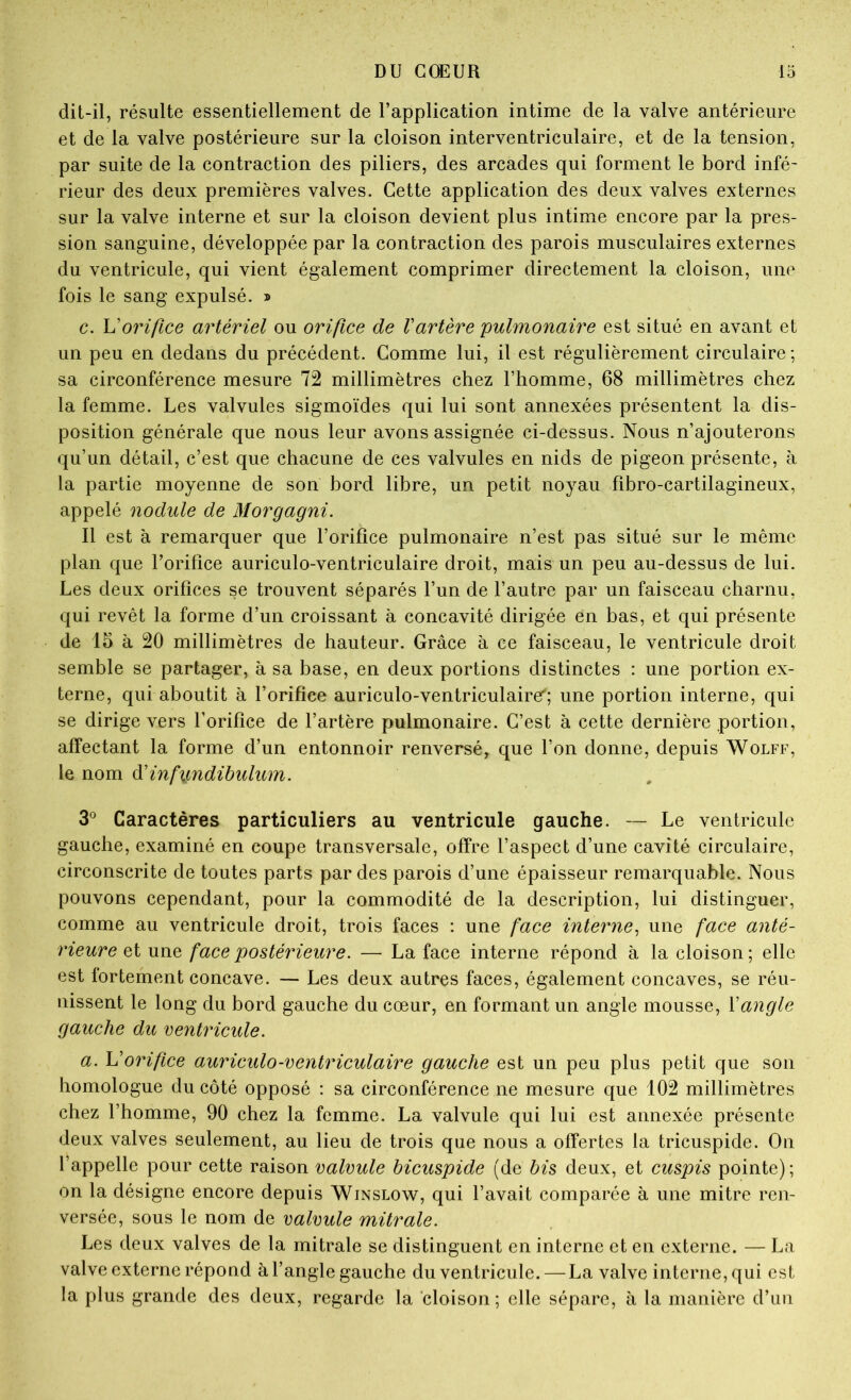dit-il, résulte essentiellement de l’application intime de la valve antérieure et de la valve postérieure sur la cloison interventriculaire, et de la tension, par suite de la contraction des piliers, des arcades qui forment le bord infé- rieur des deux premières valves. Cette application des deux valves externes sur la valve interne et sur la cloison devient plus intime encore par la pres- sion sanguine, développée par la contraction des parois musculaires externes du ventricule, qui vient également comprimer directement la cloison, une fois le sang expulsé. » c. Vorifice artériel ou orifice de Vartère pulmonaire est situé en avant et un peu en dedans du précédent. Gomme lui, il est régulièrement circulaire ; sa circonférence mesure 72 millimètres chez l’homme, 68 millimètres chez la femme. Les valvules sigmoïdes qui lui sont annexées présentent la dis- position générale que nous leur avons assignée ci-dessus. Nous n’ajouterons qu’un détail, c’est que chacune de ces valvules en nids de pigeon présente, à la partie moyenne de son bord libre, un petit noyau fibro-cartilagineux, appelé nodule de Morgagni. Il est à remarquer que l’orifice pulmonaire n’est pas situé sur le même plan que l’orifice auriculo-ventriculaire droit, mais un peu au-dessus de lui. Les deux orifices se trouvent séparés l’un de l’autre par un faisceau charnu, qui revêt la forme d’un croissant à concavité dirigée en bas, et qui présente de 15 à 20 millimètres de hauteur. Grâce à ce faisceau, le ventricule droit semble se partager, à sa base, en deux portions distinctes ; une portion ex- terne, qui aboutit à l’orifice auriculo-ventriculaire'; une portion interne, qui se dirige vers l’orifice de l’artère pulmonaire. C’est à cette dernière portion, affectant la forme d’un entonnoir renversé, que l’on donne, depuis Wolff, le nom (\Hnf\indihulum. 3® Caractères particuliers au ventricule gauche. — Le ventricule gauche, examiné en coupe transversale, offre l’aspect d’une cavité circulaire, circonscrite de toutes parts par des parois d’une épaisseur remarquable. Nous pouvons cependant, pour la commodité de la description, lui distinguer, comme au ventricule droit, trois faces : une face interne^ une face anté- rieure une face postérieure. — La face interne répond à la cloison; elle est fortement concave. — Les deux autres faces, également concaves, se réu- nissent le long du bord gauche du cœur, en formant un angle mousse, Vangle gauche du ventricule. a. Uorifce auriculo-ventriculaire gauche est un peu plus petit que son homologue du côté opposé : sa circonférence ne mesure que 102 millimètres chez l’homme, 90 chez la femme. La valvule qui lui est annexée présente deux valves seulement, au lieu de trois que nous a offertes la tricuspide. On l’appelle pour cette raison valvule bicuspide (de bis deux, et cuspis pointe); on la désigne encore depuis Winslow, qui l’avait comparée à une mitre ren- versée, sous le nom de valvule mitrale. Les deux valves de la mitrale se distinguent en interne et en externe. — La valve externe répond à l’angle gauche du ventricule.—La valve interne, qui est la plus grande des deux, regarde la cloison ; elle sépare, à la manière d’un