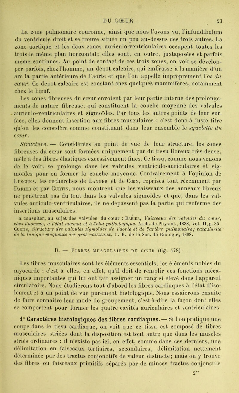 La zone pulmonaire couronne, ainsi que nous l’avons vu, l’infundibulum du ventricule droit et se trouve située un peu au-dessus des trois autres. La zone aortique et les deux zones auriculo-ventriculaires occupent toutes les trois le même plan horizontal; elles sont, en outre, juxtaposées et parfois même continues. Au point de contact de ces trois zones, on voit se dévelop- per parfois, chez l’homme, un dépôt calcaire, qui eml^asse à la manière d’un arc la partie antérieure de l’aorte et que l’on appelle improprement l’os du cœur. Ce dépôt calcaire est constant chez quelques mammifères, notamment chez le bœuf. Les zones fibreuses du cœur envoient par leur partie interne des prolonge- ments de nature fibreuse, qui constituent la couche moyenne des valvules ^auriculo-ventriculaires et sigmoïdes. Par tous les autres points de leur sur- face, elles donnent insertion aux fibres musculaires : c’est donc à juste titre qu’on les considère comme constituant dans leur ensemble le squelette du cœur. Structure. — Considérées au point de vue de leur structure, les zones fibreuses du cœur sont formées uniquement par du tissu fibreux très dense, mêlé à des fibres élastiques excessivement fines. Ce tissu, comme nous venons de le voir, se prolonge dans les valvules ventriculo-auriculaires et sig- moïdes pour en former la couche moyenne. Contrairement à l’opinion de Luschka, les recherches de Langer et de Ccen, reprises tout récemment par Darier et par Curtis, nous montrent que les vaisseaux des anneaux fibreux ne pénètrent pas du tout dans les valvules sigmoïdes et que, dans les val- vules auriculo-ventriculaires, ils ne dépassent pas la partie qui renferme des insertions musculaires. A consulter, au sujet des valvules du cœur : Darier, Vaisseaux des valvules du cœur, chez l'homme., à l’étal normal et à l'état pathologique^ Arch. de Physiol., 1888, vol. II, p. 35 CüRTis, Structure des valvules sigmoïdes de l’aorte et de l’artère pulmonaire ; vascularité de la tunique muqueuse des gros vaisseaux., G. R. de la Soc. de Biologie, 1888. B. — Fibres musculaires du cœur (fig. 478) Les fibres musculaires sont les éléments essentiels, les éléments nobles du myocarde ; c’est à elles, en effet, qu’il doit de remplir ces fonctions méca- niques importantes qui lui ont fait assigner un rang si élevé dans l’appareil circulatoire. Nous étudierons tout d’abord les fibres cardiaques à l’état d’iso- lement et à un point de vue purement histologique. Nous essaierons ensuite de faire connaître leur mode de groupement, c’est-à-dire la façon dont elles se comportent pour former les quatre cavités auriculaires et ventriculaires Caractères histologiques des fibres cardiaques. — Si l’on pratique une coupe dans le tissu cardiaque, on voit que ce tissu est composé de fibres musculaires striées dont la disposition est tout autre que dans les muscles striés ordinaires : il n’existe pas ici, en effet, comme dans ces derniers, une délimitation en faisceaux tertiaires, secondaires, délimitation nettement déterminée par des tractus conjonctifs de valeur distincte; mais on y trouve des fibres ou faisceaux primitifs séparés par de minces tractus conjonctifs