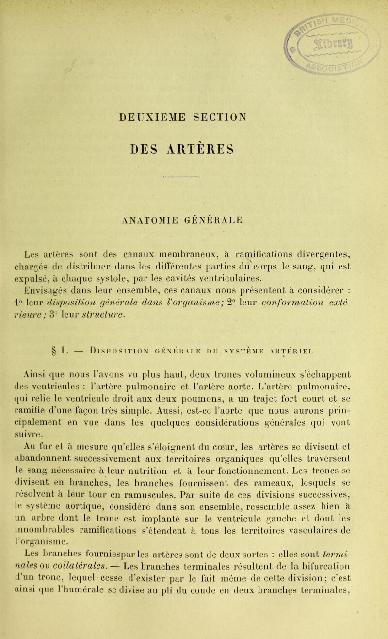 DEUXIEME SECTION DES ARTÈRES ANATOMIE GÉNÉRALE Les artères sont des canaux membraneux, à ramifications divergentes, chargés de distribuer dans ies différentes parties du'corps le sang, qui est expulsé, à chaque systole, par les cavités ventriculaires. Envisagés dans leur ensemble, ces canaux nous présentent à considérer : U leur disposition générale dans V organisme ; 2*^ leur conformation exté- rieure ; 3*^ leur structure. § I. — Disposition générale du système artériel Ainsi que nous l’avons vu plus haut, deux troncs volumineux s’échappent des ventricules : l’artère pulmonaire et l’artère aorte. L’artère pulmonaire, ([ui relie le ventricule droit aux deux poumons, a un trajet fort court et se ramifie d’une façon très simple. Aussi, est-ce l’aorte que nous aurons prin- cipalement en vue dans les quelques considérations générales qui vont suivre. Au fur et à mesure qu’elles s’éloignent du cœur, les artères se divisent et abandonnent successivement aux territoires organiques qu’elles traversent le sang nécessaire à leur nutrition et à leur fonctionnement. Les troncs se divisent en branches, les branches fournissent des rameaux, lesquels se résolvent à leur tour en ramuscules. Par suite de ces divisions successives, le système aortique, considéré dans son ensemble, ressemble assez bien à un arbre dont le tronc est implanté sur le ventricule gauche et dont les innombrables ramifications s’étendent à tous les territoires vasculaires de l’organisme. Les branches fourniespar les artères sont de deux sortes : elles sont termi- nales ou collatérales. — Les branches terminales résultent de la bifurcation d’un tronc, lequel cesse d’exister par le fait même de cette division; c’est ainsi que l’humérale se divise au pli du coude en deux branches terminales.