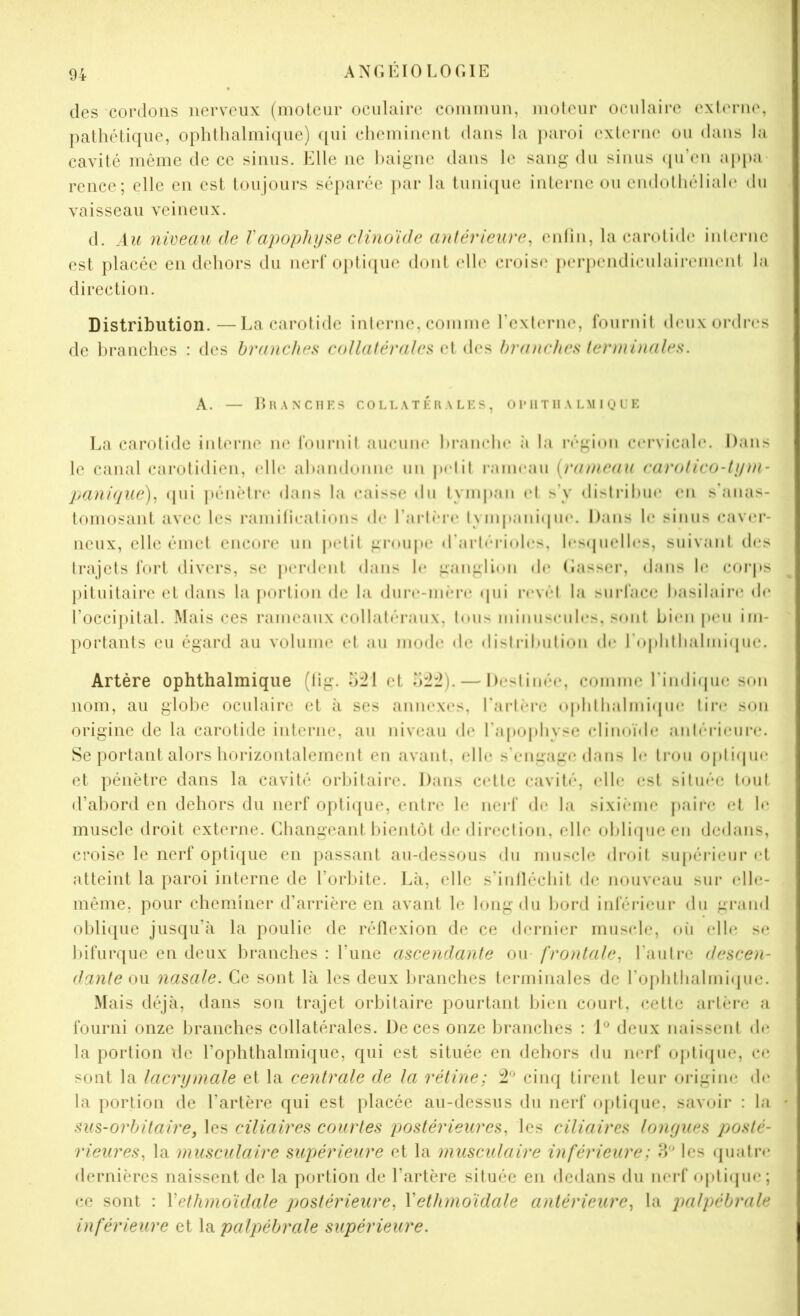 des cordons nerveux (molciir oculaire commun, moteur oculaire exE'riie, pathétique, ophthalmique) qui cheminent dans la paroi externe ou dans la cavité même de ce sinus. Elle ne haigne dans le sang du sinus <pi’en ap|)a rencc; elle en est toujours séparée })ar la tunicpic interne ou endolhéliah* du vaisseau veineux. (1. Au nweau de Vapophyse clino'ide anlérieure^ enlin, la carotide interne est placée en dehors du nerf opti([ue dont (die crois(‘ perpendiculairemeid la direction. Distribution.—La carotide interne, comme rexterne, fournit deux ordres de branches : des branches c(dlatérales des bra)iches terminales. A. — Erancues collatérales, OrilTHA lmkhe La carotide interne ne fournit aucune hranclu' ;i la région cervicah*. Dans le canal carotidien, (die ahandonne un p(dit rameau [rameau rarolico-tym- jmni(/ue), (pii ]>éu(dr(‘ dans la caisse du tyiiq)an (d s’y distriluu* en s’anas- tomosant avec les ramifications d(‘ l’ai'tiuM* tympani(pic. Dans le sinus cav(‘i‘- neux, elle émet encore un petit groupe (t’artéidoles, b'scpielles, suivant des trajets fort divers, se p(‘rdent dans le ganglion d(‘ (lasser, dans b‘ coi’ps pituitaire et dans la portion de la dur(‘-m(*r(; (pii r(*vét la surface hasilain; de l’occipital. Mais ces rameaux collatéraux, tous minuseules, sont bimi |>eii im- portants eu égard au volume et au mode de distidhiition de ro|)hllialmi([ue. Artère ophthalmique (lig. 5:21 et 5:2:2). — Destinée, comme rindi(pi(! son nom, au globe oculaire et à ses annexes, rart(*re o|ditlialmi(pie tire son origine de la carotide interne, au niveau de l’apcqdiyse (dinoïde anléideiire. Se portant alors horizontalement en avant, elle s’engagii dans h; trou optiipie et pénètre dans la cavité orbitaire. Dans cidte cavité, (die est située t(nit d’abord en dehors du nerf opti(}ue, entre le nerf (h* la sixiimie paire et le muscle droit externe. Changeant hientéit de direction, elle obli(pieen dedans, croise le nerf opti([ue en passant au-dessous du muscle droit su|>érieiir et atteint la paroi interne de l’orlnte. Là, elle s’infléchit de nouveau sur elle- même, pour cheminer d’arrière en avant le long du bord iiderieur du gi-aiid obli([ue jusqu’à la poulie de réflexion de ce dernier muscle, oii elle se bifurque en deux branches : rune ascendante ou frontale^ l’autre descen- dante on nasale. Ce sont là les deux In-anches terminales de rophthalmi(pie. Mais déjà, dans son trajet orbitaire pourtant bien court, (îette artère a fourni onze branches collatérales. De ces onze branches : I® deux naissent (h; la portion de l’ophthalmique, qui est située en dehors du nerf opti(pie, C(î sont la lacrymale et la centrale de la rétine; ^1^ cinq tirent leur origine de la portion de l’artère qui est placée au-dessus du nerf opti(pie, savoir : la sus-orbitaire, les ciliaires courtes postérieures, les ciliaires longues posté- rieures, la musculaire supérieure et la musculaire inférieure ; les cpiatrc dernières naissent de la portion de l’artère située en dedans du nerf ojdicpie; ce sont : Vethmoïdale postérieure, Vethmoïdale antérieure, la palpébrale inférieure et la palpébrale supérieure.