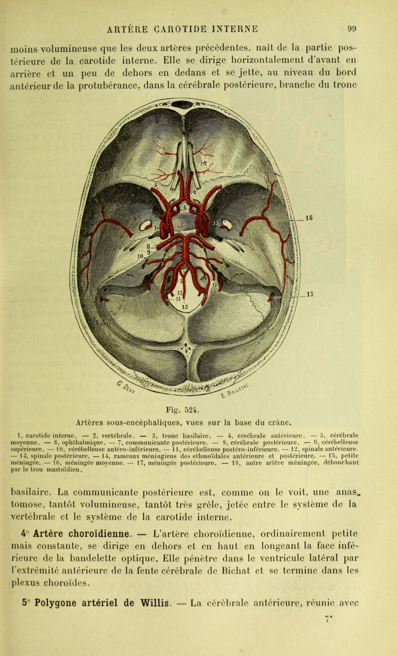 moins volumineuse que les deux artères précédentes, naît de la partie pos- térieure de la carotide interne. Elle se dirige horizontalement d’avant en arrière et un peu de dehors en dedans et se jette, au niveau du bord antérieur de la protubérance, dans la cérébrale postérieure, branche du tronc Fig. 524. Artères sous-encépbaliques, vues sur la base du crâne. 1, carotide interne. — 2, vertébrale. — 3, tronc basilaire. — 4, cérébrale antérieure. — o, céi’ébrale moyenne. — 6, ophthalmique. —7, communicante postérieure. — 8, cérébrale postérieure. — 9, cérébelleuse supérieure. — 10, cérébelleuse antéro-inférieure. — 11, cérébelleuse postéro-inférieure. — 12, spinale antérieure. — 13, spinale postérieure. —14, rameaux méningiens des ethmoïdales antérieure et postérieure. —15, petite méningée. — 10, méningée moyenne. — 17, méningée postérieure. — 18, autre artère méningée, débouchant par le trou mastoïdien, basilaire. La communicante postérieure est, comme on le voit, une anas^ tomose, tantôt volumineuse, tantôt très grêle, jetée entre le système de la vertébrale et le système de la carotide interne. 4' Artère choroïdienne. — L’artère choroïdienne, ordinairement petite mais constante, se dirige en dehors et en haut en longeant la face infé- rieure de la bandelette optique. Elle pénètre dans le ventricule latéral par l’extrémité antérieure de la fente cérébrale de Bichat et se termine dans les plexus choroïdes. 5'^ Polygone artériel de Willis. — La cérébrale antérieure, réunie avec