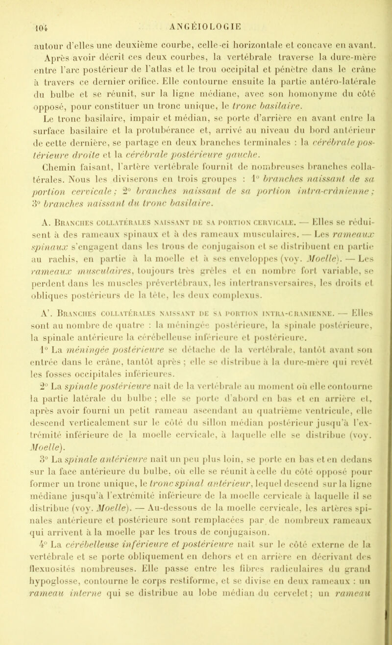 autour d’elles une deuxième courbe, celle-ci horizontale et concave en avant. Après avoir décrit ces deux courbes, la vertébrale traverse la dure-mère entre l’arc postérieur de l’atlas et le trou occipital et pénètre dans le crâne à travers ce dernier orifice. Elle contourne ensuite la partie anléro-Iatérale du bulbe et se réunit, sur la ligne médiane, avec son homonyme du côté opposé, pour constituer un tronc uni([ue, le Ironc basilaire. Le tronc basilaire, impair et médian, se porte d’arrière en avant entre bi surface basilaire et la protubérance et, arrivé au niveau du l»ord antériem* de cette dernière, se partage en deux branches terminales : la r&rcbralepos- térieure droite et la cérébrale postérieure (laxiche. Chemin faisant, l’artère vertébrale fournit de nombreuses l)rancbes colla- térales. Nous les diviserons en trois groupes : 1*^ branches naissant de sa portion cercicale ; branches naissant de sa portion intra-crânienne ; branches naissant du tronc basilaire. A. Lranciies collatérales naissant de sa roRTioN CERViCAi.E. — Elles se rédui- sent à des rameaux spinaux et à des raimuiux musculaires. — Les rameaux spinaux s’engagent dans les trous de conjugaison et se dislribuent en partie* au rachis, en jiartie à la moelle et à ses (uivcloppes (voy. Moelle). — Les rameaux musculaires, loujours très grêles et en nombn' fort variable, su perdent dans les inuscb's jirévertébraux, les interlransversaires, les droits et oldieiues postérieuirs de la tète, les deux coinplexus. A’. UrANCIIES collatérales naissant de S\ portion INTRA-CRANIENNE. EllcS sont au nombre île «juatre : la méningée posteu-ieure, la spinale postéi’ieiire, la spinale antérieure la cérébelleusi; inlV'rienire et postérieure*. 1° La méningée postérieure se elétacln; ele* la vertébrale, tantôt avant son entrée dans le crâne, tantôt après ; e*tle* se etistribue ;i la elnre*-me‘i*e ejui revêt les fosses occipitales inférieures. La spinale 'pjostérieure naît de la verte'*brale an moment oii elle e:ontenirne la partie latérale du bulbe ; elle se peji-te eraben-el en bas e*t en arrii’re et, après avoir fourni un petit rameau ascendant au (piatrièine ventricule, elle descend verticalement sur le côté du sillon médian postérieur jusipi’à l’ex- trémité inférieure de la moelle cervicale, à bupielle elle se distribue (voy. Moelle). d® ha spinale antérieure naît un peu plus loin, se porte en bas et en dedans sur la face antérieure du bulbe, où elle se réunit à celle du eôté opposé pour former un tronc unique, le tronc spinal antérieur, lequel descend sur la ligne médiane jusqu’à l’extrémité inférieure de la moelle cervicale à laijuelle il se distribue (voy. Moelle). — Au-dessous de la moelle cervicale, les artères spi- nales antérieure et postérieure sont rem[)lacées par de nombreux rameaux qui arrivent à la moelle [»ar les trous de conjugaison. 4® La cérébelleuse inférieure et postérieure naît sur le côté externe de la vertébrale et se porte obliquement en dehors et en arrière en décrivant des llexuosités nombreuses. Elle jiasse entre les fibres radiculaires du grand hypoglosse, contourne le corps restiforme, et se divise en deux rameaux : un rameau interne qui se distribue au lobe médian du cervelet; un rameau