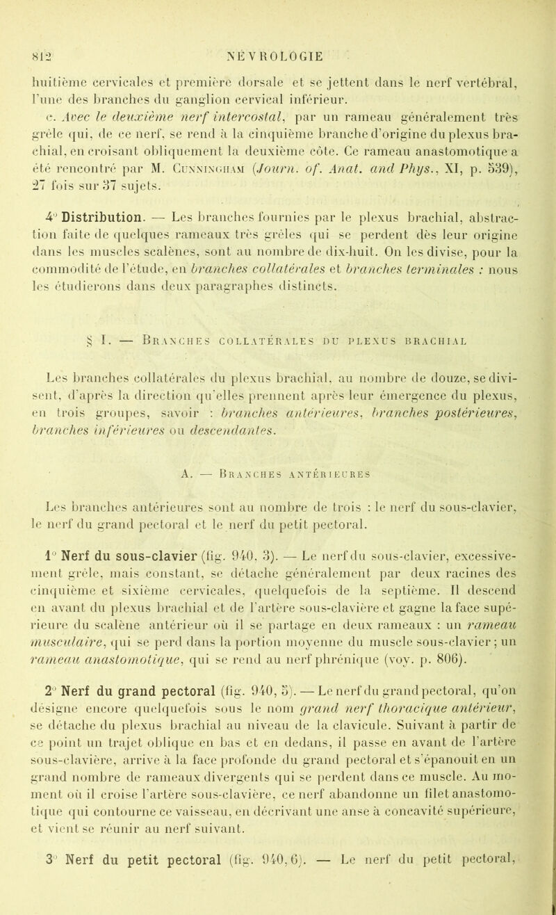 huitième cervicales et première dorsale et se jettent dans le nerf vertébral, l’ime des branches du ganglion cervical inférieur. e. Avec le deuxième nerf intercostaf par un rameau généralement très grêle qui, de ce nerf, se rend à la cinquième branche d’origine du plexus bra- chial, en croisant obliquement la deuxième côte. Ce rameau anastomotique a été rencontré par M. Guxnixgiiam {Journ. of. Anat. and Phys.^ XI, p. 539), fois sur 37 sujets. 4'^ Distribution. — Les branches fournies par le plexus brachial, abstrac- tion faite de quelques rameaux très grêles qui se perdent dès leur origine dans les muscles scalènes, sont au nombre de dix-huit. On les divise, pour la commodité de l’étude, en branches collatérales et branches terminales : nous les étudierons dans deux paragraphes distincts. I. — Branches collatérales nu plexus brachial Les branches collatérales du plexus brachial, au nombre de douze, se divi- sent, d’après la direction qu'elles prennent après leur émergence du plexus, en trois groupes, savoir : branches antérieures, branches j^ostérieures, branches inférieures ou descendantes. A. — Branches antérieures Les branches antérieures sont au nombre de trois : le nerf du sous-clavier, le nerf du grand pectoral et le nerf du petit pectoral. 1° Nerf du sous-clavier (lig. 940, 3). — Le nerf du sous-clavier, excessive- ment grêle, mais constant, se détache généralement par deux racines des cinquième et sixième cervicales, <{uelquefois de la septième. Il descend en avant du plexus brachial et de l’artère sous-clavière et gagne la face supé- rieure du scalène antérieur où il se partage en deux rameaux : un rameau musculaire, qui se perd dans la portion moyenne du muscle sous-clavier; un rameau anastomotique, qui se rend au nerf phrénique (voy. p. 806). 2^ Nerf du grand pectoral (lig. 940, 5). — Lenerf du grand pectoral, qu’on désigne encore quelquefois sous le nom grand nerf thoracique antérieur, se détache du plexus brachial au niveau de la clavicule. Suivant à partir de ce point un trajet oblique en bas et en dedans, il passe en avant de l’artère sous-clavière, arrive à la face profonde du grand pectoral et s’épanouit en un grand nombre de rameaux divergents qui se perdent dans ce muscle. Au mo- ment où il croise l’artère sous-clavière, ce nerf abandonne un filet anastomo- tique qui contourne ce vaisseau, en décrivant une anse à concavité supérieure, et vient se réunir au nerf suivant. 3‘^ Nerf du petit pectoral (fig. 940,6). — Le nerf du petit pectoral,