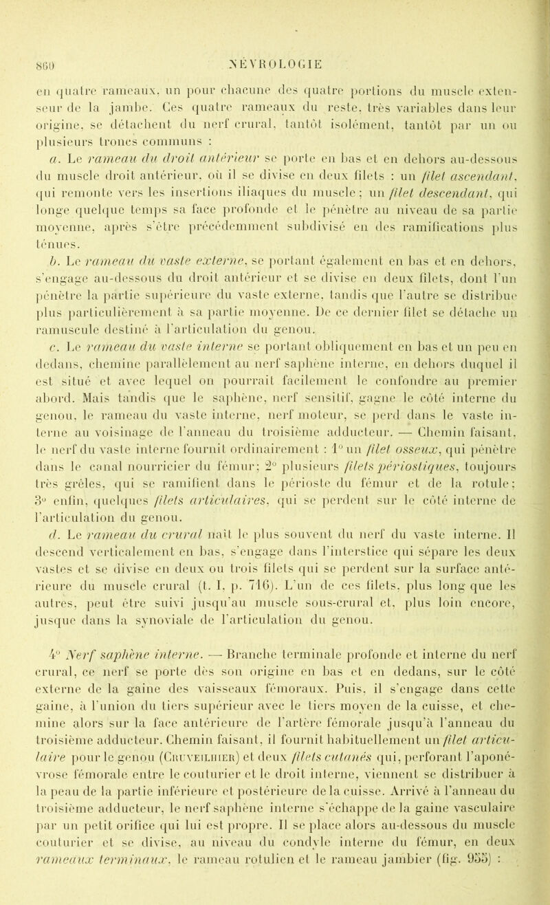 800 cil quatre rameaux, un pour chacune des quatre portions du muscle exten- seur de la jambe. Ces quatre rameaux du reste, très variables dans leur origine, se détachent du nerf crural, tantôt isolément, tantôt par un ou plusieurs troncs communs : a. Le rameau du droit antérieur se porte en bas et en dehors au-dessous du muscle droit antérieur, oii il se divise en deux filets : un filet ascendant, ([ui remonte vers les insertions iliaques du muscle; un filet descendant, qui longe quelque temps sa face profonde et le pénètre au niveau de sa partie moyenne, après s’ètre précédemment subdivisé en des ramifications plus ténues. b. Le rameau du vaste externe, se portant également en bas et en dehors, s’engage au-dessous du droit antérieur et se divise en deux filets, dont fun pénètre la partie supérieure du vaste externe, tandis que l’autre se distribue plus particulièrement à sa partie moyenne. De ce dernier filet se détache un ramuscule destiné à l’articulation du genou. c. Le rameau du vaste interne se portant obliquement en bas et un peu en dedans, chemine parallèlement au nerf saphène interne, en dehors duquel il est situé et avec lequel on pourrait facilement le confondre au premier abord. Mais tandis que le saphène, nerf sensitif, gagne le côté interne du genou, le rameau du vaste interne, nerf moteur, se perd dans le vaste in- terne au voisinage de l’anneau du troisième adducteur. — Chemin faisant, le nerf du vaste interne fournit ordinairement : 1° un filet osseux, qui pénètre dans le canal nourricier du fémur; 2® plusieurs fdets 2^ériostiques, toujours très grêles, qui se ramifient dans le périoste du fémur et de la rotule; 3^ enfin, quelques filets articulaires, qui se perdent sur le côté interne de l’articulation du genou. d. Le rameau du crural naît le plus souvent du nerf du vaste interne. Il descend verticalement en bas, s’engage dans l’interstice qui sépare les deux vastes et se divise en deux ou trois filets qui se perdent sur la surface anté- rieure du muscle crural (t. I, p. 716). L’un de ces blets, plus long que les autres, peut être suivi jusqu’au muscle sous-crural et, plus loin encore, jusque dans la synoviale de l’articulation du genou. Nerf saphène interne. — Branche terminale profonde et interne du nerf crural, ce nerf se porte dès son origine en bas et en dedans, sur le côté externe de la gaine des vaisseaux fémoraux. Puis, il s’engage dans cette gaine, à l’imion du tiers supérieur avec le tiers moyen de la cuisse, et che- mine alors sur la face antérieure de l’artère fémorale jusqu’à l’anneau du troisième adducteur. Chemin faisant, il fournit habituellement un filet articu- laire pour le genou (Cuuveilhier) et deux filets cutanés qui, perforant l’aponé- vrose fémorale entre le couturier et le droit interne, viennent se distribuer à la peau de la partie inférieure et postérieure de la cuisse. Arrivé à l’anneau du troisième adducteur, le nerf saphène interne s'échappe de la gaine vasculaire par un petit orifice qui lui est propre. Il se place alors au-dessous du muscle couturier et se divise, au niveau du condyle interne du fémur, en deux rameaux terminaux, le rameau rotulien et le rameau jambier (fig. 955) :