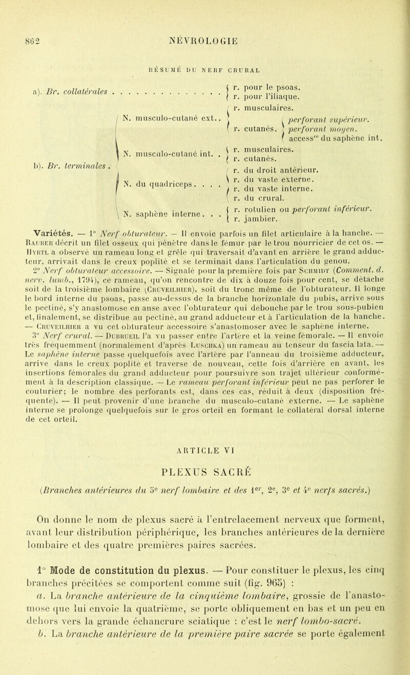 RÉSUMÉ DU NERF CRURAL a). Br. collatérales j N. muscLiIo-cutané ext.. b). Br. terminales N. muscLilo-cutané int. N. du quadriceps. . \ N. saphène interne. ( r. pour le psoas. \ r. pour l’iliaque. ^ r. musculaires. \ ( perforant supérieur. ( r. cutanés. ^ perforant moyen. \ access’’® du saphène int. \ r. musculaires. I r. cutanés. ( r. du droit antérieur. \ r. du vaste externe. I r. du vaste interne. \ r. du crural. ( r. rotulien ou perforant inférieur. \ r. jambier. Variétés. — 1° Nerf obturateur. — 11 envoie parfois un filet articulaire à la hanche. — Eauber décrit un filet osseux qui pénètre dans le fémur par le trou nourricier de cet os. — llvBTL a observé un rameau long et grêle qui traversait d’avant en arrière le grand adduc- teur, arrivait dans le creux poplité et .se terminait dans l’articulation du genou. 2“ Nerf obturateur accessoire. — Signalé pour la première fois par Schmidt {Comment, d. nerv. lumb., 1794), ce rameau, qu’on rencontre de dix à douze fois pour cent, se détache soit de la troisième lombaire (^Cruveilhier), soit du tronc même de l’obturateur. 11 longe le bord interne du psoas, passe au-dessus de la branche horizontale du pubis, arrive sous le pectiné, s’y anastomose en anse avec l’obturateur qui débouche par le trou sous-pubien et, linalement, se distribue au pectiné, au grand adducteur et à l’articulation de la hanche. — (hujVEiLHiER a vu cet obturateur accessoire s’anastomoser avec le saphène interne. 3“ Nerf crural. — Dubrueil l’a vu passer entre l’artère et la veine fémorale. — 11 envoie très fréquemment (normalement d’après Lusciika) un rameau au tenseur du fascia lata.— Le saphène interne passe quelquefois avec l’artère par l’anneau du troisième adducteur, arrive dans le creux poplité et traverse de nouveau, cette fois d’arrière en avant, les insertions fémorales du grand adducteur pour poursuivre son trajet ultérieur conformé- ment à la description classique. — Le rameau perfora?it inférieur peut ne pas perforer le couturier; le nombre des perforants est, dans ces cas, réduit à deux (disposition fré- quente). — Il peut provenir d’une branche du musculo-cutané externe. — Le saphène interne se prolonge quelquefois sur le gros orteil en formant le collatéral dorsal interne de cet orteil. ARTICLE VI PLEXUS SACRÉ {Branches antérieures du o® nerf lombaire et des 2^^, 3® et 4® nerfs sacrés.) On donne le nom de plexus sacré à l’entrelacement nerveux que forment, avant leur distribution périphérique, les branches antérieures de la dernière lombaire et des quatre premières paires sacrées. Mode de constitution du plexus. — Pour constituer le plexus, les cinq branches précitées se comportent comme suit (fîg. 965) ; a. La branche antérieure de la cinquième lombaire^ grossie de l’anasto- mose que lui envoie la quatrième, se porte obliquement en bas et un peu en dehors vers la grande échancrure sciatique : c’est le nerf lombo-sacré. b. La branche antérieure de la première paire sacrée se porte également