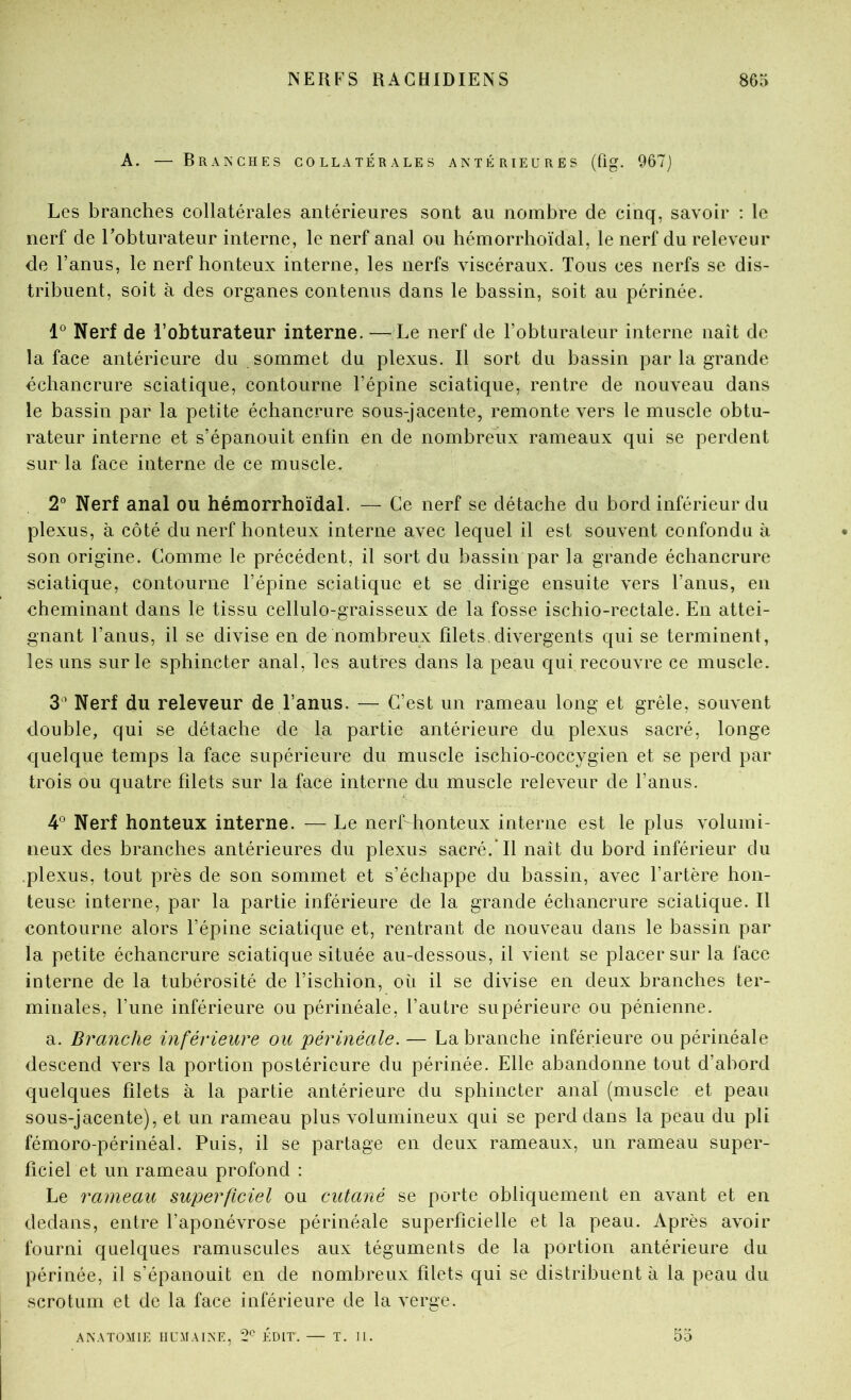 A. — Branches collatérales antérieures (fig. 967j Les branches collatérales antérieures sont au nombre de cinq, savoir ; le nerf de l’obturateur interne, le nerf anal ou hémorrhoïdal, le nerf du releveur de l’anus, le nerf honteux interne, les nerfs viscéraux. Tous ces nerfs se dis- tribuent, soit à des organes contenus dans le bassin, soit au périnée. 1° Nerf de l’obturateur interne. — Le nerf de l’obturaLeur interne naît de la face antérieure du sommet du plexus. Il sort du bassin par la grande échancrure sciatique, contourne l’épine sciatique, rentre de nouveau dans le bassin par la petite échancrure sous-jacente, remonte vers le muscle obtu- rateur interne et s’épanouit enfin en de nombreux rameaux qui se perdent sur la face interne de ce muscle. 2“ Nerf anal ou hémorrhoïdal. — Ce nerf se détache du bord inférieur du plexus, à côté du nerf honteux interne avec lequel il est souvent confondu à son origine. Comme le précédent, il sort du bassin par la grande échancrure sciatique, contourne l’épine sciatique et se dirige ensuite vers l’anus, en cheminant dans le tissu cellulo-graisseux de la fosse ischio-rectale. En attei- gnant l’anus, il se divise en de nombreux filets,divergents qui se terminent, les uns sur le sphincter anal, les autres dans la peau qui recouvre ce muscle. 3 Nerf du releveur de l’anus. — C’est un rameau long et grêle, souvent double, qui se détache de la partie antérieure du plexus sacré, longe quelque temps la face supérieure du muscle ischio-coccygien et se perd par trois ou quatre filets sur la face interne du muscle releveur de l’anus. 4® Nerf honteux interne. — Le nerf honteux interne est le plus volumi- neux des branches antérieures du plexus sacré.’Il naît du bord inférieur du .plexus, tout près de son sommet et s’échappe du bassin, avec l’artère hon- teuse interne, par la partie inférieure de la grande échancrure sciatique. Il contourne alors l’épine sciatique et, rentrant de nouveau dans le bassin par la petite échancrure sciatique située au-dessous, il vient se placer sur la face interne de la tubérosité de l’ischion, où il se divise en deux branches ter- minales, l’une inférieure ou périnéale, l’autre supérieure ou pénienne. a. Branche inférieure ou périnéale. — La branche inférieure ou périnéale descend vers la portion postérieure du périnée. Elle abandonne tout d’abord quelques filets à la partie antérieure du sphincter anal (muscle et peau sous-jacente), et un rameau plus volumineux qui se perd dans la peau du pli fémoro-périnéal. Puis, il se partage en deux rameaux, un rameau super- ficiel et un rameau profond : Le rameau superficiel ou cutané se porte obliquement en avant et en dedans, entre l’aponévrose périnéale superficielle et la peau. Après avoir fourni quelques ramuscules aux téguments de la portion antérieure du périnée, il s’épanouit en de nombreux filets qui se distribuent à la peau du scrotum et de la face inférieure de la verge. ANATOMIE HUMAINE, T EDIT. — T. H. 55