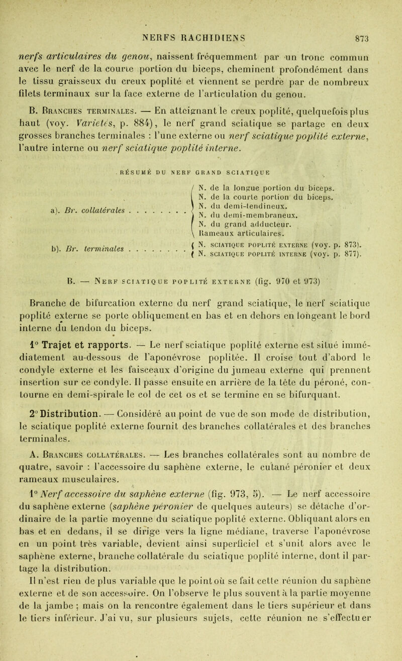 nerfs articulaires du genou^ naissent fréquemment par un tronc commun avec le nerf de la courie portion du biceps, cheminent profondément dans le tissu graisseux du creux poplité et viennent se perdre par de nombreux filets terminaux sur la face externe de l’articulation du genou. B. Branches terminales. — En atteignant le creux poplité, quelquefois plus haut (voy. Variétés, p. 884), le nerf grand sciatique se partage en deux grosses branches terminales : l’une externe ou nerf sciatique poplité externe, l’autre interne ou nerf sciatique poplité interne. RÉSUMÉDUNERFGRANDSCIATIQUE / N. de la lon”:ue portion du biceps. 1 N. de la courte portion du biceps, ) N. du demi-lendinenx. \ N. du demi-membraneux. I N, du grand adducteur. \ Rameaux articulaires. ( JN. SCIATIQUE POPLITE EXTERNE (voy. p. 873). ( N. SCIATIQUE POPLITÉ INTERNE (vOy. p. 877). B. — Nerf sciatique poplité externe (fig. 970 et 073) Branche de bifurcation externe du nerf grand sciatique, le nerf sciatique poplité externe se porte obliquement en bas et en dehors en longeant le bord interne du tendon du biceps. Trajet et rapports. — Le nerf sciatique poplité externe est situé immé- diatement au-dessous de l’aponévrose poplitée. Il croise tout d’abord le condyle externe et les faisceaux d’origine du jumeau externe qui prennent insertion sur ce condyle. Il passe ensuite en arrière de la tête du péroné, con- tourne en demi-spirale le col de cet os et se termine en se bifurquant. 2° Distribution. — Considéré au point de vue de son mode de distribution, le sciatique poplité externe fournit des branches collatérales et des branches terminales. A. Branches collatérales. — Les branches collatérales sont au nombre de quatre, savoir : l’accessoire du saphène externe, le cutané péronier et deux rameaux musculaires. Nerf accessoire du saphène externe (fig. 973, 5). — Le nerf accessoire du saphène externe {saphène péronier de quelques auteurs) se détache d’or- dinaire de la partie moyenne du sciatique poplité externe. Obliquant alors en bas et en dedans, il se dirige vers la ligne médiane, traverse l’aponévrose en un point très variable, devient ainsi superficiel et s’unit alors avec le saphène externe, branche collatérale du sciatique poplité interne, dont il par- tage la distribution. Il n’est rien de plus variable que le point où se fait cette réunion du saphène externe et de son accessoire. On l’observe le plus souvent à la partie moyenne de la jambe : mais on la rencontre également dans le tiers supérieur et dans le tiers inférieur. J’ai vu, sur plusieurs sujets, cette réunion ne s’effectuer a). Br. collatérales b). Br. terminales