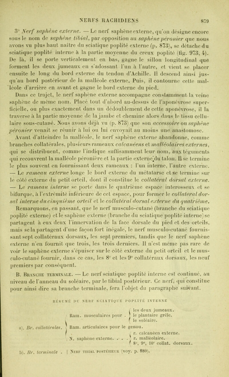 o'^ Xerf saphène externe. —Le nerf saphène externe, qu’on désigne encore sous le nom de saphène tibial, par opposition au saphène péronier que nous avons vu plus haut naître du sciatique poplité externe (p. 873), se détache du sciatique poplité interne à la partie moyenne du creux poplité (fig. 973, 4). De là, il se porte verticalement en bas, gagne le sillon longitudinal que forment les deux jumeaux en s’adossant Fun à l’autre, et vient se placer ensuite le long du bord externe du tendon d’Achille. Il descend ainsi jus- qu'au bord postérieur de la malléole externe. Puis, il contourne cette mal- ’léole d’arrière en avant et gagne le bord externe du pied. Dans ce trajet, le nerf saphène externe accompagne constamment la veine saphène de même nom. Placé tout d’abord au-dessus de l'aponévrose super- ficielle, ou plus exactement dans un dédoublement de cette aponévrose, il la traverse à la partie moyenne de la jambe et chemine alors dans le tissu cellu- laire sous-cutané. Nous avons déjà vu (p. 873) que son accessoire o\\ saphène péronier venait se réunir à lui ou lui envoyait au moins une anastomose. Avant d’atteindre la malléole, le nerf saphène externe abandonne, comme branches collatérales, plusieurs rameaux calcanéens et malléolaires externes, qui se distribuent, comme l'indique suflisamment leur nom, aux téguments qui recouvrent la malléole péronière et la partie externe^du talon. U se termine le plus souvent en fournissant deux rameaux : l’un interne, l’autre externe. — Le rameau externe longe le bord externe du métatarse et se termine sur le cédé externe du petit orteil, dont il constitue le collatéral dorsal externe. — Le rameau interne se porte dans le quatrième espace interosseux et se bifurque, à l’extrémité inférieure de cet espace, pour former le collatéral dor- sal interne du cinquième orteil et \<d collatéral dorsal externe du quatrième. Remarquons, en passant, que le nerf musculo-cutané (branche du sciatique poplité externe) et le saphène externe (branche du sciatique poplité interne) se partagent à eux deux l’innervation de la face dorsale du pied et des orteils, mais se la partagent d’une façon fort inégale, le nerf musculo-cutané fournis- sant sept collatéraux dorsaux, les sept premiers, tandis que le nerf saphène externe n'en fournit que trois, les trois derniers. Il n’est même pas rare de voir le saphène externe s’épuiser sur le côté externe du petit orteil et le mus- culo-cutané fournir, dans ce cas, les 8^ et les 9*^ collatéraux dorsaux, les neuf premiers par conséquent. B. Branche terminale. — Le nerf sciatique poplité interne est continué, au niveau de l'anneau du soléaire, par le tibial postérieur. Ce nerf, qui constitue pour ainsi dire sa branche terminale, fera l'objet du paragraphe suivant. R É s U :M É DU NERF SCIATIQUE POPLITÉ INTERNE / les deux jumeaux. Ram. musculaires pour . j le plantaire grêle. I f le soléaire. a) . Br. collatérales. } Ram. articulaires pour le genou. I y , r. calcanéen externe. N. saphène externe. . . . ’ r. malléolaire. r 9®, 10^ collât, dorsaux. b) . Br. terminale . \ Nerf tibial postérieur (voy. p. 880).