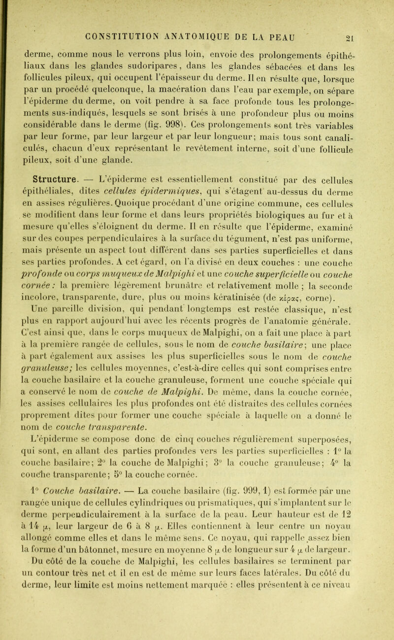 derme, comme nous le verrons plus loin, envoie des prolongements épithé- liaux dans les glandes sudoripares, dans les glandes sébacées et dans les follicules pileux, qui occupent l’épaisseur du derme. lien résulte que, lorsque par un procédé quelconque, la macération dans l’eau par exemple, on sépare l’épiderme du derme, on voit pendre à sa face profonde tous les prolonge- ments sus-indiqués, lesquels se sont brisés à une profondeur plus ou moins considérable dans le derme (fig. 998). Ces prolongements sont très variables par leur forme, par leur largeur et par leur longueur; mais tous sont canali- culés, chacun d’eux représentant le revêtement interne, soit d’une follicule pileux, soit d’une glande. Structure. — L’épiderme est essentiellement constitué par des cellules épithéliales, dites cellules épidermiques, qui s’étagent au-dessus du derme en assises régulières. Quoique procédant d’une origine commune, ces cellules se modifient dans leur forme et dans leurs propriétés biologiques au fur et à mesure qu’elles s’éloignent du derme. Il en résulte que l’épiderme, examiné sur des coupes perpendiculaires à la surface du tégument, n’est pas uniforme, mais présente un aspect tout différent dans ses parties superficielles et dans ses parties profondes. A cet égard, on l’a divisé en deux couches : une couche profonde ou corps muqueux de Malpighi et une couche superficielle ou couche cornée : la première légèrement brunâtre et relativement molle ; la seconde incolore, transparente, dure, plus ou moins kératinisée (de xipaç, corne). Une pareille division, qui pendant longtemps est restée classique, n’est plus en rapport aujourd’hui avec les récents progrès de l’anatomie générale. C’est ainsi que, dans le corps muqueux de Malpighi, on a fait une place à part à la première rangée de cellules, sous le nom de couche basilaire', une place à part également aux assises les plus superficielles sous le nom de couche granuleuse ; les cellules moyennes, c’est-à-dire celles qui sont comprises entre la couche basilaire et la couche granuleuse, forment une couche spéciale qui a conservé le nom de couche de Malpighi. De même, dans la couche cornée, les assises cellulaires les plus profondes ont été distraites des cellules cornées proprement dites pour former une couche spéciale à laquelle on a donné le nom de couche transparente. L’épiderme se compose donc de cinq couches régulièrement superposées, qui sont, en allant des parties profondes vers les parties superficielles : 1° la couche basilaire ; 2*^ la couche de Malpighi ; 3° la couche granuleuse ; 4° la couche transparente; 5® la couche cornée. L’ Couche basilaire. — La couche basilaire (fig. 999,1) est formée par une rangée unique de cellules cylindriques ou prismatiques, qui s’implantent sur le derme perpendiculairement à la surface de la peau. Leur hauteur est de 12 à 14 [JL, leur largeur de 6 à 8 [jl. Elles contiennent à leur centre un noyau allongé comme elles et dans le môme sens. Ce noyau, qui rappelle assez bien la forme d’un bâtonnet, mesure en moyenne 8 g de longueur sur 4 de largeur. Du côté de la couche de Malpighi, les cellules basilaires se terminent par un contour très net et il en est de même sur leurs faces latérales. Du côté du derme, leur limite est moins nettement marquée : elles présentent à ce niveau