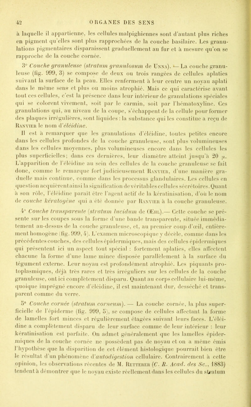 à laquelle il appartienne, les cellules malpighiennes sont d’autant plus riches en pigment qu’elles sont plus rapprochées de la couche basilaire. Les granu- lations pigmentaires disparaissent graduellement au fur et à mesure qu’on se rapproche de la couche cornée. 3*^ Couche granuleuse {stratum granulosum de Unna). ^— La couche granu- leuse (lig. 999, 3) se compose de deux ou trois rangées de cellules aplaties suivant la surface de la peau. Elles renferment à leur centre un noyau aplati dans le môme sens- et plus ou moins atrophié. Mais ce qui caractérise avant tout ces cellules, c’est la présence dans leur intérieur de granulations spéciales (jui se colorent vivement, soit par le carmin, soit j)ar l’hématoxylinc. Ces granulations qui, au niveau de la coupe, s’échappent de la cellule pour former des plaques irrégulières, sont licpiides : la substance (|ui les constitue a reçu de Ranvier le nom (Xéléidine. Il est à remanpier (jiie les granulations d’éléidine, toutes pelites encore dans les cellules profondes de la couche granuleuse, sont plus volumineuses dans les cellules moyennes, plus volumineuses encore dans les cellules les plus superlicielles; dans ces dernières, leur diamètre atteint jus([u’à 20 g. L’apparition de l’éléidine au sein des cellules de la couche granuleuse se fait donc, comme le remanpie fort judicieus(‘inenl J{anvieu, d’une manière gra- duelle mais continue, comme dans les processus glandulaires. Les cellules en (lueslion ataïuièrenl ainsi la signi lirai ion de véritables cellules sécrétoires. Quant à son rôle, l’éléidine j)araît être l’agcuit actif de la kératinisation, d’oii le nom de couche kératogène <jui a été donnée par Ranvier à la couche granuleuse. 4^ Couche transparente [stratum hicidum de OEiil).— (Àdle couche se pré- sente sur les coupes sous la forme d’une bamle transparente, située immédia- tement au-dessus de la couche granuleuse, et, au premiei* coup d’o^il, entière- ment homogène (tig. 999, 4). L’examen microscopiipie y décèle, comme dans les précédentes couches, des cellules éjiidermiques, mais des cellules épidermicpies qui présentent ici un aspect tout spécial : fortement aplaties, elles alfectent chacune la forme d’une lame mince disposée parallèlement à ta sui*face du tégument externe. Leur noyau est profondément atrophié. Les [)iquants pro- toplasmi(jues, déjà très rares et très irréguliers sur les cellules de la couche granuleuse, ont ici complètement disparu. Quant au corps cellulaire lui-même, (|uoi({ue imprégné encore d’éléidine, il est maintenant dur, desséché et trans- parent comme du verre. D° Couche cornée [stratum corneum). — La couche cornée, la plus super- ficielle de l’épiderme (fig. 999, o), se compose de cellules alfectant la forme de lamelles fort minces et régulièrement étagées suivant leurs faces. L’éléi- dine a complètement disparu de leur surface comme de leur intérieur : leur kératinisation est parfaite. On admet généralement que les lamelles épider- mi(|ues de la couche cornée ne possèdent pas de noyau et on a même émis l’hypothèse que la disparition de cet élément histologique pourrait bien être le résultat d’un phénomène (Vautodigestion cellulaire. Contrairement à cette opinion, les observations récentes de M. Retterer [C. R. Acad, des Sc., 1883) tendent à démontrer (jue le noyau existe réellement dans les cellules du sU’atum