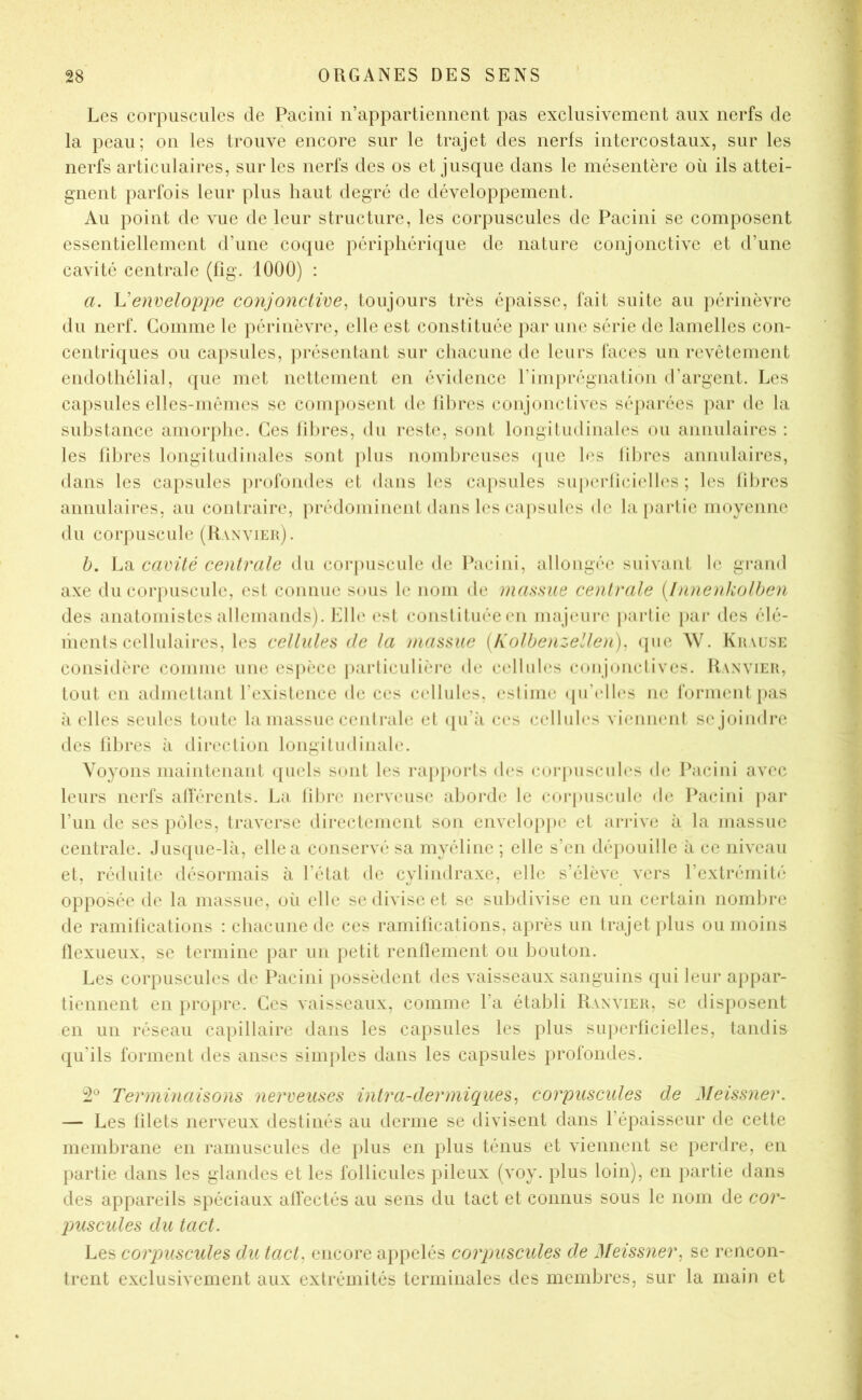 Les corpuscules de Paciiii n’appartiennent pas exclusivement aux nerfs de la peau; on les trouve encore sur le trajet des nerfs intercostaux, sur les nerfs articulaires, sur les nerfs des os et jusque dans le mésentère où ils attei- gnent parfois leur plus haut degré de développement. Au point de vue de leur structure, les corpuscules de Pacini se composent essentiellement d’une coque périphérique de nature conjonctive et d’une cavité centrale (fig. 1000) : a. Venveloppe conjonctive^ toujours très épaisse, fait suite au périnèvre du nerf. Gomme le périnèvre, elle est constituée par une série de lamelles con- centriques ou capsules, ]:)réscidant sur chacune de leurs faces un revêtement endothélia], ({ue met nettement en évidence l’imprégnalion d’argent. Les capsules elles-mêmes se composent de libres conjonctives séparées par de la substance amorplic. Ces lilu-es, du reste, sont longitudinales ou annulaires : les libres longitudinales sont plus nombreuses (pie les lil)res annulaires, dans les capsules })rofondes et dans les capsules supci‘lici(dl(‘s ; les liiircs annulaires, au coulraire, prédominent dans les capsules de la partie moyenne du corpuscule (Ranvieu). b. La cavité centrale du corpuscule de l^lcini, allongée suivant le gi*and axe du corpuscule, est connue sous le nom de massue centrale [Innenkolhen des anatomistes allemands). Jdh' (‘sl conslituéeen ninjeuri' partie })ar des élé- liienls cellulaires, les cellules de la massue {Kolbenzellen), ([ne W. Kuvuse considère coniine une espèce j)arliculière de cellnl(‘s conjonctives. Ranvieu, tout en admettant l’existence de ces cellules, estime (|n’(‘tl(‘s ne tonnent [)as à elles seules toute la massue centrale et (pi’ii C(‘s eelhd(‘s viennent se joindre des libres à direction longitudinale*. Voyons maintenant ([uels sont les ra[)purts (b's eorpiisenh's de Pacini avec leurs nerfs alférents. La libre nerveuse aboi’de le eorpusenle de Pacini ])ar l’un de ses [loles, traverse directement son enveloppe et arrive à la massue centrale. Jusque-là, elle a conservé sa myéline ; elle s’en dépouille à ce niveau et, réduite désormais à l’état de cylindraxe, elle s’élève vers l’extrémité opposée de la massue, oii elle se divise et se subdivise en un certain nombre de ramilications : cbacune de ces ramifications, après un trajet plus ou moins llexueux, se termine par un petit renllement ou boulon. Les corpuscules de Pacini possèdent des vaisseaux sanguins qui leur a[)par- tiennent en [iropre. Ces vaisseaux, comme l’a établi Ranauer, se disposent en un réseau capillaire dans les capsules les plus superficielles, tandis qu’ils forment des anses simples dans les capsules profondes. Terminaisons nerveuses intra-dermiques^ corpuscules de Meissner. — Les filets nerveux destinés au derme se divisent dans l’épaisseur de cette membrane en ramuscules de plus en plus ténus et viennent se perdre, en partie dans les glandes et les follicules pileux (voy. plus loin), en partie dans des appareils spéciaux alfectés au sens du tact et connus sous le nom de cor- puscides du tact. Les corpuscules du tact, encore ajipelés corpmscides de Meissnei\ se rencon- trent exclusivement aux extrémités terminales des membres, sur la main et
