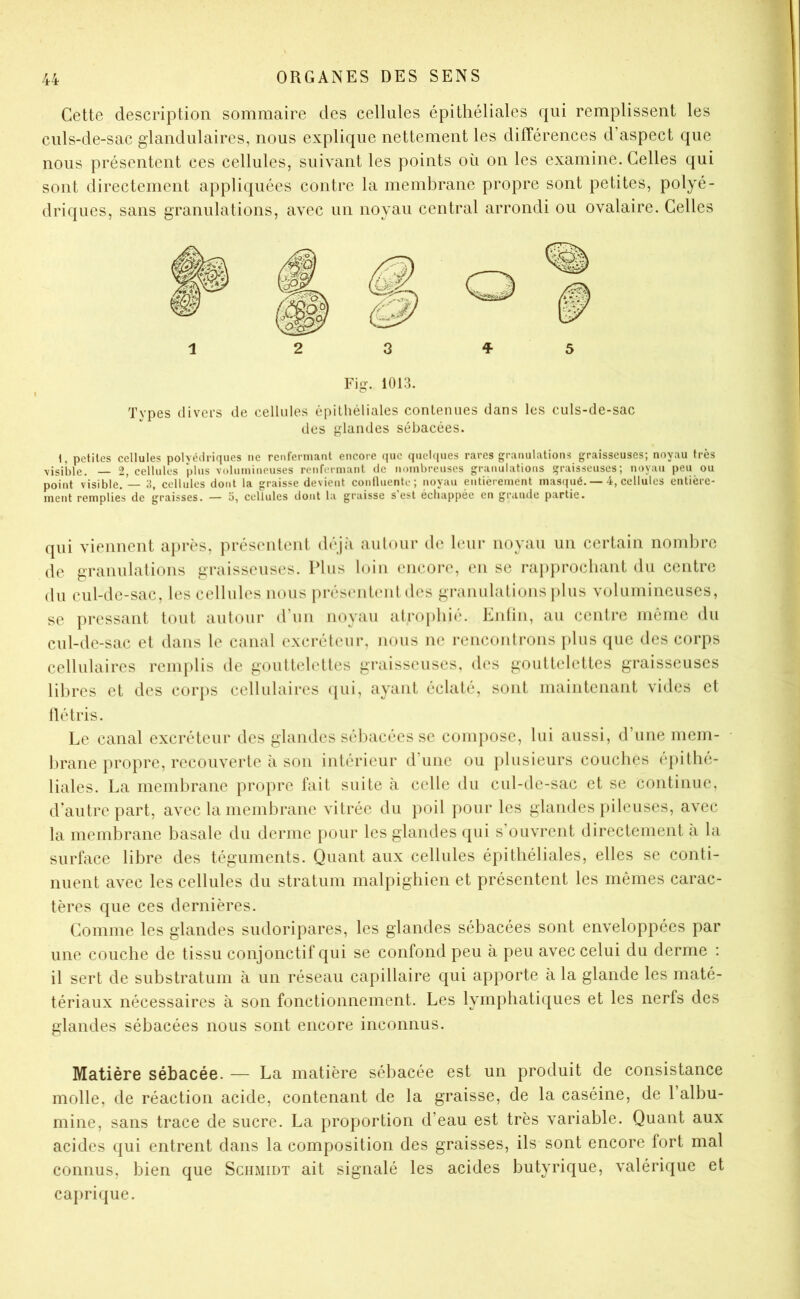 Cette description sommaire des celUiles épithéliales qui remplissent les culs-de-sac glandulaires, nous explique nettement les différences d’aspect que nous présentent ces cellules, suivant les points où on les examine. Celles qui sont directement appliquées contre la membrane propre sont petites, polyé- driques, sans granulations, avec un noyau central arrondi ou ovalaire. Celles petites cellules polvédriques ne renfermant encore (pic quel([ues rares granulations graisseuses; noyau très visible. — 2, cellules plus volumineuses renfermant de nombreuses granulations graisseuses; noyau peu ou point visible, — 3, cellules dont la graisse devient confluente; noyau entièrement masqué. — 4, cellules entière- ment remplies de graisses. — 5, cellules dont la graisse s’est échappée en grande partie. qui vieimeut après, présentent déjà aulniir de leur noyau un certain nombre de granulations graisseuses. Plus loin encore, en se rapprochant du centre du cul-de-sac, les cellules nous [tréstmtenl des granulations plus volumineuses, se pressant tout autour d’un nnyîiu atrophié. Entin, au centre même du cul-de-sac et dans le canal excréteur, nous ne rencfmtrons })his que des corps cellulaires remplis de gouttelettes graisseuses, des gouttelettes graisseuses libres et des corps cellulaires (pii, ayant éclaté, sont maintenant vides et llétris. Le canal excréteur des glandes sébacées se compose, lui aussi, d’une inein- • brane propre, recouverte à son intérieur d’une ou plusieurs couches épithé- liales. La memltrane propre fait suite à celle du cul-de-sac et se continue, d’autre part, avec la membrane vitrée du poil pour les glandes pileuses, avec la membrane basale du derme pour les glandes qui s’ouvrent directement à la surface libre des téguments. Quant aux cellules épithéliales, elles se conti- nuent avec les cellules du stratum malpighien et présentent les mêmes carac- tères que ces dernières. Comme les glandes sudoripares, les glandes sébacées sont enveloppées par une couche de tissu conjonctif qui se confond peu à peu avec celui du derme ; il sert de substratum à un réseau capillaire qui apporte a la glande les maté- tériaux nécessaires à son fonctionnement. Les lymphati({ues et les nerfs des glandes sébacées nous sont encore inconnus. Matière sébacée. — La matière sébacée est un produit de consistance molle, de réaction acide, contenant de la graisse, de la caséine, de l’albu- mine, sans trace de sucre. La proportion d’eau est très variable. Quant aux acides qui entrent dans la composition des graisses, ils sont encore fort mal connus, bien que Schmidt ait signalé les acides butyrique, valérique et caprique. Fig. 1013. Tvpes divers de cellules épithéliales contenues dans les culs-de-sac des glandes sébacées.