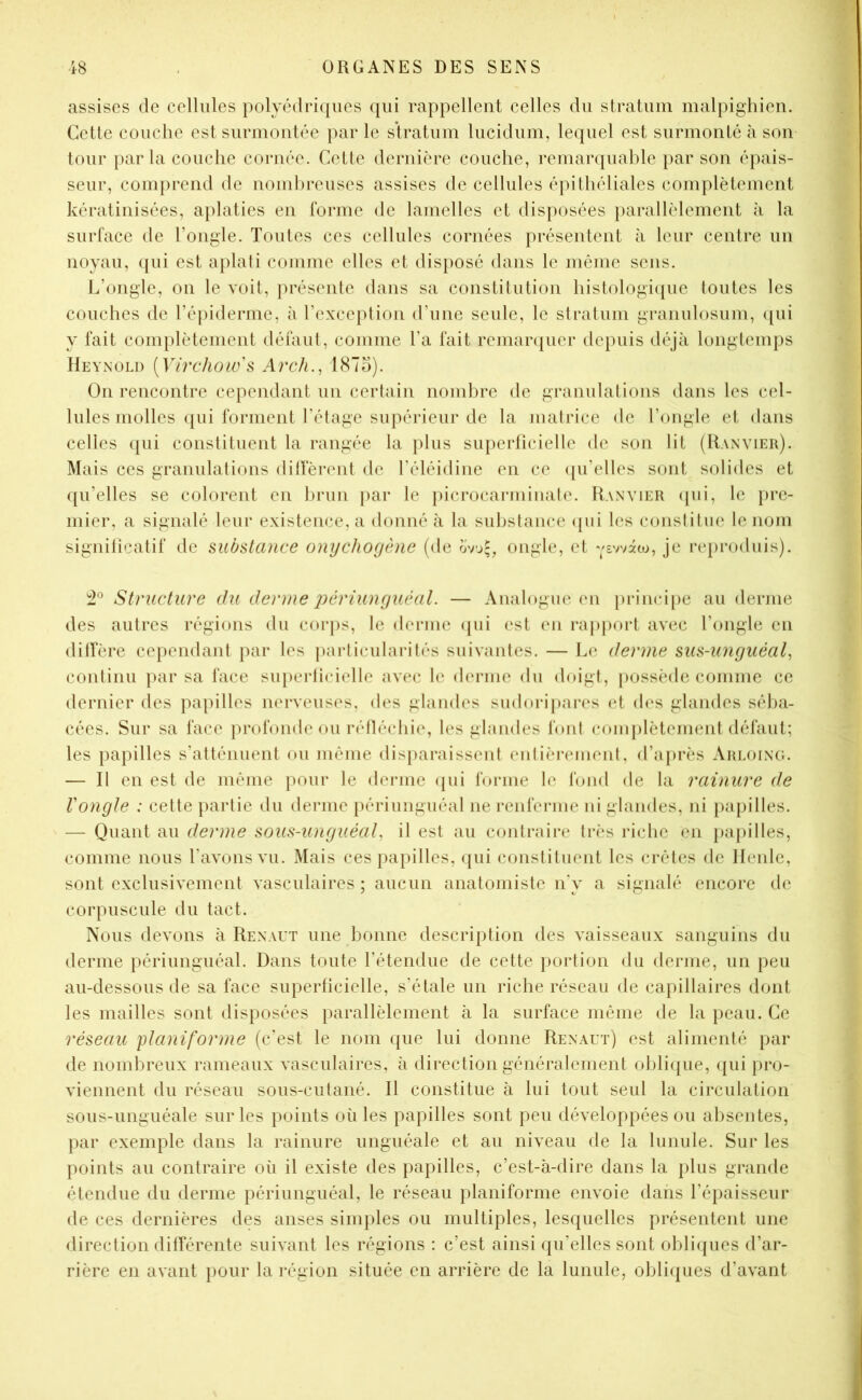 «issises (le cellules polyé(lri(|iies (]iii rappellent celles du stratum malpighien. Cette couche est surmout(‘e par le stratum lucidiim, lequel est surmonté à sou tour parla couche cornée. Cette dernière couche, remarquable i)ar son épais- seur, comprend de nomhrcuscs assises de cellules épithéliales complètement kératinisées, aplaties en forme de lamelles et disposées parallèlement à la surface de l’ongle. Toutes ces cellules cornées présentent à leur centre un noyau, qui est aplati comme elles et disposé dans le même sens. L’ongle, on le voit, présente dans sa constitution histologi([uc toutes les couches de l’épiderme, à l’exception d’une seule, le stratum grmiulosum, ([ui y fait complètement défaut, comme l’a fait reniarcjucr depuis déjà longtemps Heynoli) {Vüxhow's Arch., 187o). On rencontre cependant un certain nombre de granulations dans les cel- lules molles cpii forment l’étage supérieur de la matrice de l’ongle et dans celles (pii constituent la rangée la plus superficielle de son lit (Ranvieu). Mais ces granulations ditfèrent de l’éléidine en ce (pi’elles sont solides et ([u’elles se colorent en brun par le picrocarminate. Ranvier ([ui, le pre- mier, a signalé leur existence, a donné à la substance ((ui les constitue le nom signilicatif de substance onychogène (de oVj-, ongle, et je reproduis). Structure du derme j^ériunguéal. — Analogue en i)rinei[)e au derme des autres régions du coi*ps, le derme (pii est en rapport avec l’ongle en ditfère cejiendant par les |)arliculai*ilés suivantes. — I^e derme sus-unguéal^ continu par sa face superficielle avec le d(*rme du doigt, possède comme ce dernier des papilles nerveuses, des glandes sudoripai-es et des glandes séba- cées. Sur sa face profonde ou rélléchie, les glandes font complètement défaut; les papilles s’atténuent ou même disparaissent (‘ntièrement, d’après Arloing. — Il en est de même pour le derme (pii forme le fond de la rainure de l'ongle : cette partie du derme périunguéal ne renferme ni glandes, ni papilles. — Quant au derme sous-unguéal^ il est au contraire très riche en }mpilles, comme nous l’avons vu. Mais ces papilles, ([ui constituent les crêtes de llenle, sont exclusivement vasculaires ; aucun anatomisle n’y a signalé encore de corpuscule du tact. Nous devons à Renaut une bonne descrijition des vaisseaux sanguins du derme périunguéal. Dans toute l’étendue tle cette portion du derme, un peu au-dessous de sa face superficielle, s’étale un riche réseau de capillaires dont les mailles sont disposées jiarallèlement à la surface même de la peau. Ce réseau ylaniforme (c'est le nom que lui donne Renaut) est alimenté par de nombreux rameaux vasculaires, à direction généralement ohli(pie, (pii pro- viennent du réseau sous-cutané. 11 constitue à lui tout seul la circulation sous-unguéale sur les points où les papilles sont peu développées ou absentes, par exemple dans la rainure unguéale et au niveau de la lunule. Sur les points au contraire où il existe des papilles, c’est-à-dire dans la plus grande étendue du derme périunguéal, le réseau planiforme envoie dans l’épaisseur de ces dernières des anses simples ou multiples, lesquelles présentent une direction difTérente suivant les régions : c’est ainsi qu’elles sont obli({ues d’ar- rière en avant pour la région située en arrière de la lunule, obli(jues d’avant