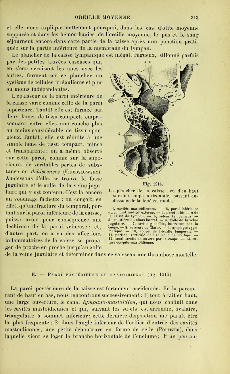 et elle nous explique nettement pourquoi, dans les cas d’otite moyenne suppurée et dans les hémorrhagies de l’oreille moyenne, le pus et le sang séjournent encore dans cette partie de la caisse après une ponction prati- quée sur la partie inférieure de la membrane du tympan. Le plancher de la caisse tympanique est inégal, rugueux, sillonné parfois par des petites travées osseuses qui, en s’entre-croisant les unes avec les autres, forment sur ce plancher un système de cellules irrégulières et plus ou moins indépendantes. L’épaisseur de la paroi inférieure de la caisse varie comme celle de la paroi supérieure. Tantôt elle est formée par deux lames de tissu compact, empri- sonnant entre elles une couche plus ou moins considérable de tissu spon- gieux. Tantôt, elle est réduite à une simple lame de tissu compact, mince et transparente; on a même observé sur cette paroi, comme sur la supé- rieure, de véritables pertes de subs- tance ou déhiscences (Friedslowsky). Au-dessous d’elle, se trouve la fosse jugulaire et le golfe de la veine jugu- laire qui y est contenu. C’est là encore un voisinage fâcheux : on conçoit, en effet, qu’une fracture du temporal, por- tant sur la paroi inférieure de la caisse, puisse avoir pour conséquence une déchirure de la paroi veineuse ; et, d’autre part, on a vu des affections inflammatoires de la caisse se propa- ger de proche en proche jusqu’au golfe de la veine jugulaire et déterminer dans ce vaisseau une thrombose mortelle. E. — Paroi postérieure ou mastoïdienne (fig. 1213) La paroi postérieure de la caisse est fortement accidentée. En la parcou- rant de haut en bas, nous rencontrons successivement : 1° tout à fait en haut, une large ouverture, le canal tympano-mastoïdien, qui nous conduit dans les cavités mastoïdiennes et qui, suivant les sujets, est arrondie, ovalaire, triangulaire à sommet inférieur; cette dernière disposition me paraît être la plus fréquente ; 2*^ dans l’angle inférieur de l’orifice d’entrée des cavités mastoïdiennes, une petite échancrure en forme de selle (Politzer), dans laquelle vient se loger la branche horizontale de l’enclume ; 3° un peu au- Fig. 1214. Le plancher de la caisse, vu d’en haut sur une coupe horizontale, passant au- dessous de la fenêtre ronde. 1, ca-vités mastoïdiennes. — 2, paroi inférieure du conduit auditif externe. — 3, paroi inférieure de la caisse du tympan. — 4, sulcus tympanicus. — 5, gouttière du sinus latéral. — 6, golfe de lu veine jugulaire. — 7. cavité glénoïde, intéressée par la coupe. — 8, scissure de Glaser. — 9, apophyse zygo- matique. — 10, coupe de l’écaille temporale. — 11, portion verticale de l’aqueduc de Fallope. — 12, canal carotidien ouvert par la coupe. — 13, su- ture occipito-mastoïdienne.