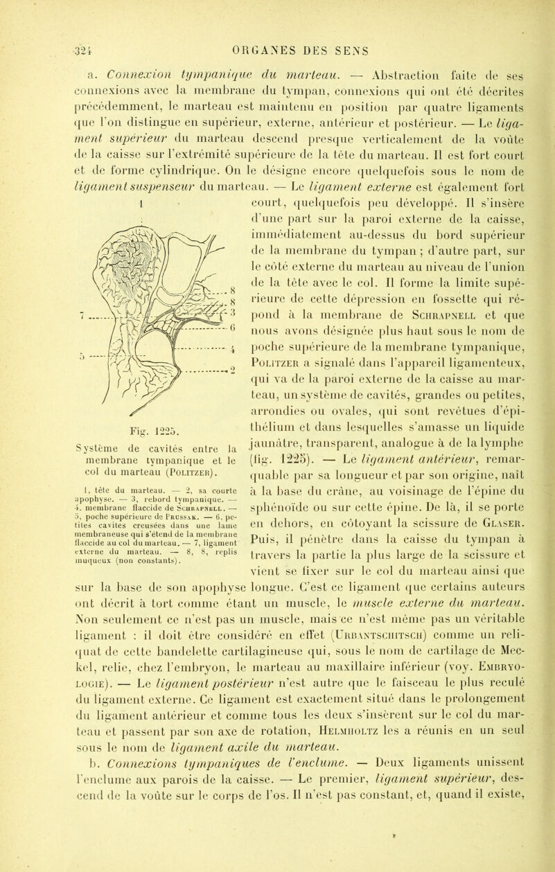 a. Connexion tynipanique du marteau. — Abstraction faite de ses connexions avec la membrane du tympan, connexions qui ont été décrites précédemment, le marteau est maintenu en position par quatre ligaments que Ton distingue en supérieur, externe, antérieur et postérieur. — Le liga- ment supérieur du marteau descend presque verticalement de la voûte de la caisse sur l’extrémité supérieure de la tête du marteau. Il est fort court et de forme cylindrique. On le désigne encore quelquefois sous le nom de ligament suspenseur du marteau. — Le ligament externe est également fort court, quelquefois peu développé. Il s’insère d’une part sur la paroi externe de la caisse, immédiatement au-dessus du bord supérieur de la membrane du tympan ; d’autre part, sur le côté externe du marteau au niveau de l’union de la tête avec le col. Il forme la limite supé- rieure de cette dépression en fossette qui ré- pond à la membrane de Schrapnell et que nous avons désignée plus haut sous le nom de poche supérieure de la membrane tympanique, PoLîTZER a signalé dans l’appareil ligamenteux, qui va de la paroi externe de la caisse au mar- teau, un système de cavités, grandes ou petites, arrondies ou ovales, ([ui sont revêtues d’épi- thélium et dans lesquelles s’amasse un liquide jaunâtre, transparent, analogue à de la lymphe (tig. l:2i2o). — Le ligament antérieur^ remar- quable par sa longueur et par son origine, naît à la base du crâne, au voisinage de l’épine du sphénoïde ou sur cette épine. De là, il se porte en dehors, en côtoyant la scissure de Glaser. Puis, il pénètre dans la caisse du tympan à travers la partie la plus large de la scissure et vient se fixer sur le col du marteau ainsi ({ue sur la base de son apophyse longue. C’est ce ligament que certains auteurs ont décrit à tort comme étant un muscle, le muscle externe du marteau. Non seulement ce n’est pas un muscle, mais ce n’est même pas un véritable ligament : il doit être considéré en effet (Urrantsciiitscii) comme un reli- (juat de cette bandelette cartilagineuse qui, sous le nom de cartilage de Mec- kel, relie, chez l’embryon, le marteau au maxillaire inférieur (voy. Embryo- logie). — Le ligament postérieur n’est autre que le faisceau le plus reculé du ligament externe. Ce ligament est exactement situé dans le prolongement du ligament antérieur et comme tous les deux s’insèrent sur le col du mar- teau et passent par son axe de rotation, Helmiioltz les a réunis en un seul sous le nom de ligament axile du marteau. b. Connexions tympaniques de Venclume. — Deux ligaments unissent l’enclume aux parois de la caisse. — Le premier, ligament supérieur^ des- cend de la voûte sur le corps de l’os. Il n’est pas constant, et, quand il existe. 1 Fig. 1225. Système de cavités entre la membrane tympanique et le col du marteau (Politzer). 1, tête du marteau. — 2, sa courte apophyse. — 3, rebord tympanique. — i. membrane flaccide de Schuapnull. — O, poche supérieure de Prossak. — 6, pe- tites cavités creusées dans une lame membraneuse qui s’étend de la membrane llaccide au col du marteau. — 7, ligament externe du marteau. — 8, 8, replis muqueux (non constants).