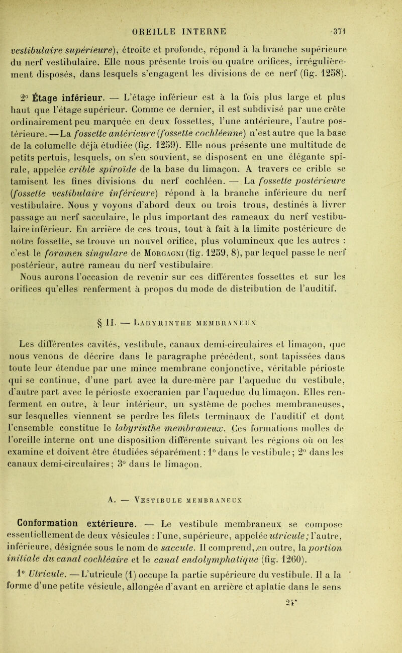 vestibulaire supérieure)^ étroite et profonde, répond à la branche supérieure du nerf vestibulaire. Elle nous présente trois ou quatre orifices, irrégulière- ment disposés, dans lesquels s’engagent les divisions de ce nerf (fig. 1258). 2® Étage inférieur. — L’étage inférieur est à la fois plus large et plus haut que l’étage supérieur. Gomme ce dernier, il est subdivisé par une crête ordinairement peu marquée en deux fossettes, l’une antérieure, l’autre pos- térieure. — La fossette antérieure (fossette cochléenne) n’est autre que la base de la columelle déjà étudiée (fig. 1259). Elle nous présente une multitude de petits pertuis, lesquels, on s’en souvient, se disposent en une élégante spi- rale, appelée crible spiroïde de la base du limaçon. A travers ce crible se tamisent les fines divisions du nerf cochléen.— fossette postérieure (fossette vestibulaire inférieure) répond à la branche inférieure du nerf vestibulaire. Nous y voyons d’abord deux ou trois trous, destinés à livrer passage au nerf sacculaire, le plus important des rameaux du nerf vestibu- laire inférieur. En arrière de ces trous, tout à fait à la limite postérieure de notre fossette, se trouve un nouvel orifice, plus volumineux que les autres : c’est le foramen singulare de Morgagni (fig. 1259, 8), par lequel passe le nerf postérieur, autre rameau du nerf vestibulaire. Nous aurons l’occasion de revenir sur ces différentes fossettes et sur les orifices qu’elles renferment à propos du mode de distribution de l’auditif. § II. — Labyrinthe membraneux Les différentes cavités, vestibule, canaux demi-circulaires et limaçon, que nous venons de décrire dans le paragraphe précédent, sont tapissées dans toute leur étendue par une mince membrane conjonctive, véritable périoste qui se continue, d’une part avec la dure-mère par l’aqueduc du vestibule, d’autre part avec le périoste exocranien par l’aqueduc du limaçon. Elles ren- ferment en outre, à leur intérieur, un système de poches membraneuses, sur lesquelles viennent se perdre les filets terminaux de l’auditif et dont l’ensemble constitue le labyrinthe membraneux. Ces formations molles de l’oreille interne ont une disposition différente suivant les régions où on les examine et doivent être étudiées séparément : dans le vestibule ; 2° dans les canaux demi-circulaires; 3^ dans le limaçon. A. — Vestibule membraneux Conformation extérieure. ■— Le vestibule membraneux se compose essentiellement de deux vésicules : l’une, supérieure, appelée l’autre, inférieure, désignée sous le nom de saccule. Il comprend,.en outre, X^portion initiale du canal cochléaire et le canal endolymphatique (fig. 1260). 1“ Utricule. —L’utricule (1) occupe la partie supérieure du vestibule. Il a la forme d’une petite vésicule, allongée d’avant en arrière et aplatie dans le sens