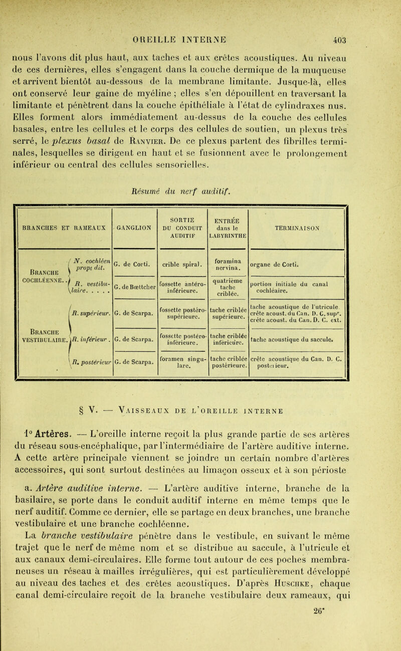 nous l’avons dit plus haut, aux taches et aux crêtes acoustiques. Au niveau de ces dernières, elles s’engagent dans la couche dermique de la muqueuse et arrivent bientôt au-dessous de la membrane limitante. Jusque-là, elles ont conservé leur gaine de myéline ; elles s’en dépouillent en traversant la limitante et pénètrent dans la couche épithéliale à l’état de cylindraxes nus. Elles forment alors immédiatement au-dessus de la couche des cellules basales, entre les cellules et le corps des cellules de soutien, un plexus très serré, le plexus basal de Ranvier. De ce plexus partent des fibrilles termi- nales, lesquelles se dirigent en haut et se fusionnent avec le prolongement inférieur ou central des cellules sensorielles. Résumé du nerf auditif. BRANCHES ET RAMEAUX . GANGLION SORTIE DU CONDUIT AUDITIF ENTRÉE dans le LABYRINTHE TERMINAISON / N. cochléen „ l propt dit. Branche ) COCHLÉENNE..) „ ... r if, vestw.u- \laire j B. supérieur. Branche ) VESTIBULAIRE. yt. inférieur. \jR. postérieur G. de Corti, crible spiral. foramina nervina. organe de Corti. G. deBœttcher fossette antéro- inférieure. quatrième tache criblée. portion initiale du canal cochléaire. G. de Scarpa. fossette postéro- snpérieure. tache criblée supérieure. tache acoustique de l’utricule, crête acoust. du Can. D. C, sup. crête acoust. du Can.D. C, ext. G. de Scarpa. fossette postéro- inférieure. tache criblée inférieure. tache acoustique du saccule. G. de Scarpa. foramen sin gu- lare. tache criblée postérieure. crête acoustique du Can. D. C. poste) ieur. § V. — Vaisseaux de l’oreille interne Artères. — L’oreille interne reçoit la plus grande partie de ses artères du réseau sous-encéphalique, par l’intermédiaire de l’artère auditive interne. A cette artère principale viennent se joindre un certain nombre d’artères accessoires, qui sont surtout destinées au limaçon osseux et à son périoste a. Artère auditive interne. — L’artère auditive interne, branche de la basilaire, se porte dans le conduit auditif interne en même temps que le nerf auditif. Comme ce dernier, elle se partage en deux branches, une branche vestibulaire et une branche cochléenne. La branche vestibulaire pénètre dans le vestibule, en suivant le même trajet que le nerf de même nom et se distribue au saccule, à l’utricule et aux canaux demi-circulaires. Elle forme tout autour de ces poches membra- neuses un réseau à mailles irrégulières, qui est particulièrement développé au niveau des taches et des crêtes acoustiques. D’après Huschke, chaque canal demi-circulaire reçoit de la branche vestibulaire deux rameaux, qui 26*