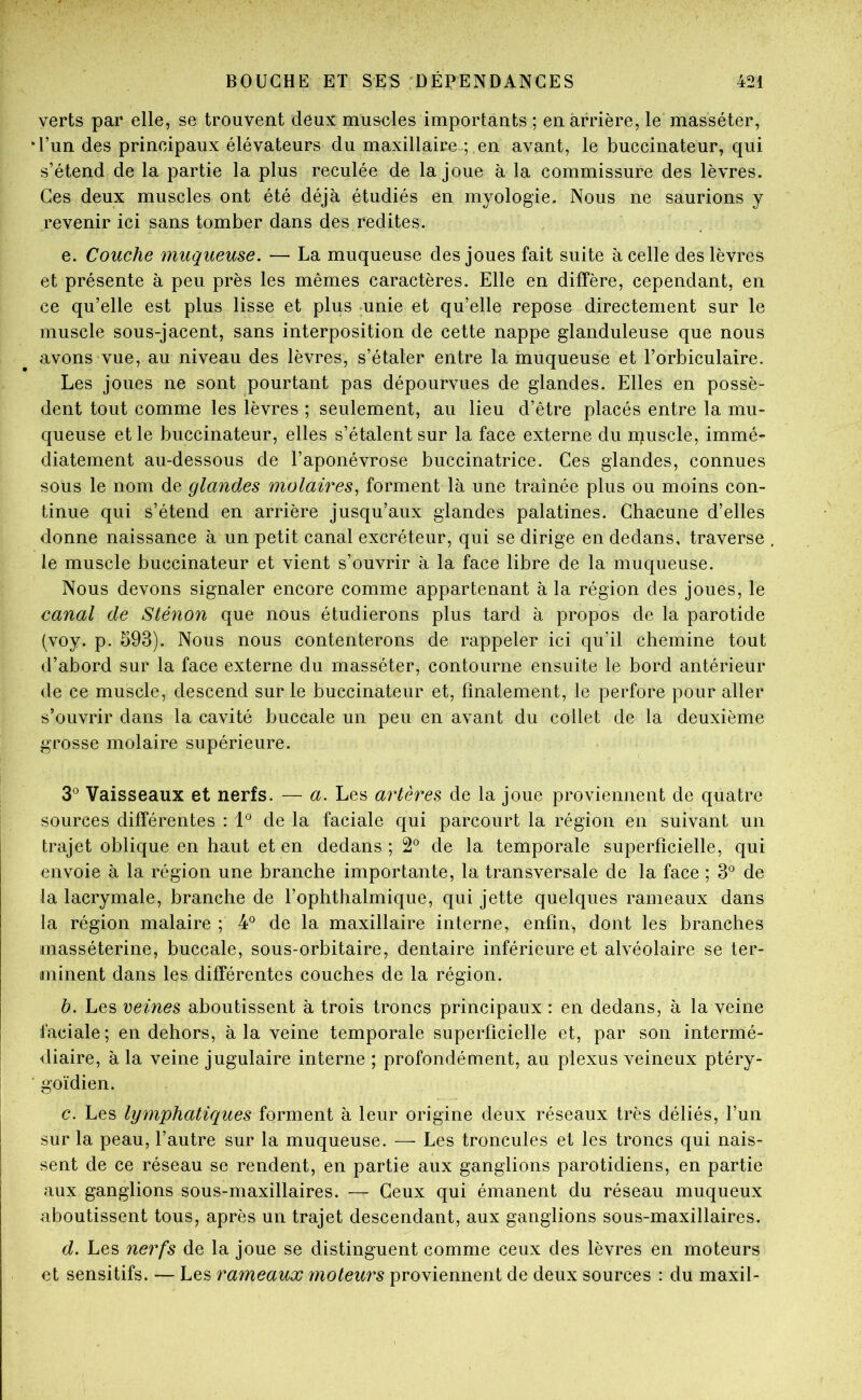 verts par elle, se trouvent deux muscles importants ; en arrière, le'masséter, l’un des principaux élévateurs du maxillaire ; en avant, le buccinateur, qui s’étend de la partie la plus reculée de la joue à la commissure des lèvres. Ces deux muscles ont été déjà étudiés en myologie. Nous ne saurions y revenir ici sans tomber dans des redites. e. Couche muqueuse. — La muqueuse des joues fait suite à celle des lèvres et présente à peu près les mêmes caractères. Elle en diffère, cependant, en ce qu’elle est plus lisse et plus -unie et qu’elle repose directement sur le muscle sous-jacent, sans interposition de cette nappe glanduleuse que nous avons vue, au niveau des lèvres, s’étaler entre la muqueuse et l’orbiculaire. Les joues ne sont pourtant pas dépourvues de glandes. Elles en possè- dent tout comme les lèvres ; seulement, au lieu d’être placés entre la mu- queuse et le buccinateur, elles s’étalent sur la face externe du niuscle, immé- diatement au-dessous de l’aponévrose buccinatrice. Ces glandes, connues sous le nom de glandes molaires, forment là une traînée plus ou moins con- tinue qui s’étend en arrière jusqu’aux glandes palatines. Chacune d’elles donne naissance à un petit canal excréteur, qui se dirige en dedans, traverse le muscle buccinateur et vient s’ouvrir à la face libre de la muqueuse. Nous devons signaler encore comme appartenant à la région des joues, le canal de Sténon que nous étudierons plus tard à propos de la parotide (voy. p. 593). Nous nous contenterons de rappeler ici qu’il chemine tout d’abord sur la face externe du masséter, contourne ensuite le bord antérieur de ce muscle, descend sur le buccinateur et, finalement, le perfore pour aller s’ouvrir dans la cavité buccale un peu en avant du collet de la deuxième grosse molaire supérieure. 3^ Vaisseaux et nerfs. — a. Les artères de la joue proviennent de quatre sources différentes : l*’ de la faciale qui parcourt la région en suivant un trajet oblique en haut et en dedans; 2^ de la temporale superficielle, qui envoie à la région une branche importante, la transversale de la face ; 3*^ de la lacrymale, branche de l’ophthalmique, qui jette quelques rameaux dans la région malaire ; 4*^ de la maxillaire interne, enfin, dont les branches masséterine, buccale, sous-orbitaire, dentaire inférieure et alvéolaire se ter- minent dans les différentes couches de la région. b. Les veines aboutissent à trois troncs principaux : en dedans, à la veine faciale; en dehors, à la veine temporale superficielle et, par son intermé- diaire, à la veine jugulaire interne ; profondément, au plexus veineux ptéry- goïdien. c. Les lymphatiques forment à leur origine deux réseaux très déliés, l’un sur la peau, l’autre sur la muqueuse. — Les troncules et les troncs qui nais- sent de ce réseau se rendent, en partie aux ganglions parotidiens, en partie aux ganglions sous-maxillaires. — Ceux qui émanent du réseau muqueux aboutissent tous, après un trajet descendant, aux ganglions sous-maxillaires. d. Les nerfs de la joue se distinguent comme ceux des lèvres en moteurs et sensitifs. — Les rameaux moteurs proviennent de deux sources : du maxil-