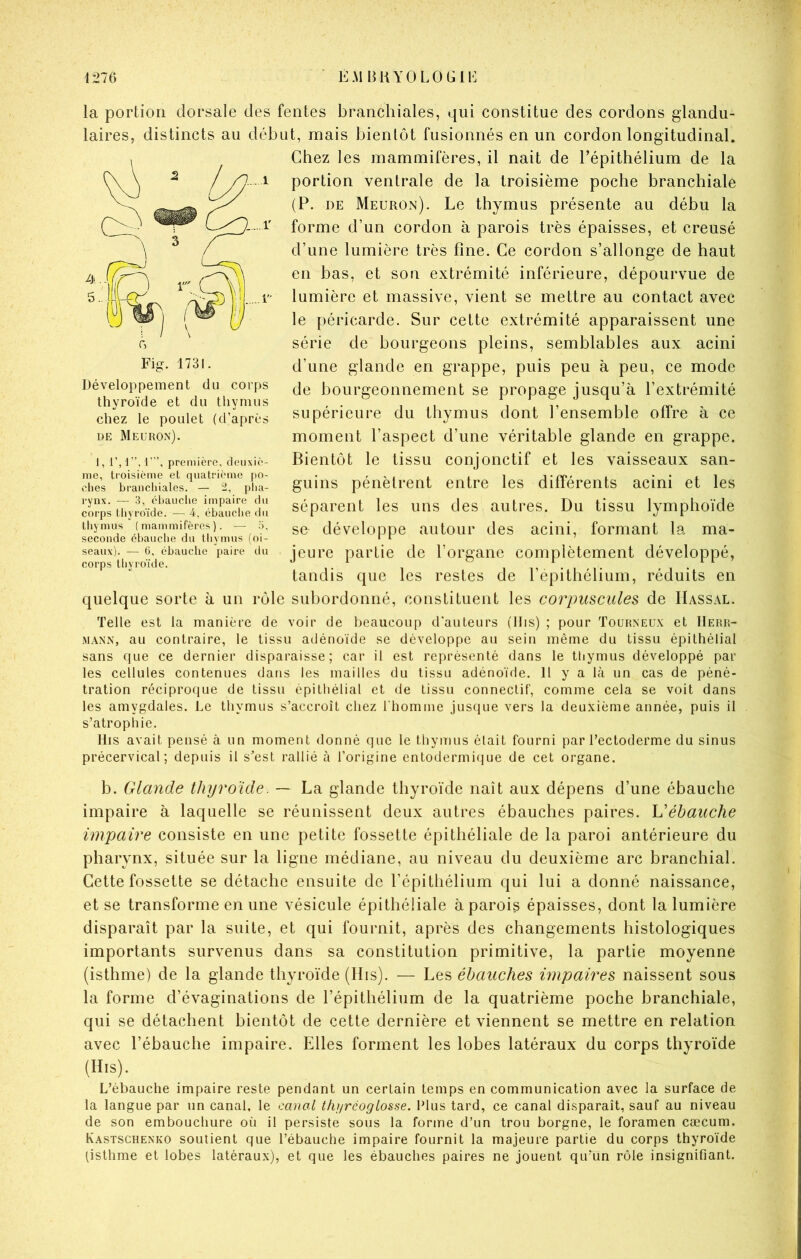 la portion dorsale des fentes branchiales, qui constitue des cordons glandu- laires, distincts au début, mais bientôt fusionnés en un cordon longitudinal. Chez les mammifères, il nait de l’épithélium de la portion ventrale de la troisième poche branchiale (P. DE Meuron). Le thymus présente au débu la forme d’un cordon à parois très épaisses, et creusé d’une lumière très fine. Ce cordon s’allonge de haut en bas, et son extrémité inférieure, dépourvue de lumière et massive, vient se mettre au contact avec le péricarde. Sur cette extrémité apparaissent une série de bourgeons pleins, semblables aux acini d’une glande en grappe, puis peu à peu, ce mode de bourgeonnement se propage jusqu’à l’extrémité supérieure du thymus dont l’ensemble offre à ce moment l’aspect d’une véritable glande en grappe. Bientôt le tissu conjonctif et les vaisseaux san- guins pénètrent entre les différents acini et les séparent les uns des autres. Du tissu lymphoïde se développe autour des acini, formant la ma- jeure partie de l’organe complètement développé, tandis que les restes de l’epithélium, réduits en quelque sorte à un rôle subordonné, constituent les corpuscules de Iïassal. Telle est la manière de voir de beaucoup d’auteurs (llis) ; pour Touhneux et IIehk- MANN, au contraire, le tissu adénoïde se développe au sein même du tissu épithélial sans que ce dernier disparaisse; car il est représenté dans le thymus développé par les cellules contenues dans les mailles du tissu adénoïde. H y a là un cas de péné- tration réciproque de tissu épithélial et de tissu connectif, comme cela se voit dans les amygdales. Le thymus s’accroît chez l'homme jusque vers la deuxième année, puis il s’atrophie. llis avait pensé à un moment donné que le thymus était fourni par l’ectoderme du sinus précervical; depuis il s’est rallié à l’origine entodermique de cet organe. b. Glande thyroïde. — La glande thyroïde naît aux dépens d’une ébauche impaire à laquelle se réunissent deux autres ébauches paires. Véhauche impaire consiste en une petite fossette épithéliale de la paroi antérieure du pharynx, située sur la ligne médiane, au niveau du deuxième arc branchial. Cette fossette se détache ensuite de l’épithélium qui lui a donné naissance, et se transforme en une vésicule épithéliale à parois épaisses, dont la lumière disparaît par la suite, et qui fournit, après des changements histologiques importants survenus dans sa constitution primitive, la partie moyenne (isthme) de la glande thyroïde (His). — Les ébauches impaires naissent sous la forme d’évaginations de l’épithélium de la quatrième poche branchiale, qui se détachent bientôt de cette dernière et viennent se mettre en relation avec l’ébauche impaire. Elles forment les lobes latéraux du corps thyroïde (H.S). L’ébauche impaire reste pendant un certain temps en communication avec la surface de la langue par un canal, le canal thi/réogLosse. Plus tard, ce canal disparaît, sauf au niveau de son embouchure où il persiste sous la forme d’un trou borgne, le foramen cæcum. Kastschenko soutient que l’ébauche impaire fournit la majeure partie du corps thyroïde (isthme et lobes latéraux), et que les ébauches paires ne jouent qu’un rôle insignifiant. Développement du corps thyroïde et du thymus chez le poulet (d’après DE Meuron). J, première, deuxiè- me, troisième et quatrième po- ches brancliiales. — 2, pha- rynx. — 3, éhauche impaire du corps thyroïde. — 4, ébauche du thymus (mammifères). — 5, seconde ébauche du thymus (oi- seaux). — 6, ébauche paire du corps tliyroïde.