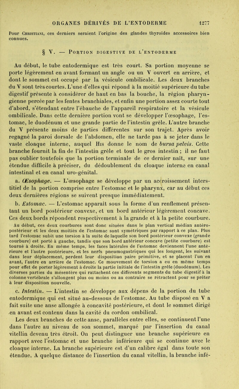 Pour Christiani, ces derniers seraient l’origine des glandes thyroïdes accessoires bien connues. § V. — Portion digestive de l’entoderme Au début, le tube entodermique est très court. Sa portion moyenne se porte légèrement en avant formant un angle ou un V ouvert en arrière, et dont le sommet est occupé par la vésicule ombilicale. Les deux branches du V sont très courtes. L’une d’elles qui répond à la moitié supérieure du tube digestif présente à considérer de haut en bas la bouche, la région pharyn- gienne percée par les fentes branchiales, et enfin une portion assez courte tout d’abord, s’étendant entre l’ébauche de l’appareil respiratoire et la vésicule ombilicale. Dans cette dernière portion vont se développer l’œsophage, l’es- tomac, le duodénum et une grande partie de l’intestin grêle. L’autre branche du V présente moins de parties différentes sur son trajet. Après avoir regagné la paroi dorsale de l’abdomen, elle ne tarde pas à se jeter dans le vaste cloaque interne, auquel His donne le nom bursa pelvis. Cette branche fournit la fin de l’intestin grêle et tout le gros intestin ; il ne faut pas oublier toutefois que la portion terminale de ce dernier naît, sur une étendue difficile à préciser, du dédoublement du cloaque interne en canal intestinal et en canal uro-génital. a. Œsophage. — L’œsophage se développe par un accroissement inters- titiel de la portion comprise entre l’estomac et le pharynx, car au début ces deux dernières régions se suivent presque immédiatement. b. Estomac. — L’estomac apparaît sous la forme d’un renflement présen- tant un bord postérieur convexe, et un bord antérieur légèrement concave. Ces deux bords répondent respectivement à la grande et à la petite courbure. Au début, ces deux courbures sont donc situées dans le plan vertical médian antéro- postérieur et les deux moitiés de l’estomac sont symétriques par rapport à ce plan. Plus tard l’estomac subit une torsion à la suite de laquelle son bord postérieur convexe (grande courbure) est porté à gauche, tandis que son bord antérieur concave (petite courbure) est tourné à droite. En même temps, les faces latérales de l’estomac deviennent l’une anté- rieure et l’autre postérieure, et les nerfs pneumogastriques qui les longent, les suivant dans leur déplacement, perdent leur disposition paire primitive, et se placent l’un en avant, l’autre en arrière de l’estomac. Ce mouvement de torsion a eu en même temps pour effet de porter légèrement à droite la partie initiale de l’intestin grêle (duodénum). Les diverses parties du mésentère qui rattachent ces différents segments du tube digestif à la colonne vertébrale s’allongent plus ou moins ou au contraire se rétractent pour se prêter à leur disposition nouvelle. c. Intestin. — L’intestin se développe aux dépens de la portion du tube entodermique qui est situé au-dessous de l’estomac. Au tube disposé en V a fait suite une anse allongée à concavité postérieure, et dont le sommet dirigé -en avant est contenu dans la cavité du cordon ombilical. Les deux branches de cette anse, parallèles entre elles, se continuent l’une dans l’autre au niveau de son sommet, marqué par l’insertion du canal vitellin devenu très étroit. On peut distinguer une branche supérieure en rapport avec l’estomac et une branche inférieure qui se continue avec le cloaque interne. La branche supérieure est d’un calibre égal dans toute son étendue. A quelque distance de l’insertion du canal vitellin, la branche infé-