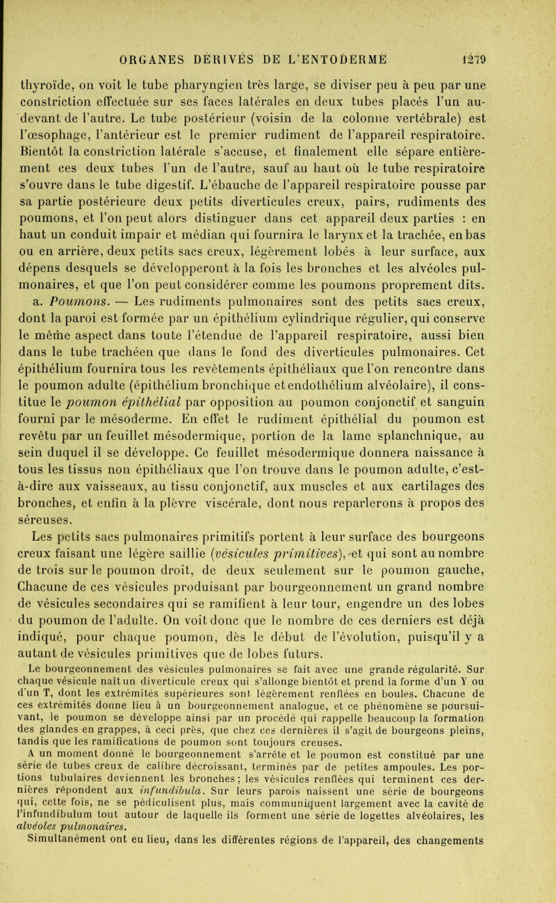 thyroïde, on voit le tube pharyngien très large, se diviser peu à peu par une constriction effectuée sur ses faces latérales en deux tubes placés l’un au- devant de l’autre. Le tube postérieur (voisin de la colonne vertébrale) est l’œsophage, l’antérieur est le premier rudiment de l’appareil respiratoire. Bientôt la constriction latérale s’accuse, et finalement elle sépare entière- ment ces deux tubes l’un de l’autre, sauf au haut où le tube respiratoire s’ouvre dans le tube digestif. L’ébauche de l’appareil respiratoire pousse par sa partie postérieure deux petits diverticules creux, pairs, rudiments des poumons, et l’on peut alors distinguer dans cet appareil deux parties : en haut un conduit impair et médian qui fournira le larynx et la trachée, en bas ou en arrière, deux petits sacs creux, légèrement lobés à leur surface, aux dépens desquels se développeront à la fois les bronches et les alvéoles pul- monaires, et que l’on peut considérer comme les poumons proprement dits. a. Poumons. — Les rudiments pulmonaires sont des petits sacs creux, dont la paroi est formée par un épithélium cylindrique régulier, qui conserve le même aspect dans toute l’étendue de l’appareil respiratoire, aussi bien dans le tube trachéen que dans le fond des diverticules pulmonaires. Cet épithélium fournira tous les revêtements épithéliaux que l’on rencontre dans le poumon adulte (épithélium bronchique et endothélium alvéolaire), il cons- titue le poumon épithélial par opposition au poumon conjonctif et sanguin fourni par le mésoderme. En effet le rudiment épithélial du poumon est revêtu par un feuillet mésodermique, portion de la lame splanchnique, au sein duquel il se développe. Ce feuillet mésodermique donnera naissance à tous les tissus non épithéliaux que l’on trouve dans le poumon adulte, c’est- à-dire aux vaisseaux, au tissu conjonctif, aux muscles et aux cartilages des bronches, et enfin à la plèvre viscérale, dont nous reparlerons à propos des séreuses. Les petits sacs pulmonaires primitifs portent à leur surface des bourgeons creux faisant une légère saillie (vésicules primitives)^ et qui sont au nombre de trois sur le poumon droit, de deux seulement sur le poumon gauche. Chacune de ces vésicules produisant par bourgeonnement un grand nombre de vésicules secondaires qui se ramifient à leur tour, engendre un des lobes du poumon de l’adulte. On voit donc que le nombre de ces derniers est déjà indiqué, pour chaque poumon, dès le début de l’évolution, puisqu’il y a autant de vésicules primitives que de lobes futurs. Le bourgeonnement des vésicules pulmonaires se fait avec une grande régularité. Sur chaque vésicule naît un diverticule creux qui s’allonge bientôt et prend Informe d’un Y ou d'un T, dont les extrémités supérieures sont légèrement renflées en boules. Chacune de ces extrémités donne lieu à un bourgeonnement analogue, et ce phénomène se poursui- vant, le poumon se développe ainsi par un procédé qui rappelle beaucoup la formation des glandes en grappes, à ceci près, que chez ces dernières il s’agit de bourgeons pleins, tandis que les ramifications de poumon sont toujours creuses. A un moment donné le bourgeonnement s’arrête et le poumon est constitué par une série de tubes creux de calibre décroissant, terminés par de petites ampoules. Les por- tions tubulaires deviennent les bronches; les vésicules renflées qui terminent ces der- nières répondent aux infundibula. Sur leurs parois naissent une série de bourgeons qui, cette fois, ne se pédiculisent plus, mais communiquent largement avec la cavité de l’infundibulum tout autour de laquelle ils forment une série de logettes alvéolaires, les alvéoles pulmonaires. Simultanément ont eu lieu, dans les dilférentes régions de l’appareil, des changements