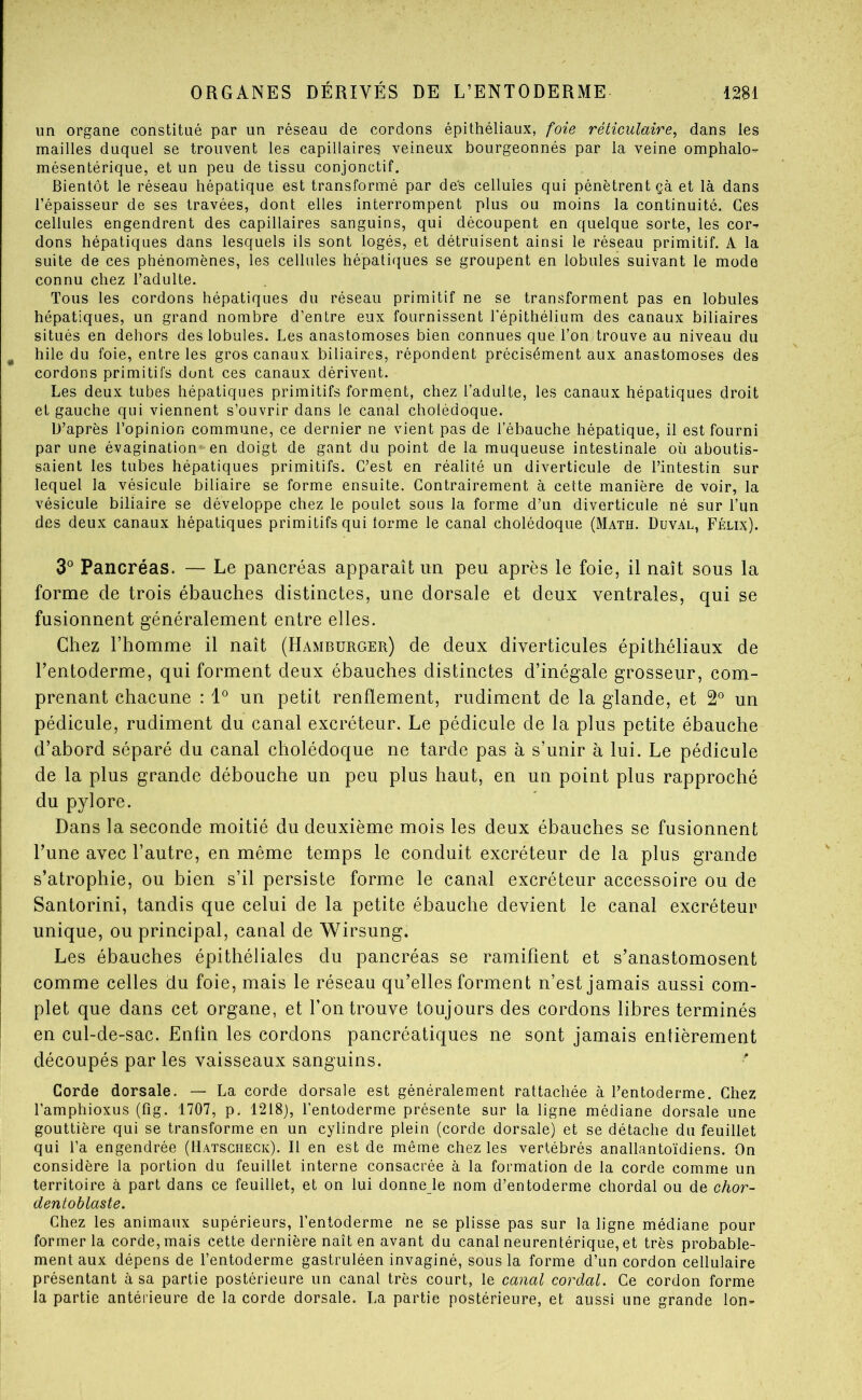 un organe constitué par un réseau de cordons épithéliaux, foie réticulaire, dans les mailles duquel se trouvent les capillaires veineux bourgeonnés par la veine omphalo- mésentérique, et un peu de tissu conjonctif. Bientôt le réseau hépatique est transformé par de's cellules qui pénètrent çà et là dans l’épaisseur de ses travées, dont elles interrompent plus ou moins la continuité. Ces cellules engendrent des capillaires sanguins, qui découpent en quelque sorte, les cor^ dons hépatiques dans lesquels ils sont logés, et détruisent ainsi le réseau primitif. A la suite de ces phénomènes, les cellules hépatiques se groupent en lobules suivant le mode connu chez l’adulte. Tous les cordons hépatiques du réseau primitif ne se transforment pas en lobules hépatiques, un grand nombre d’entre eux fournissent l'épithélium des canaux biliaires situés en dehors des lobules. Les anastomoses bien connues que l’on trouve au niveau du hile du foie, entre les gros canaux biliaires, répondent précisément aux anastomoses des cordons primitifs dont ces canaux dérivent. Les deux tubes hépatiques primitifs forment, chez l’adulte, les canaux hépatiques droit et gauche qui viennent s’ouvrir dans le canal cholédoque. D’après l’opinion commune, ce dernier ne vient pas de l’ébauche hépatique, il est fourni par une évagination en doigt de gant du point de la muqueuse intestinale où aboutis- saient les tubes hépatiques primitifs. C’est en réalité un diverticule de l’intestin sur lequel la vésicule biliaire se forme ensuite. Contrairement à cette manière de voir, la vésicule biliaire se développe chez le poulet sous la forme d’un diverticule né sur l’un des deux canaux hépatiques primitifs qui torme le canal cholédoque (Math. Duval, Félix). 3® Pancréas. — Le pancréas apparaît un peu après le foie, il naît sous la forme de trois ébauches distinctes, une dorsale et deux ventrales, qui se fusionnent généralement entre elles. Chez l’homme il naît (Hamburger) de deux diverticules épithéliaux de l’entoderme, qui forment deux ébauches distinctes d’inégale grosseur, com- prenant chacune : un petit renflement, rudiment de la glande, et 2° un pédicule, rudiment du canal excréteur. Le pédicule de la plus petite ébauche d’abord séparé du canal cholédoque ne tarde pas à s’unir à lui. Le pédicule de la plus grande débouche un peu plus haut, en un point plus rapproché du pylore. Dans la seconde moitié du deuxième mois les deux ébauches se fusionnent l’une avec l’autre, en même temps le conduit excréteur de la plus grande s’atrophie, ou bien s’il persiste forme le canal excréteur accessoire ou de Santorini, tandis que celui de la petite ébauche devient le canal excréteur unique, ou principal, canal de Wirsung. Les ébauches épithéliales du pancréas se ramifient et s’anastomosent comme celles du foie, mais le réseau qu’elles forment n’est jamais aussi com- plet que dans cet organe, et l’on trouve toujours des cordons libres terminés en cul-de-sac. Enfin les cordons pancréatiques ne sont jamais entièrement découpés par les vaisseaux sanguins. Corde dorsale. — La corde dorsale est généralement rattachée à l’entoderme. Chez l’amphioxus (fig. 1707, p. 1218), l’entoderme présente sur la ligne médiane dorsale une gouttière qui se transforme en un cylindre plein (corde dorsale) et se détache du feuillet qui l’a engendrée (Batscheck). Il en est de même chez les vertébrés anallantoïdiens. On considère la portion du feuillet interne consacrée à la formation de la corde comme un territoire à part dans ce feuillet, et on lui donne le nom d’entoderme chordal ou de chor- dentoblaste. Chez les animaux supérieurs, l’entoderme ne se plisse pas sur la ligne médiane pour former la corde, mais cette dernière naît en avant du canal neurentérique, et très probable- ment aux dépens de l’entoderme gastruléen invaginé, sous la forme d’un cordon cellulaire présentant à sa partie postérieure un canal très court, le canal cordai. Ce cordon forme la partie antérieure de la corde dorsale. La partie postérieure, et aussi une grande Ion-