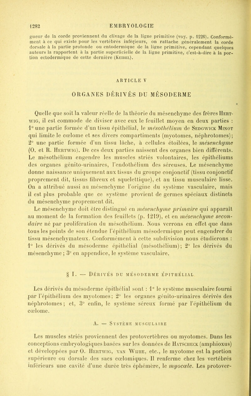 gueur de la corde proviennent du clivage de la ligne primitive (voy. p. 1226). Conformé- ment à ce qui existe pour les vertébrés inférieurs, on rattache généralement la corde dorsale à la partie profonde ou entodermique de la ligne primitive, cependant quelques auteurs la rapportent à la partie superficielle de la ligne primitive, c’est-à-dire à la por- tion ectodermique de cette dernière (Keibel), ARTICLE V ORGANES DÉRIVÉS DU MÉSODERME Quelle que soit la valeur réelle de la théorie du mésenchyme des frères Hert- wiG, il est commode de diviser avec eux le feuillet moyen en deux parties : une partie formée d’un tissu épithélial, le mésothélium de Sedgwick Minot qui limite le cœlome et ses divers compartiments (myotomes, néphrotomes) ; 2*^ une partie formée d’un tissu lâche, à cellules étoilées, le mésenchyme (O. et R. Hertwig). De ces deux parties naissent des organes bien différents. Le mésothélium engendre les muscles striés volontaires, les épithéliums des organes génito-urinaires, l’endothélium des séreuses. Le mésenchyme donne naissance uniquement aux tissus du groupe conjonctif (tissu conjonctif proprement dit, tissus fibreux et squelettique), et au tissu musculaire lisse. On a attribué aussi au mésenchyme l’origine du système vasculaire, mais il est plus probable que ce système provient de germes spéciaux distincts du mésenchyme proprement dit. Le mésenchyme doit être distingué en mésenchyme primaire qui apparaît au moment de la formation des feuillets (p. 1219), et en mésenchyme secon- daire né par prolifération du mésothélium. Nous verrons en effet que dans tous les points de son étendue l’épithélium mésodermique peut engendrer du tissu mésenchymateux. Conformément à cette subdivision nous étudierons : 1*^ les dérivés du mésoderme épithélial (mésothélium) ; 2® les dérivés du mésenchyme ; 3® en appendice, le système vasculaire. § I. — Dérivés du mésoderme épithélial Les dérivés du mésoderme épithélial sont : 1” le système musculaire fourni par l’épithélium des myotomes; 2° les organes génito-urinaires dérivés des néphrotomes ; et, 3° enfin, le système séreux formé par l’épithélium du cœlome. A. — Système musculaire Les muscles striés proviennent des protovertèbres ou myotomes. Dans les conceptions embryologiques basées sur les données de Hatscheck (amphioxus) et développées par O. Hertwig, van Wijhe, etc., le myotome est la portion supérieure ou dorsale des sacs cœlomiques. Il renferme chez les vertébrés inférieurs une cavité d’une durée très éphémère, le myocœle. Les protover-