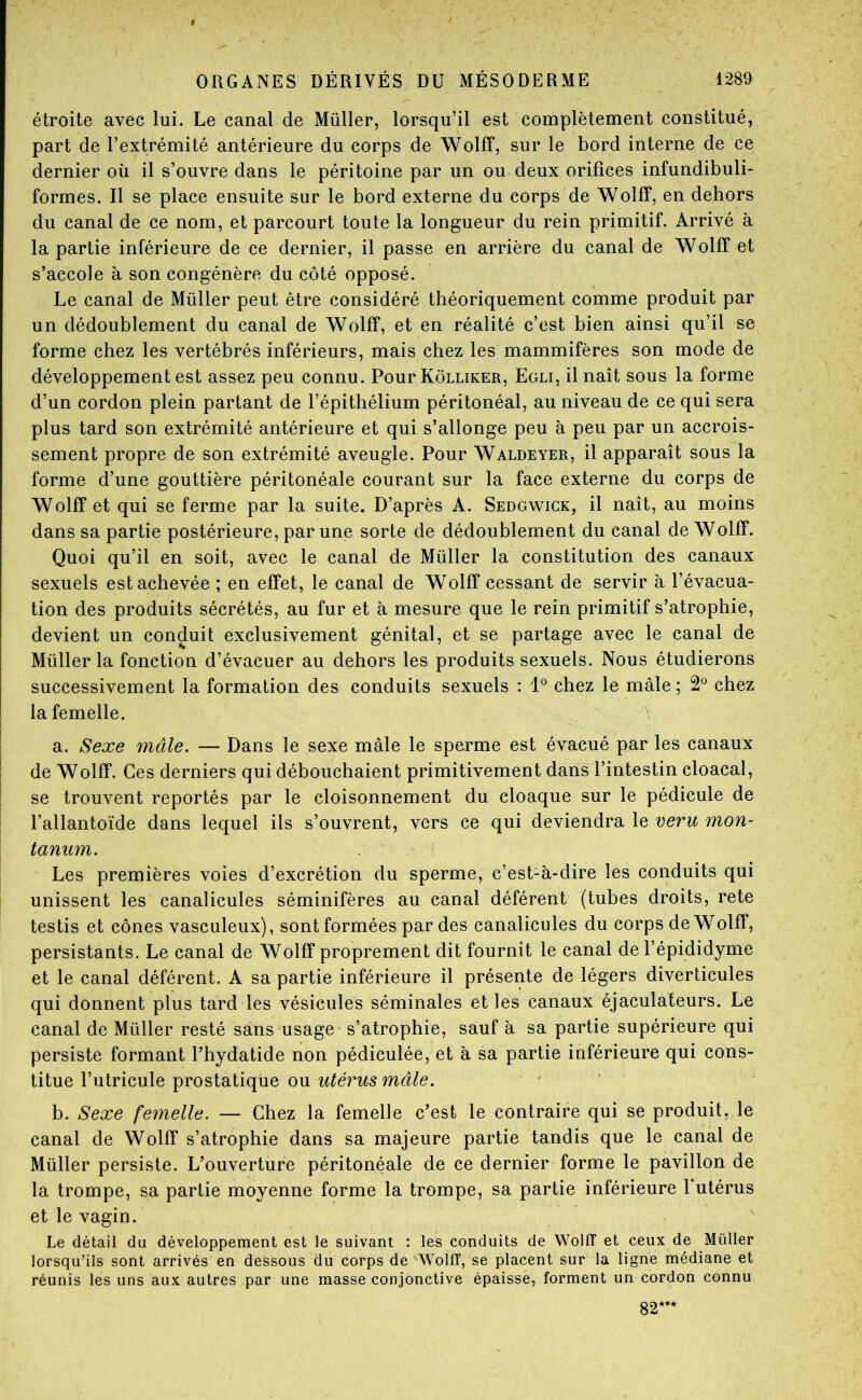 étroite avec lui. Le canal de Millier, lorsqu’il est complètement constitué, part de l’extrémité antérieure du corps de Wolff, sur le bord interne de ce dernier où il s’ouvre dans le péritoine par un ou deux orifices infundibuli- formes. Il se place ensuite sur le bord externe du corps de Wolff, en dehors du canal de ce nom, et parcourt toute la longueur du rein primitif. Arrivé à la partie inférieure de ce dernier, il passe en arrière du canal de Wolff et s’accole à son congénère du côté opposé. Le canal de Müller peut être considéré théoriquement comme produit par un dédoublement du canal de Wolff, et en réalité c’est bien ainsi qu’il se forme chez les vertébrés inférieurs, mais chez les mammifères son mode de développement est assez peu connu. Pour Kôlliker, Egli, il naît sous la forme d’un cordon plein partant de l’épithélium péritonéal, au niveau de ce qui sera plus tard son extrémité antérieure et qui s’allonge peu à peu par un accrois- sement propre de son extrémité aveugle. Pour Waldeyer, il apparaît sous la forme d’une gouttière péritonéale courant sur la face externe du corps de Wolff et qui se ferme par la suite. D’après A. Sedg’Wick, il naît, au moins dans sa partie postérieure, par une sorte de dédoublement du canal de Wolff. Quoi qu’il en soit, avec le canal de Müller la constitution des canaux sexuels est achevée ; en effet, le canal de Wolff cessant de servir à l’évacua- tion des produits sécrétés, au fur et à mesure que le rein primitif s’atrophie, devient un conduit exclusivement génital, et se partage avec le canal de Müller la fonction d’évacuer au dehors les produits sexuels. Nous étudierons successivement la formation des conduits sexuels : 1® chez le mâle ; 2*^ chez la femelle. a. Sexe mâle. — Dans le sexe mâle le sperme est évacué par les canaux de Wolff. Ces derniers qui débouchaient primitivement dans l’intestin cloacal, se trouvent reportés par le cloisonnement du cloaque sur le pédicule de l’allantoïde dans lequel ils s’ouvrent, vers ce qui deviendra le veru mon- tanum. Les premières voies d’excrétion du sperme, c’est-à-dire les conduits qui unissent les canalicules séminifères au canal déférent (tubes droits, rete testis et cônes vasculeux), sont formées par des canalicules du corps de Wolff, persistants. Le canal de Wolff proprement dit fournit le canal de l’épididyme et le canal déférent. A sa partie inférieure il présente de légers diverticules qui donnent plus tard les vésicules séminales et les canaux éjaculateurs. Le canal de Müller resté sans usage s’atrophie, sauf à sa partie supérieure qui persiste formant l’hydatide non pédiculée, et à sa partie inférieure qui cons- titue l’utricule prostatique ou utérus mâle. • ' b. Sexe femelle. — Chez la femelle c’est le contraire qui se produit, le canal de Wolff s’atrophie dans sa majeure partie tandis que le canal de Müller persiste. L’ouverture péritonéale de ce dernier forme le pavillon de la trompe, sa partie moyenne forme la trompe, sa partie inférieure l'utérus et le vagin. Le détail du développement est le suivant : les conduits de Wollï et ceux de Müller lorsqu’ils sont arrivés en dessous du corps de WoïfT, se placent sur la ligne médiane et réunis les uns aux autres par une masse conjonctive épaisse, forment un cordon connu