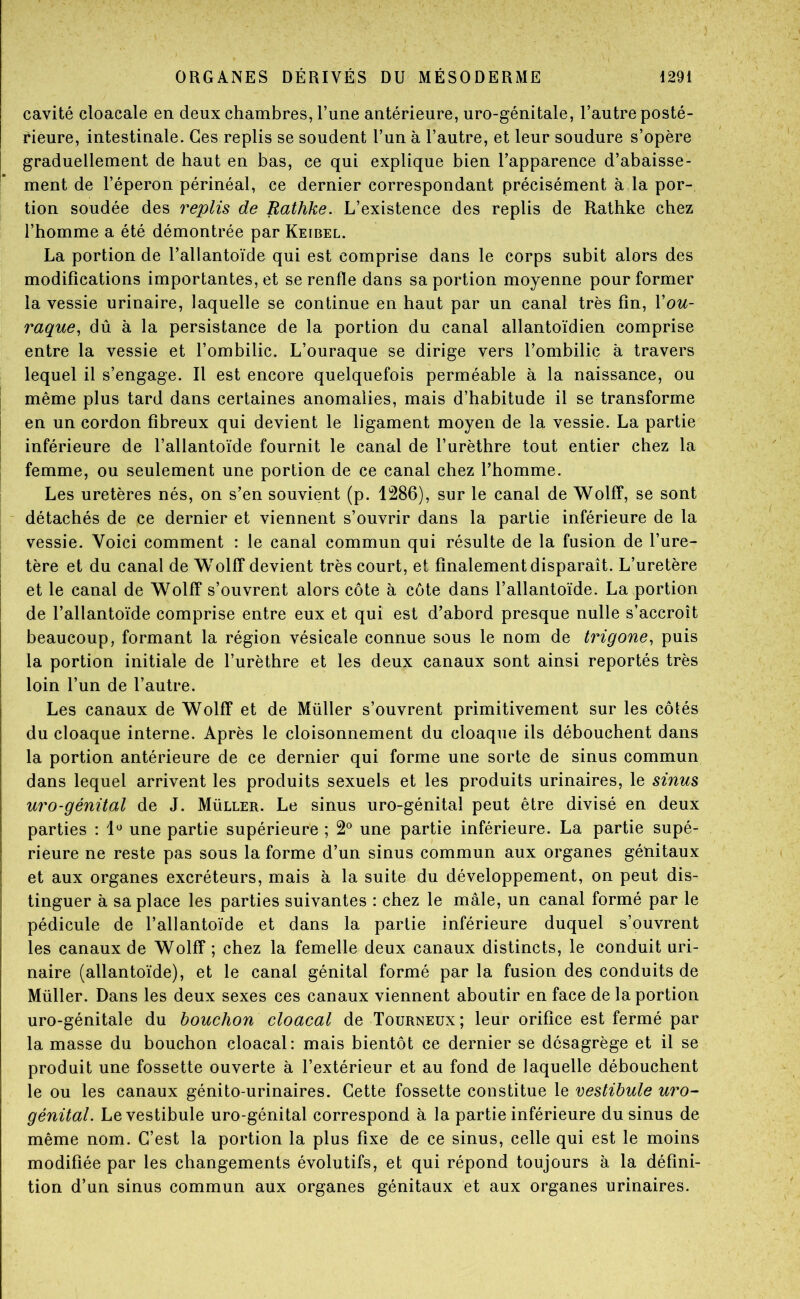 cavité cloacale en deux chambres, l’une antérieure, uro-génitale, l’autre posté- rieure, intestinale. Ces replis se soudent l’un à l’autre, et leur soudure s’opère graduellement de haut en bas, ce qui explique bien l’apparence d’abaisse- ment de l’éperon périnéal, ce dernier correspondant précisément à,la por- tion soudée des replis de Rathke. L’existence des replis de Rathke chez l’homme a été démontrée par Keibel. La portion de l’allantoïde qui est comprise dans le corps subit alors des modifications importantes, et se renfle dans sa portion moyenne pour former la vessie urinaire, laquelle se continue en haut par un canal très fin, Vou- raque^ dû à la persistance de la portion du canal allantoïdien comprise entre la vessie et l’ombilic. L’ouraque se dirige vers l’ombilic à travers lequel il s’engage. Il est encore quelquefois perméable à la naissance, ou même plus tard dans certaines anomalies, mais d’habitude il se transforme en un cordon fibreux qui devient le ligament moyen de la vessie. La partie inférieure de l’allantoïde fournit le canal de l’urèthre tout entier chez la femme, ou seulement une portion de ce canal chez l’homme. Les uretères nés, on s’en souvient (p. 1286), sur le canal de Wolff, se sont ' détachés de ce dernier et viennent s’ouvrir dans la partie inférieure de la vessie. Voici comment : le canal commun qui résulte de la fusion de l’ure- tère et du canal de Wolff devient très court, et finalement disparaît. L’uretère et le canal de Wolff s’ouvrent alors côte à côte dans l’allantoïde. La portion de l’allantoïde comprise entre eux et qui est d’abord presque nulle s’accroît beaucoup, formant la région vésicale connue sous le nom de trigone., puis la portion initiale de l’urèthre et les deux canaux sont ainsi reportés très loin l’un de l’autre. Les canaux de Wolff et de Millier s’ouvrent primitivement sur les côtés du cloaque interne. Après le cloisonnement du cloaque ils débouchent dans la portion antérieure de ce dernier qui forme une sorte de sinus commun dans lequel arrivent les produits sexuels et les produits urinaires, le sinus uro-génital de J. Müller. Le sinus uro-génital peut être divisé en deux parties : une partie supérieure ; 2*^ une partie inférieure. La partie supé- rieure ne reste pas sous la forme d’un sinus commun aux organes génitaux et aux organes excréteurs, mais à la suite du développement, on peut dis- tinguer à sa place les parties suivantes : chez le mâle, un canal formé par le pédicule de l’allantoïde et dans la partie inférieure duquel s’ouvrent les canaux de Wolff ; chez la femelle deux canaux distincts, le conduit uri- naire (allantoïde), et le canal génital formé par la fusion des conduits de Müller. Dans les deux sexes ces canaux viennent aboutir en face de la portion uro-génitale du bouchon cloacal de Tourneux; leur orifice est fermé par la masse du bouchon cloacal: mais bientôt ce dernier se désagrège et il se produit une fossette ouverte à l’extérieur et au fond de laquelle débouchent le ou les canaux génito-urinaires. Cette fossette constitue le restibule uro~ génital. Le vestibule uro-génital correspond à la partie inférieure du sinus de même nom. C’est la portion la plus fixe de ce sinus, celle qui est le moins modifiée par les changements évolutifs, et qui répond toujours à la défini- tion d’un sinus commun aux organes génitaux et aux organes urinaires.