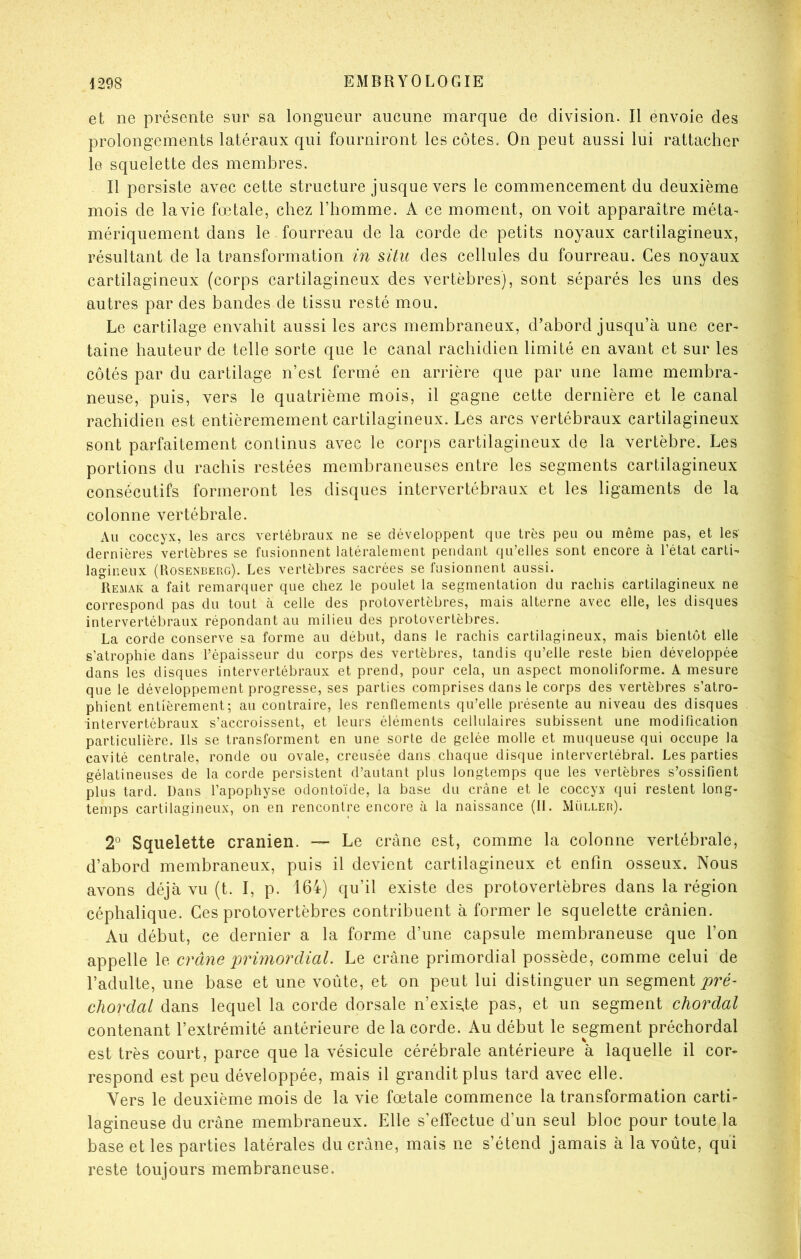 et ne présente sur sa longueur aucune marque de division. Il envoie des prolongements latéraux qui fourniront les côtes. On peut aussi lui rattacher le squelette des membres. Il persiste avec cette structure jusque vers le commencement du deuxième mois de la vie fœtale, chez l’homme. A ce moment, on voit apparaître méta^ mériquement dans le fourreau de la corde de petits noyaux cartilagineux, résultant de la transformation in situ des cellules du fourreau. Ces noyaux cartilagineux (corps cartilagineux des vertèbres), sont séparés les uns des autres par des bandes de tissu resté mou. Le cartilage envahit aussi les arcs membraneux, d’abord jusqu’à une cer- taine hauteur de telle sorte que le canal rachidien limité en avant et sur les côtés par du cartilage n’est fermé en arrière que par une lame membra- neuse, puis, vers le quatrième mois, il gagne cette dernière et le canal rachidien est entièremement cartilagineux. Les arcs vertébraux cartilagineux sont parfaitement continus avec le corps cartilagineux de la vertèbre. Les portions du rachis restées membraneuses entre les segments cartilagineux consécutifs formeront les disques intervertébraux et les ligaments de la colonne vertébrale. An coccyx, les arcs vertébraux ne se développent que très peu ou même pas, et les dernières vertèbres se fusionnent latéralement pendant qu’elles sont encore à l’état carti^ lagineux (Rosenberg). Les vertèbres sacrées se fusionnent aussi. Remak a fait remarquer que chez le poulet la segmentation du rachis cartilagineux ne correspond pas du tout à celle des proLovertèbres, mais alterne avec elle, les disques intervertébraux répondant au milieu des protovertèbres. La corde conserve sa forme au début, dans le rachis cartilagineux, mais bientôt elle s’atrophie dans l’épaisseur du corps des vertèbres, tandis qu’elle reste bien développée dans les disques intervertébraux et prend, pour cela, un aspect monoliforme. A mesure que le développement progresse, ses parties comprises dans le corps des vertèbres s’atro- phient entièrement; au contraire, les renflements qu’elle présente au niveau des disques intervertébraux s’accroissent, et leurs éléments cellulaires subissent une modification particulière. Ils se transforment en une sorte de gelée molle et miuiueuse qui occupe la cavité centrale, ronde ou ovale, creusée dans chaque disque intervertébral. Les parties gélatineuses de la corde persistent d’autant plus longtemps que les vertèbres s’ossifient plus tard. Dans l’apophyse odontoïde, la base du crâne et le coccyx qui restent long- temps cartilagineux, on en rencontre encore à la naissance (II. Müller). T Squelette crânien. — Le crâne est, comme la colonne vertébrale, d’abord membraneux, puis il devient cartilagineux et enfin osseux. Nous avons déjà vu (t. I, p. 164) qu’il existe des protovertèbres dans la région céphalique. Ces protovertèbres contribuent à former le squelette crânien. Au début, ce dernier a la forme d’une capsule membraneuse que l’on appelle le crâne primordial. Le crâne primordial possède, comme celui de l’adulte, une base et une voûte, et on peut lui distinguer un segment pré- chordal dans lequel la corde dorsale n’exis,te pas, et un segment chordal contenant l’extrémité antérieure de la corde. Au début le segment préchordal est très court, parce que la vésicule cérébrale antérieure à laquelle il cor- respond est peu développée, mais il grandit plus tard avec elle. Vers le deuxième mois de la vie fœtale commence la transformation carti- lagineuse du crâne membraneux. Elle s’effectue d’un seul bloc pour toute la base et les parties latérales du crâne, mais ne s’étend jamais à la voûte, qui reste toujours membraneuse.