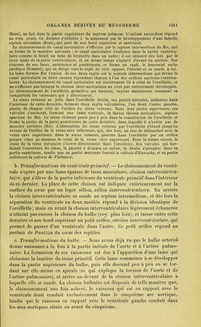 (Born), se fait dans la partie supérieure du septum primum. L’ostium secundum répond au trou ovale. Ce dernier s’oblitère à la naissance par le développement d’une lamelle septum secundum (Born), qui part de son bord supérieur et antérieur. Le cloisonnement du canal auriculaire s’effectue par le septum intermedium de His, qui se forme de la manière suivante : le canal auriculaire s’enfonce dans la cavité ventricu- laire comme le ferait un tube de lorgnette dans un autre; il est entouré dès lors par le tissu épais de la paroi ventriculaire, et en même temps s’aplatit d’avant en arrière. Sur chacune de ses faces, antérieure et postérieure, se forme un repli, le bourrelet endo- cardique (Schmidt), qui se dirige vers le repli du côté opposé, l’atteint et se soude à lui. La lame formée par l’union de ces deux replis est le septum intermedium qui divise le canal auriculaire en deux canaux répondant chacun à l’un des orifices auriculo-ventricu- laires. Le cloisonnement du canal auriculaire est étroitement lié à celui de l’oreillette, et ne s’effectue pas lorsque la cloison inter-auriculaire ne s’est pas entièrement développée. Le cloisonnement de l’oreillette primitive est terminé, voyons maintenant comment se comportent les vaisseaux qui y aboutissent. Le sinus veineux se jette dans l’oreillette droite, ses parois latérales, saillantes dans l’intérieur de cette dernière, forment deux replis valvulaires, l’un droit l’autre gauche, placés de chaque côté de l’orifice du sinus veineux. Dans leur partie supérieure, ces valvules s’unissent, formant une lame verticale, la fausse cloison auriculaire, septum spurium de His. Le sinus veineux passe peu à peu dans la constitution de l’oreillette et forme la partie de la paroi postérieure de cette dernière, dans laquelle il n’existe pas de muscles pectinés (Dis). L’absorption du sinus veineux par l’oreillette s’étend jusqu’au niveau de l’orifice de la veine cave inférieure, qui, dès lors, au lieu de déboucher avec la veine cave supérieure dans le sinus veineux, pénètre dans l’oreillette par un orifice propre situé au-dessous de celui de la veine cave supérieure. Pour la même raison, le sinus de la veine coronaire s’ouvre directement dans l’oreillette. Des valvules qui bor- daient l’ouverture du sinus, la gauche a disparu en entier, la droite s’atrophie dans sa partie supérieure, tandis que sa partie moyenne fournit la valvule d'Eus tache, et sa partie inférieure la valvule de Thébesius. b. Transformations du ventricule primitif. — Le cloisonnement du ventri- cule s’opère par une lame épaisse de tissu musculaire, cloison intercentricu^ laire, qui s’élève de la partie inférieure du ventricule primitif dans l’intérieur de ce dernier. La place de cette cloison est indiquée extérieurement sur la surface du cœur par un léger sillon, sillon interventriculaire. En arrière la cloison interventriculaire se soude au septum intermedium, et dès lors la séparation du ventricule en deux moitiés répond à la division identique de l’oreillette ; mais en avant la cloison interventriculaire légèrement échancrée n’atteint pas encore la cloison du bulbe (voy. plus loin), et laisse entre cette dernière et son bord supérieur un petit orifice, atrium interventriculare, qui permet de passer d’un ventricule dans l’autre. Ce petit orifice répond au pertuis de Panizza du cœur des reptiles. c. Transformations du bulbe. — Nous avons déjà vu que le bulbe artériel donne naissance à la fois à la partie initiale de l’aorte et à l’artère pulmo- naire. La formation de ces vaisseaux est due à l’apparition d’une lame qui cloisonne la lumière du tronc primitif. Cette lame commence à se développer dans la partie supérieure du bulbe, puis elle descend peu à peu en se tor- dant sur elle-même en spirale (ce qui explique la torsion de l’aorte et de l’artère pulmonaire), et arrive au-devant de la cloison interventriculaire à laquelle elle se soude. La cloison bulbaire est disposée de telle manière que, le cloisonnement une fois achevé, le vaisseau qui est en rapport avec le ventricule droit conduit exclusivement dans le cinquième arc aortique, tandis que le vaisseau en rapport avec le ventricule gauche conduit dans les arcs aortiques situés en avant du cinquième.