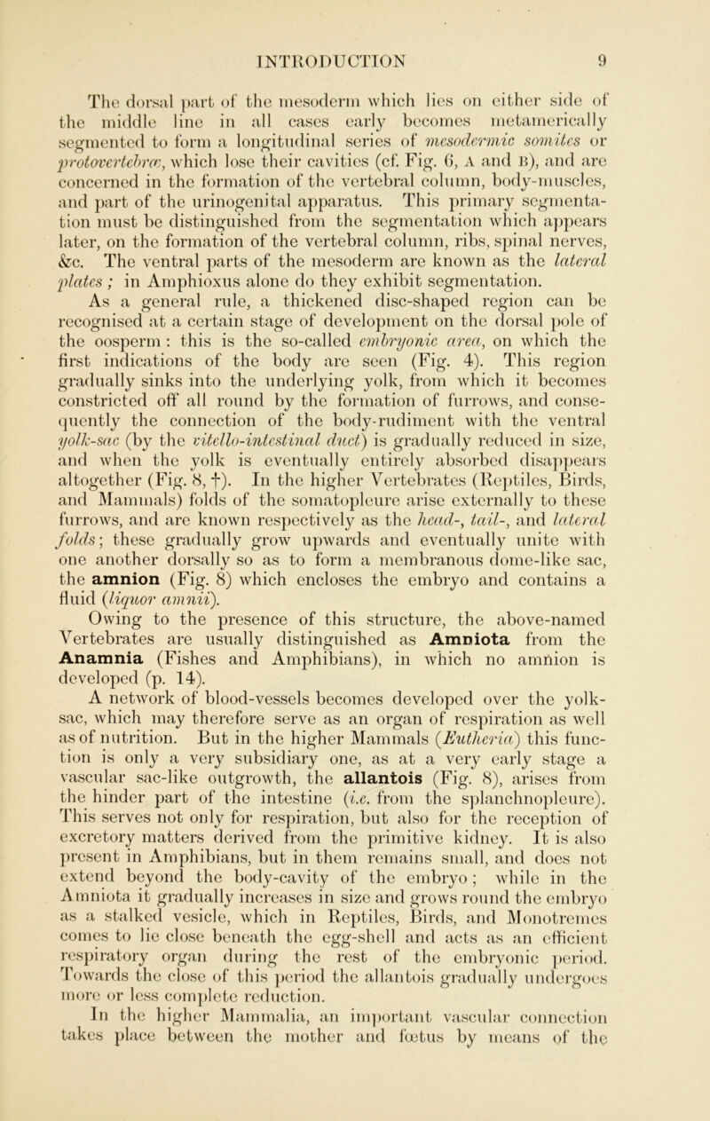 The dorsal part of the mesoderm which lies on either side of the middle line in all cases early beeomes metamerically segmented to form a longitudinal series of mesodermic somitcs or ‘protovcrtdrrw, which lose their cavities (cf. Fig. 0, A and b), and are concerned in the formation of the vertebral column, body-muscles, and part of the urinogenital apparatus. This primary Segmenta- tion must be distinguished from the Segmentation which appears later, on the formation of the vertebral column, ribs, spinal nerves, &c. The ventral parts of the mesoderm are known as the lateral ylates ; in Amphioxus alone do they exhibit Segmentation. As a general rule, a thickened disc-shaped region can be recognised at a certain stage of development on the dorsal pole of the oosperm : this is the so-called embryonic area, on which the first indications of the body are seen (Fig. 4). This region gradually sinks into the underlying yolk, from which it beeomes constricted off all round by the formation of furrows, and conse- quently the connection of the body-rudiment with the ventral yolk-sac (by the vitello-intestinal duck) is gradually reduced in size, and when the yolk is eventual ly entircly absorbcd disappears altogether (Fig. 8, f). In the higher Yertebrates (Reptiles, Birds, and Mammals) folds of the somatopleure arise externally to these furrows, and are known respectively as the licad-, tail-, and lateral folds; these gradually grow upwards and eventually unite with one another dorsally so as to form a membranous dome-like sac, the amnion (Fig. 8) which encloses the embryo and contains a fluid (iliquor amnii). Owing to the presence of this structure, the above-named Yertebrates are usually distinguished as Amniota from the Anamnia (Fishes and Amphibians), in which no amnion is developed (p. 14). A network of blood-vessels beeomes developed over the yolk- sac, which may therefore serve as an organ of respiration as well asof nutrition. But in the higher Mammals (Eutlieria) this func- tion is only a very subsidiary one, as at a very early stage a vascular sac-like outgrowth, the allantois (Fig. 8), arises from the hinder part of the intestine (i.e. from the splanchnopleure). This serves not only for respiration, but also for the reception of exeretory matters derived from the primitive kidney. It is also present in Amphibians, but in them remains small, and does not extend beyond the body-cavity of the embryo; while in the Amniota it gradually increases in size and grows round the embryo as a stalked vesicle, which in Reptiles, Birds, and Monotremes comes to lie close beneath the egg-shell and acts as an efficient respiratory organ du ring the rest of the embryonic period. Towards the close of this period the allantois gradually undergoes more or less complete reduction. In the higher Mammalia, an important vascular connection takes place between the mother and foetus by means of the
