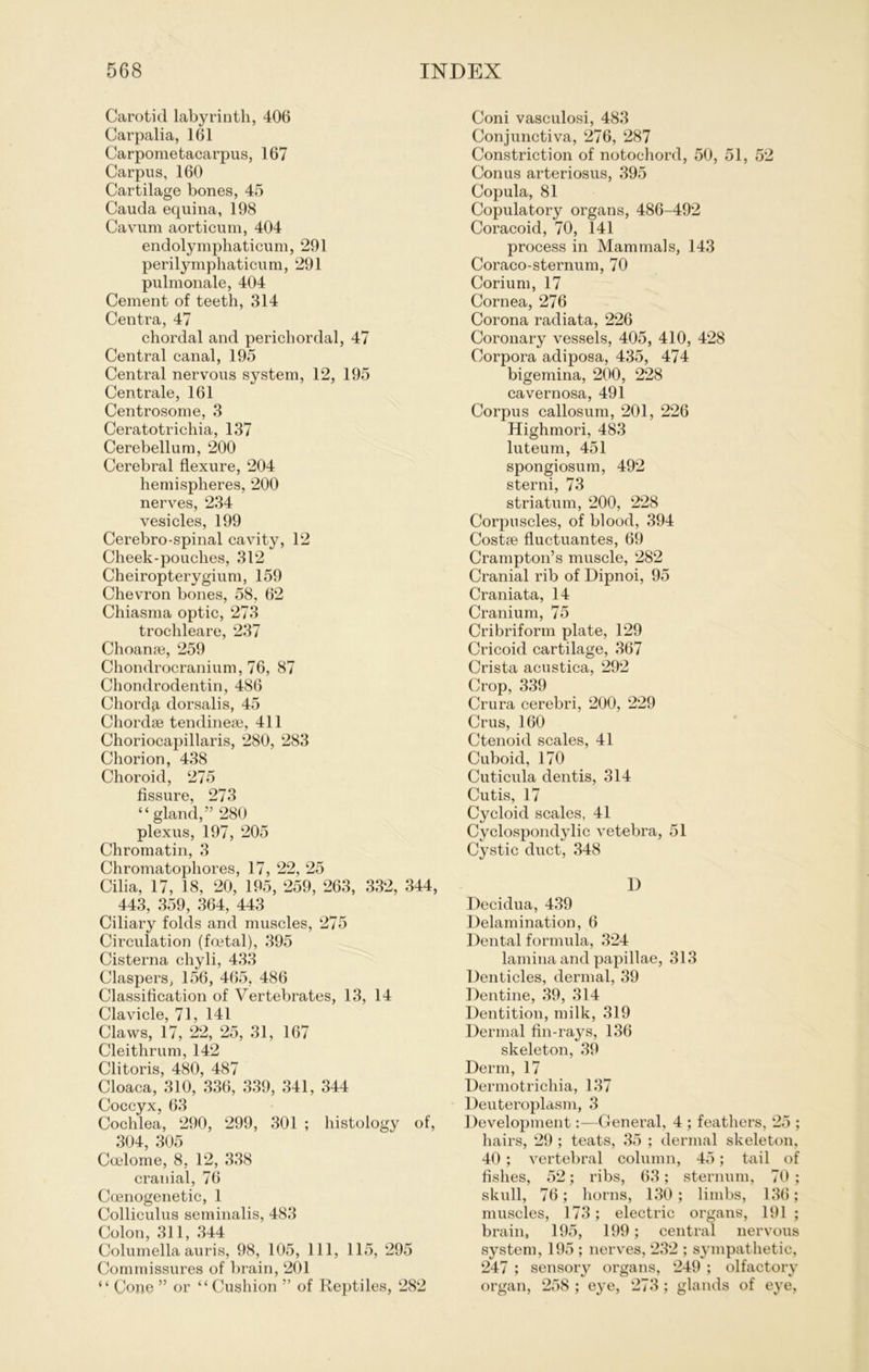 Carotid labyrinth, 406 Carpalia, 161 Carpometacarpus, 167 Carpus, 160 Cartilage bones, 45 Cauda equina, 198 Cavum aorticum, 404 endolymphaticum, 291 perilymphaticum, 291 pulmonale, 404 Cement of teeth, 314 Centra, 47 chordal and perichordal, 47 Central canal, 195 Central nervous System, 12, 195 Centrale, 161 Centrosome, 3 Ceratotrichia, 137 Cerebellum, 200 Cerebral flexure, 204 hemispheres, 200 nerves, 234 vesicles, 199 Cerebro-spinal cavity, 12 Cheek-pouches, 312 Cheiropterygium, 159 Chevron bones, 58, 62 Chiasma optic, 273 trochleare, 237 Choanm, 259 Chondrocranium, 76, 87 Chondrodentin, 486 Chorda dorsalis, 45 Chordse tendinese, 411 Choriocapillaris, 280, 283 Chorion, 438 Choroid, 275 fissure, 273 “ gland,” 280 plexus, 197, 205 Chromatin, 3 Chromatophores, 17, 22, 25 Cilia, 17, 18, 20, 195, 259, 263, 332, 344, 443, 359, 364, 443 Ciliary folds and muscles, 275 Circulation (foetal), 395 Cisterna chyli, 433 Claspers, 156, 465, 486 Classification of Vertebrates, 13, 14 Clavicle, 71, 141 Claws, 17, 22, 25, 31, 167 Cleithrum, 142 Clitoris, 480, 487 Cloaca, 310, 336, 339, 341, 344 Coceyx, 63 Cochlea, 290, 299, 301 ; histology of, 304, 305 Coelome, 8, 12, 338 cranial, 76 Coenogenetic, 1 Colliculus seminalis, 483 Colon, 311, 344 Columella auris, 98, 105, 111, 115, 295 Commissures of brain, 201 “ Cone ” or “ Cushion ” of Reptiles, 282 Coni vasculosi, 483 Conjunctiva, 276, 287 Constriction of notoehord, 50, 51, 52 Conus arteriosus, 395 Copula, 81 Copulatory organs, 486-492 Coracoid, 70, 141 process in Mammals, 143 Coraco-sternum, 70 Corium, 17 Cornea, 276 Corona radiata, 226 Coronary vessels, 405, 410, 428 Corpora adiposa, 435, 474 bigemina, 200, 228 cavernosa, 491 Corpus callosum, 201, 226 Highmori, 483 luteum, 451 spongiosum, 492 sterni, 73 striatum, 200, 228 Corpuscles, of blood, 394 Costse fluctuantes, 69 Crampton’s muscle, 282 Cranial rib of Dipnoi, 95 Craniata, 14 Cranium, 75 Cribriform plate, 129 Cricoid cartilage, 367 Crista acustica, 292 Crop, 339 Crura cerebri, 200, 229 Crus, 160 Ctenoid scales, 41 Cuboid, 170 Cuticula dentis, 314 Cutis, 17 Cycloid scales, 41 Cyclospondylic vetebra, 51 Cystic duct, 348 1) Decidua, 439 Delamination, 6 Dental formula, 324 lamina and papillae, 313 Denticles, dermal, 39 Dentine, 39, 314 Dentition, milk, 319 Dermal fin-rays, 136 skeleton, 39 Derm, 17 Dermotrichia, 137 Deuteroplasm, 3 Development:—General, 4 ; feathers, 25 ; hairs, 29 ; teats, 35 ; dermal skeleton, 40 ; vertebral column, 45; tail of fishes, 52; ribs, 63; Sternum, 70 ; skull, 76; horns, 130; limbs, 136; muscles, 173; electric organs, 191 ; brain, 195, 199; central nervous System, 195 ; nerves, 232 ; sympathetic, 247 ; sensory organs, 249 ; olfactory organ, 258 ; eye, 273; glands of eye,