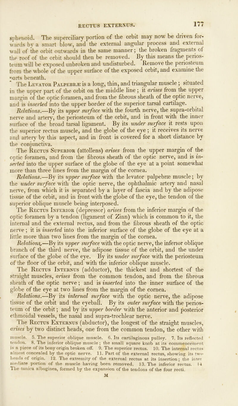 RECTUS EXTERNUS. sphenoid. The superciliary portion of the orbit may now be driven for- wards by a smart blow, and the external angular process and external wall of the orbit outwards in the same manner; the broken fragments of the roof of the orbit should then be removed. By this means the perios- teum will be exposed unbroken and undisturbed. Remove the periosteum from the whole of the upper surface of the exposed orbit, and examine the parts beneath. The Levator Palpebr^: is a long, thin, and triangular muscle ; situated in the upper part of the orbit on the middle line; it arises from the upper margin of the optic foramen, and from the fibrous sheath of the optic nerve, and is inserted into the upper border of the superior tarsal cartilage. Relations.—By its upper surface with the fourth nerve, the supra-orbital nerve and artery, the periosteum of the orbit, and in front with the inner surface of the broad tarsal ligament. By its under surface it rests upon the superior rectus muscle, and the globe of the eye; it receives its nerve and artery by this aspect, and in front is covered* for a short distance by the conjunctiva. The Rectus Superior (attollens) arises from the upper margin of the optic foramen, and from the fibrous sheath of the optic nerve, and is in- serted into the upper surface of the globe of the eye at a point somewhat more than three lines from the margin of the cornea. Relations.—By its upper surface with the levator palpebrae muscle; by the under surface with the optic nerve, the ophthalmic artery and nasal nerve, from which it is separated by a layer of fascia and by the adipose tissue of the orbit, and in front with the globe of the eye, the tendon of the superior oblique muscle being interposed. The Rectus Inferior (depressor) arises from the inferior margin of the optic foramen by a tendon (ligament of Zinn) which is common to it, the internal and the external rectus, and from the fibrous sheath of the optic nerve; it is wserted into the inferior surface of the globe of the eye at a little more than two lines from the margin of the cornea. Relations,.—By its upper surface with the optic nerve, the inferior oblique branch of the third nerve, the adipose tissue of the orbit, and the under surface of the globe of the eye. By its under surface with the periosteum of the floor of the orbit, and with the inferior oblique muscle. The Rectus Internus (adductor), the thickest and shortest of the straight muscles, arises from the common tendon, and from the fibrous sheath of the optic nerve; and is inserted into the inner surface of the globe of the eye at two lines from the margin of the cornea. Relations.—By its internal surface with the optic nerve, the adipose tissue of the orbit and the eyeball. By its outer surface with the perios- teum of the orbit; and by its upper border with the anterior and posterior ethmoidal vessels, the nasal and supra-trochlear nerve. The Rectus Externus (abductor), the longest of the straight muscles, arises by two distinct heads, one from the common tendon, the other with muscle. 5. The superior oblique muscle. 6. Its cartilaginous pulley. 7. Its reflected tendon. 8. The inferior oblique muscle ; the small square knob at its commencement is a piece of its bony origin broken off. 9. The superior rectus. 10. The internal rectus almost concealed by the optic nerve. 11. Part of the external rectus, showing its two heads of origin. 12. The extremity of the external rectus at its insertion; the inter mediate portion of the muscle having been removed. 13. The inferior rectus. ! 4 The tunica albuginea, formed by the expansion of the tendons of the four recti. M
