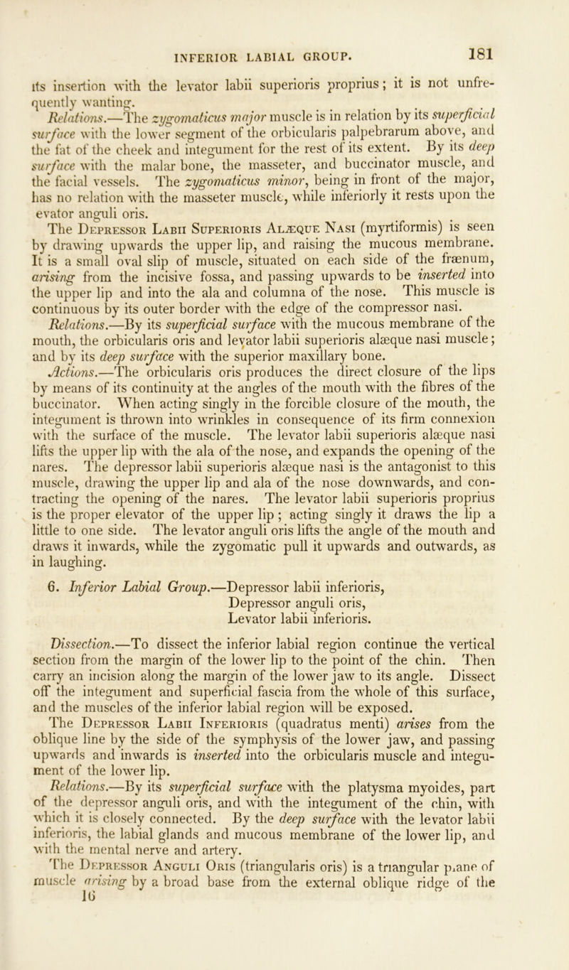 its insertion with the levator labii superioris proprius; it is not unfre- quently wanting. Relations.—The zygomaticus major muscle is in relation by its superficial surface with the lower segment of the orbicularis palpebrarum above, and the fat of the cheek and integument for the rest of its extent. By its deep surface with the malar bone, the masseter, and buccinator muscle, and the facial vessels. The zygomaticus minor, being in front of the major, lias no relation with the masseter muscle, while interiorly it rests upon the evator anguli oris. The Depressor Labii Superioris Alaeque Nasi (myrtiformis) is seen by drawing upwards the upper lip, and raising the mucous membrane. It is a small oval slip of muscle, situated on each side of the fraenum, arising from the incisive fossa, and passing upwards to be inserted into the upper lip and into the ala and columna of the nose. This muscle is continuous by its outer border with the edge of the compressor nasi. Relations.—By its superficial surface with the mucous membrane of the mouth, the orbicularis oris and levator labii superioris alaeque nasi muscle; and by its deep surface with the superior maxillary bone. Actions.—The orbicularis oris produces the direct closure of the lips by means of its continuity at the angles of the mouth with the fibres of the buccinator. When acting singly in the forcible closure of the mouth, the integument is thrown into wrinkles in consequence of its firm connexion with the surface of the muscle. The levator labii superioris alaeque nasi lifts the upper lip with the ala of the nose, and expands the opening of the nares. The depressor labii superioris alaeque nasi is the antagonist to this muscle, drawing the upper lip and ala of the nose downwards, and con- tracting the opening of the nares. The levator labii superioris proprius is the proper elevator of the upper lip; acting singly it draws the lip a little to one side. The levator anguli oris lifts the angle of the mouth and draws it inwards, while the zygomatic pull it upwards and outwards, as in laughing. 6. Inferior Labial Group.—Depressor labii inferioris, Depressor anguli oris, Levator labii inferioris. Dissection.—To dissect the inferior labial region continue the vertical section from the margin of the lower lip to the point of the chin. Then carry an incision along the margin of the lower jaw to its angle. Dissect off the integument and superficial fascia from the whole of this surface, and the muscles of the inferior labial region will be exposed. The Depressor Labii Inferioris (quadratus menti) arises from the oblique line by the side of the symphysis of the lower jaw, and passing upwards and inwards is inserted into the orbicularis muscle and integu- ment of the lower lip. Relations.—By its superficial surface with the platysma myoides, part of the depressor anguli oris, and with the integument of the chin, with which it is closely connected. By the deep surface with the levator labii inferioris, the labial glands and mucous membrane of the lower lip, and with the mental nerve and artery. The Depressor Anguli Oris (triangularis oris) is a triangular p^ane of muscle arising by a broad base from the external oblique ridge of the