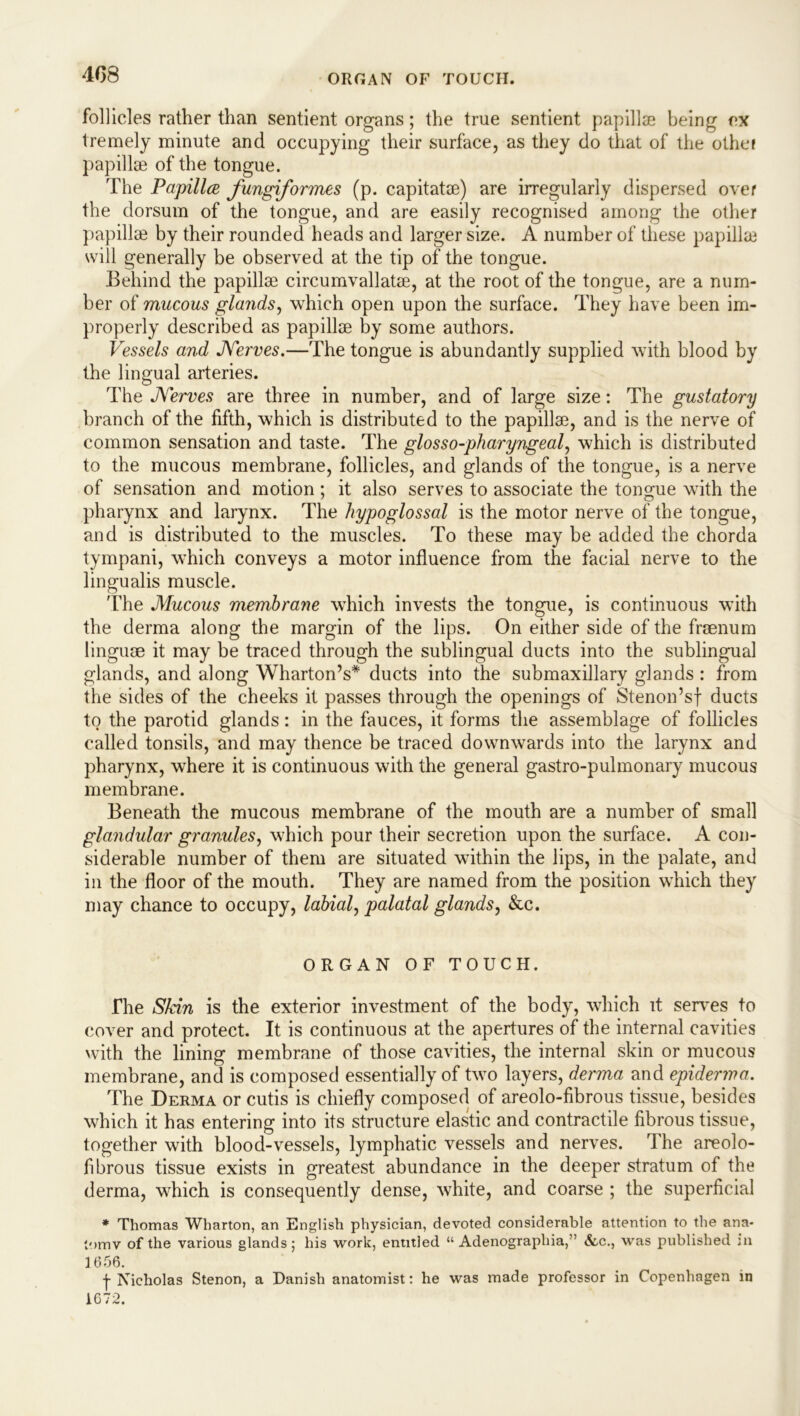 ORGAN OF TOUCH. follicles rather than sentient organs; the true sentient papillse being ex tremely minute and occupying their surface, as they do that of the other papillse of the tongue. The Papilla fungiformes (p. capitatse) are irregularly dispersed over the dorsum of the tongue, and are easily recognised among the other papillse by their rounded heads and larger size. A number of these papillse will generally be observed at the tip of the tongue. Behind the papillse circumvallatse, at the root of the tongue, are a num- ber of mucous glands, which open upon the surface. They have been im- properly described as papillae by some authors. Vessels and JVerves.—The tongue is abundantly supplied with blood by the lingual arteries. The JVerves are three in number, and of large size: The gustatory branch of the fifth, which is distributed to the papillse, and is the nerve of common sensation and taste. The glosso-pharyngeal, which is distributed to the mucous membrane, follicles, and glands of the tongue, is a nerve of sensation and motion ; it also serves to associate the tongue with the pharynx and larynx. The hypoglossal is the motor nerve of the tongue, and is distributed to the muscles. To these may be added the chorda tympani, which conveys a motor influence from the facial nerve to the lingualis muscle. The Mucous membrane which invests the tongue, is continuous with the derma along the margin of the lips. On either side of the frsenum linguae it may be traced through the sublingual ducts into the sublingual glands, and along Wharton’s* ducts into the submaxillary glands : from the sides of the cheeks it passes through the openings of Stenon’sf ducts to the parotid glands: in the fauces, it forms the assemblage of follicles called tonsils, and may thence be traced downwards into the larynx and pharynx, where it is continuous with the general gastro-pulmonary mucous membrane. Beneath the mucous membrane of the mouth are a number of small glandular granules, which pour their secretion upon the surface. A con- siderable number of them are situated within the lips, in the palate, and in the floor of the mouth. They are named from the position which they may chance to occupy, labial, palatal glands, &c. ORGAN OF TOUCH. The Skin is the exterior investment of the body, which it serves to cover and protect. It is continuous at the apertures of the internal cavities with the lining membrane of those cavities, the internal skin or mucous membrane, and is composed essentially of two layers, derma and epiderma. The Derma or cutis is chiefly composed of areolo-fibrous tissue, besides which it has entering into its structure elastic and contractile fibrous tissue, together with blood-vessels, lymphatic vessels and nerves. The areolo- fibrous tissue exists in greatest abundance in the deeper stratum of the derma, which is consequently dense, white, and coarse ; the superficial * Thomas Wharton, an English physician, devoted considerable attention to the ana- tomy of the various glands ; his work, entitled “ Adenographia,” &.C., was published in 3 656. f Nicholas Stenon, a Danish anatomist: he was made professor in Copenhagen in 1672.