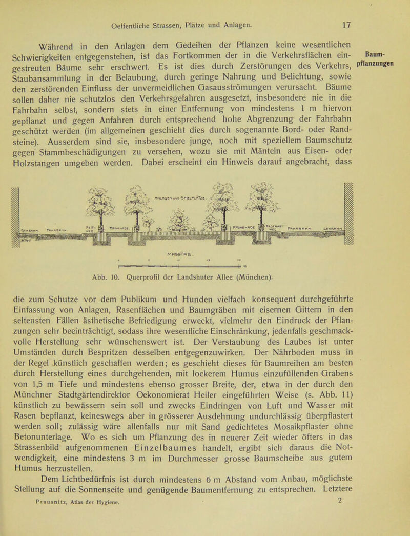 Während in den Anlagen dem Gedeihen der Pflanzen keine wesentlichen Schwierigkeiten entgegenstehen, ist das Fortkommen der in die Verkehrsflächen ein- gestreuten Bäume sehr erschwert. Es ist dies durch Zerstörungen des Verkehrs, Staubansammlung in der Belaubung, durch geringe Nahrung und Belichtung, sowie den zerstörenden Einfluss der unvermeidlichen Gasausströmungen verursacht. Bäume sollen daher nie schutzlos den Verkehrsgefahren ausgesetzt, insbesondere nie in die Fahrbahn selbst, sondern stets in einer Entfernung von mindestens 1 m hiervon gepflanzt und gegen Anfahren durch entsprechend hohe Abgrenzung der Fahrbahn geschützt werden (im allgemeinen geschieht dies durch sogenannte Bord- oder Rand- steine). Ausserdem sind sie, insbesondere junge, noch mit speziellem Baumschutz gegen Stammbeschädigungen zu versehen, wozu sie mit Mänteln aus Eisen- oder Flolzstangen umgeben werden. Dabei erscheint ein Hinweis darauf angebracht, dass i <1 4* JC I t - ' ' ■  Abb. 10. Querprofil der Landshuter Allee (München). die zum Schutze vor dem Publikum und Hunden vielfach konsequent durchgeführte Einfassung von Anlagen, Rasenflächen und Baumgräben mit eisernen Gittern in den seltensten Fällen ästhetische Befriedigung erweckt, vielmehr den Eindruck der Pflan- zungen sehr beeinträchtigt, sodass ihre wesentliche Einschränkung, jedenfalls geschmack- volle Herstellung sehr wünschenswert ist. Der Verstaubung des Laubes ist unter Umständen durch Bespritzen desselben entgegenzuwirken. Der Nährboden muss in der Regel .künstlich geschaffen werden; es geschieht dieses für Baumreihen am besten durch Herstellung eines durchgehenden, mit lockerem Humus einzufüllenden Grabens von 1,5 m Tiefe und mindestens ebenso grosser Breite, der, etwa in der durch den Münchner Stadtgärtendirektor Oekonomierat Heiler eingeführten Weise (s. Abb. 11) künstlich zu bewässern sein soll und zwecks Eindringen von Luft und Wasser mit Rasen bepflanzt, keineswegs aber in grösserer Ausdehnung undurchlässig überpflastert werden soll; zulässig wäre allenfalls nur mit Sand gedichtetes Mosaikpflaster ohne Betonunterlage. Wo es sich um Pflanzung des in neuerer Zeit wieder öfters in das Strassenbild aufgenommenen Einzelbaumes handelt, ergibt sich daraus die Not- wendigkeit, eine mindestens 3 m im Durchmesser grosse Baumscheibe aus gutem Humus herzustellen. Dem Lichtbedürfnis ist durch mindestens 6 m Abstand vom Anbau, möglichste Stellung auf die Sonnenseite und genügende Baumentfernung zu entsprechen. Letztere Prausnitz, Atlas der Hygiene. 2 Baum- pflanzungen