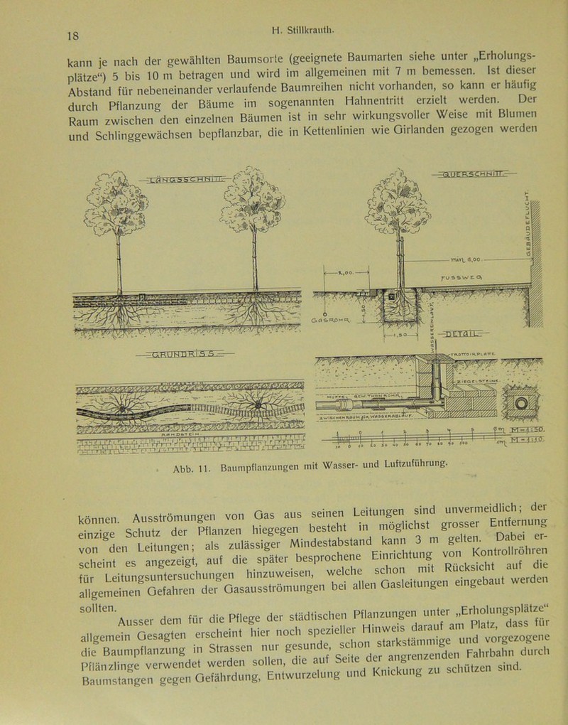 kann je nach der gewählten Baumsorte (geeignete Baumarten siehe unter „Erholungs- plätze“) 5 bis 10 m betragen und wird im allgemeinen mit 7 m bemessen. Ist dieser Abstand für nebeneinander verlaufende Baumreihen nicht vorhanden, so kann er häufig durch Pflanzung der Bäume im sogenannten Hahnentritt erzielt werden. Der Raum zwischen'den einzelnen Bäumen ist in sehr wirkungsvoller We.se m.t Blumen und Schlinggewächsen bepflanzbar, die in Kettenlinien wie Girlanden gezogen werden Abb. 11. Baumpflanzungen mit Wasser- und Luftzuführung. Xi 51 2. “ r“X S— Kon.^o,,™ S0len Ausser dem für die Pflege der slädfisclren Pflanzungen unter ^“^'frar allgemein Gesagten erscheint „ier noch die Baumpflanzung in Strassen nur g«un . angrenzenden Fahrbahn durch Pflänzlinge verwendet werden sollen, die auf Sette der^grenze, Baumstangen gegen Gefährdung, Entwurzelung und Knickung zu