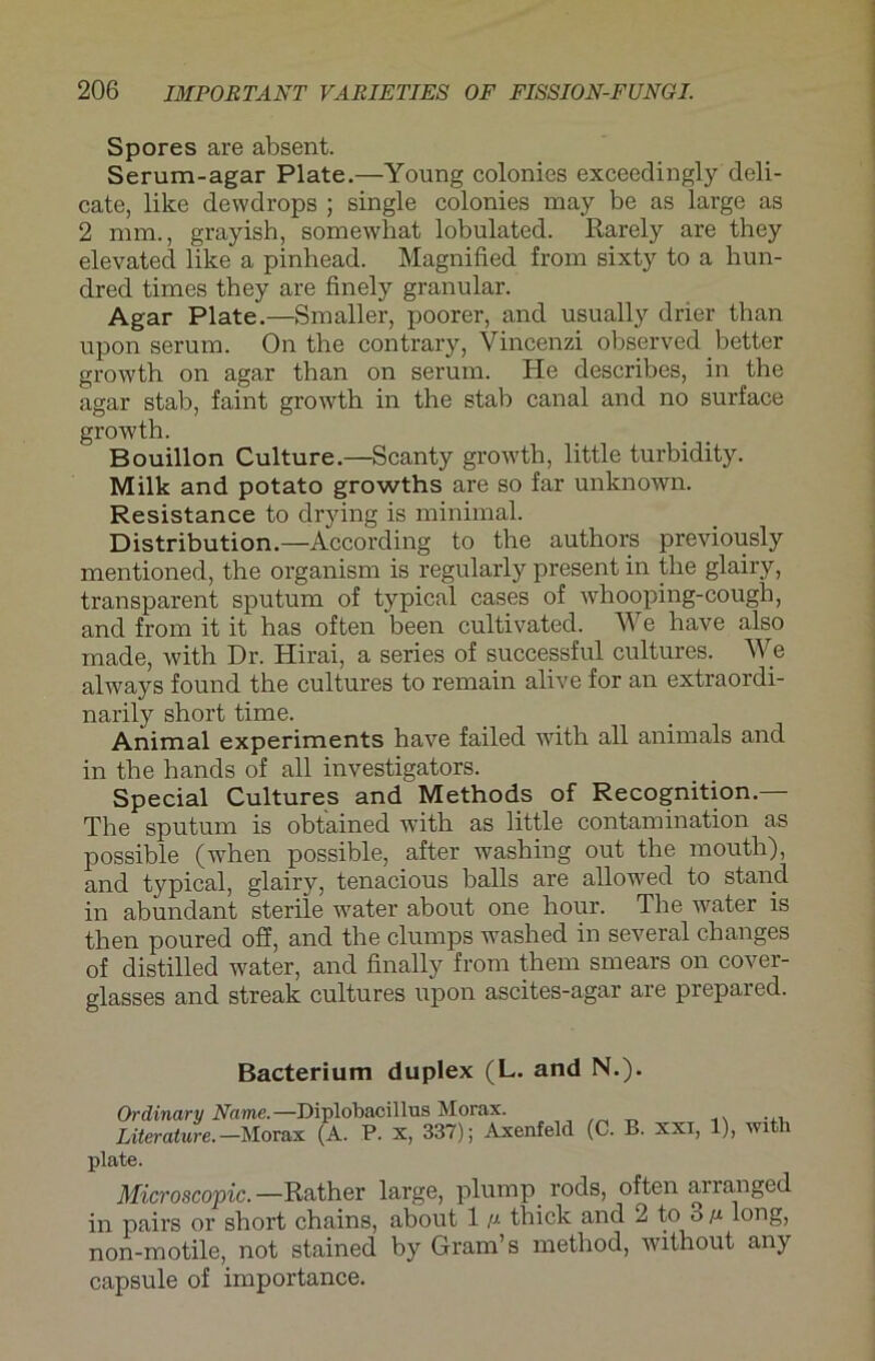 Spores are absent. Serum-agar Plate.—Young colonies exceedingly deli- cate, like dewdrops ; single colonies may be as large as 2 mm., grayish, somewhat lobulated. Rarely are they elevated like a pinhead. Magnified from sixty to a hun- dred times they are finely granulär. Agar Plate.—Smaller, poorer, and usually drier than upon serum. On the contrary, Vincenzi observed better growth on agar than on serum. He describes, in the agar stab, faint growth in the stab canal and no surface growth. Bouillon Culture.—Scanty growth, little turbidity. Milk and potato growths are so far unknown. Resistance to drying is minimal. Distribution.—According to the authors previously mentioned, the organism is regularly present in tlie glairy, transparent sputum of typical cases of whooping-cough, and from it it has often been cultivated. We have also made, with Dr. Hirai, a series of successful cultures. He always found the cultures to remain alive for an extraordi- narily short time. Animal experiments have failed with all animals and in the hands of all investigators. Special Cultures and Methods of Recognition.— The sputum is obtained with as little contamination as possible (when possible, after washing out the mouth), and typical, glairy, tenacious balls are allowed to stand in abundant sterile water about one hour. Tbe water is then poured off, and the clumps washed in several changes of distilled water, and finally from them smears on cover- glasses and streak cultures upon ascites-agar are prepared. Bacterium duplex (L. and N.). Ordinärv Name.—Diplobacillus Morax. Literature.—Morax (A. P. x, 337); Axenfeld (C. B. xxi, 1), with plate. Microscopic.—Rather large, plump rods, often ananged in pairs or short chains, about 1 ß thick and 2 to 3 ß long, non-motile, not stained by Gram’s method, without any capsule of importance.