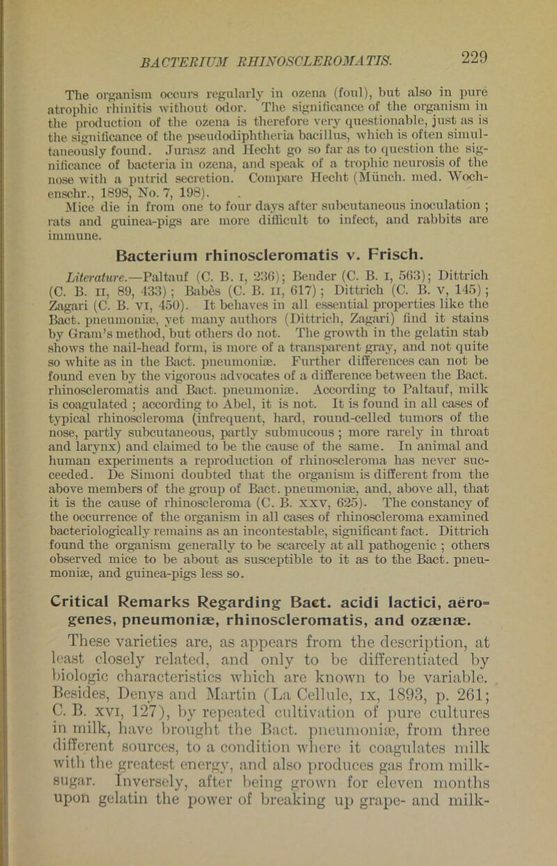 BACTERIUM RHINOSCLER OMA TIS. The organism occurs regularly in ozena (fonl), but also in pure atropliic rhinitis without odor. The significance of the organism in the production of tlie ozena is therefore very qnestionable, just as is the significance of the pseudodiphtheria bacillns, which is often simul- taneously found. Jurasz and Hecht go so far as to question the sig- nificance of bacteria in ozena, and speak of a trophic neurosis of the nose witli a putrid secretion. Compare Hecht (Münch, med. Woch- enschr., 1898, No. 7, 198). Mice die in from one to four days after subcutaneous inoculation ; rats and guinea-pigs are more difiicult to infect, and rabbits are immune. Bacterium rhinoscleromatis v. Frisch. Literature.—Paltauf (C. B. I, 236); Bender (C. B. I, 563); Dittrich (C. B. n, 89, 433); Babüs (C. B. n, 617); Dittrich (C. B. v, 145); Zagai'i (C. B. VI, 450). It behaves in all essential properties like the Bact. pneumoniae, yet many authors (Dittrich, Zagari) find it stains by Gram’s method, but others do not. The growth in the gelatin stab shows the nail-head form, is more of a transparent gray, and not quite so white as in the Bact. pneumoniae. Further diflerences can not be found even by the vigorous advocates of a difference between the Bact. rhinoscleromatis and Bact. pneumoniae. According to Paltauf, milk is coagulated ; according to Abel, it is not. It is found in all cases of typical rhinoscleroma (infrequent, hard, round-celled tumors of the nose, partly subcutaneous, partly submucous; more rarely in throat and larynx) and claimed to be the cause of the same. In animal and human experiinents a reproduction of rhinoscleroma has never suc- ceeded. De Simoni doubted that the organism is different from the above members of the group of Bact. pneumoniae, and, above all, that it is the cause of rhinoscleroma (C. B. XXV, 625). The constancy of the occurrence of the organism in all cases of rhinoscleroma examined bacteriologically remains as an incontestable, significant fact. Dittrich found the organism general ly to be scarcely at all pathogenic ; others observed mice to be about as susceptible to it as to the Bact. pneu- moniae, and guinea-pigs less so. Critical Remarks Regarding Bact. acidi lactici, aero= genes, pneumoniae, rhinoscleromatis, and ozaenae. These varieties are, as appears from the clescription, at least closely related, and only to be differentiated by biologic cbaracteristics which are known to be variable. Besides, Denys and Martin (La Cellule, ix, 1893, p. 261; C. B. xvi, 127), by repeated cultivation of pure cultures in milk, have brougbt the Bact. pneumoniae, from three different sources, to a condition where it coagulates milk with the greatest energy, and also produces gas from rnilk- sugar. Inversely, after being grown for eleven months upon gelatin the povver of breaking up grape- and milk-