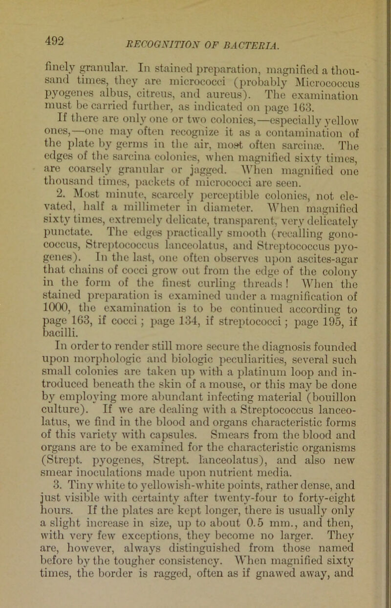 finc'ly granulär. In stained preparation, magnified a thou- sand times, they are micrococci (probably Micrococcus pyogenes albus, citreus, and aureus). The examination must be carried further, as indicated on page 163. If there are only one or two colonies,—especially yellow ones,—one may often recognize it as a contamination of thc plate by germs in tlie air, most often sarcinae. The edges of tlie sarcina colonies, when magnified sixty times, are coarsely granulär or jagged. When magnified one thousand times, packets of micrococci are seen. 2. Most minute, scarcely perceptible colonies, not ele- vated, half a millimeter in diameter. When magnified sixty times, extremely delicate, transparent, very delicately punctate. The edges practically smooth (reca'lling gono- coccus, Streptococcus lanceolatus, and Streptococcus pyo- genes). In tlie last, one often observes upon ascites-agar that chains of cocci grow out from the edge of the colouy in the form of the finest curling threads ! When the stained preparation is examined under a magnification of 1000, the examination is to be continued according to page 163, if cocci; page 134, if Streptococci; page 195, if bacilli. In order to render still more secure the diagnosis founded upon morphologic and biologic peculiarities, several such small colonies are taken up with a platinum loop and in- troduced beneath the skin of a mouse, or this may be done by emploving more abundant infecting material (bouillon culture). If we are dealing with a Streptococcus lanceo- latus, we find in the blood and Organs characteristic forms of this variety with capsules. Smears from the blood and organs are to be examined for the characteristic organisms (Strept. pyogenes, Strept. lanceolatus), and also new smear inoculations made upon nutrient media. 3. Tiny white to yellowish-white points, rather dense, and just visible with certainty after twenty-four to forty-eight hours. If the plates are kept longer, there is usually only a slight increase in size, up to about 0.5 mm., and then, with very few exceptions, they become no larger. They are, however, always distinguishcd from those named before by the tougher consistency. When magnified sixty times, the border is ragged, often as if gnawed away, and