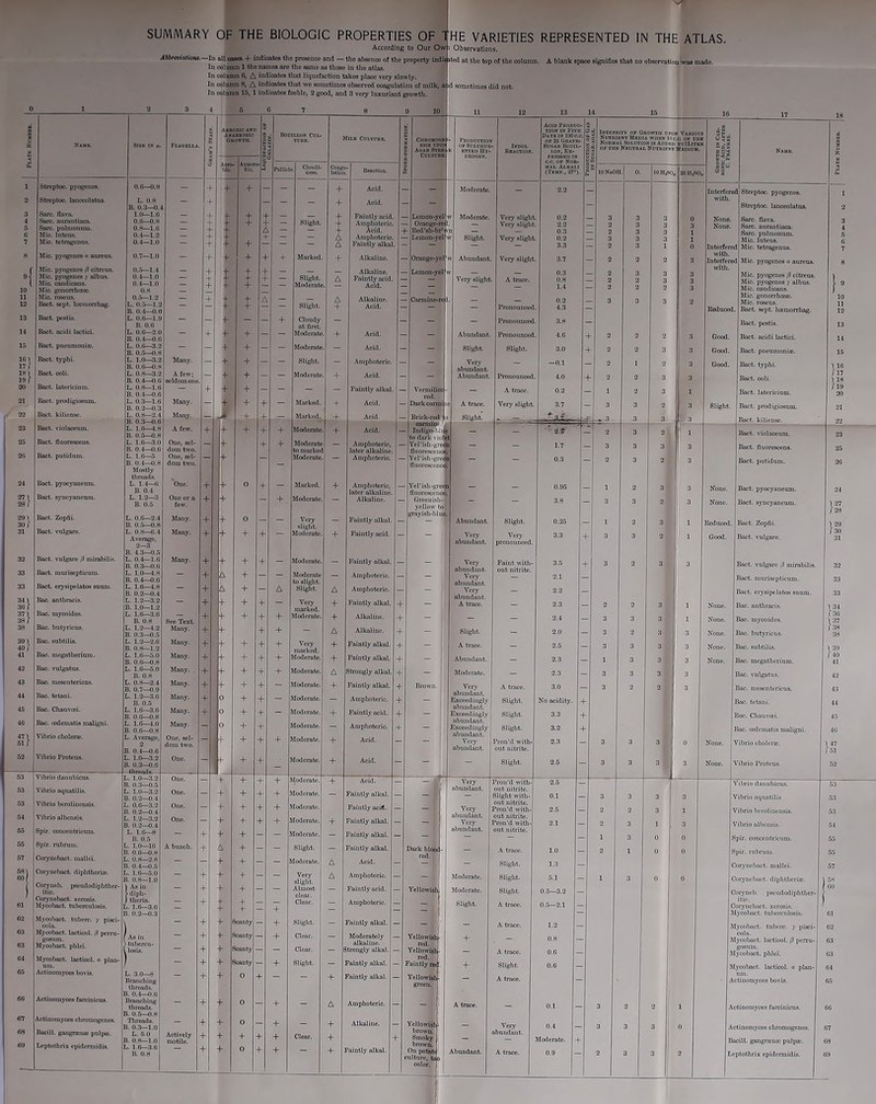 SUMMARY OF THE BIOLOGIC PROPERTIES OF According to Our Ow i Abbrevinlions.—In all oases 4- indicates tho presence nnd — tlie absonoo of tlie property indii il In column 1 tho nanies nro tho samo ns thoso in tho atlns. In column 6, A indioatos timt liquofootion takes plnco vory slowly. In column 8, A indicatcs that wo soinotimcs observed coagulation of milk, a ul somctimes did not In column 15, 1 iudiootes fooblo, 2 good, nnd 3 very luxnrinnt growth. HE VARIETIES Observations. itcd at tho top of tlie column. REPRESENTED IN THE ATLAS. A blnnk spnce signifies that no Observation was rnade. 0 1 2 3 4 5 7 8 9 10 11 12 13 14 15 16 Am AN Ob nie ANI KHODIO OWTII. tj. Acid Produo- 3 _ X a X M Name. SlZE IN *1. I'laqrlla | i Bouillon Cul- Milk Coltorb. * ClIROMOOR 2 A<r.ä!2S I’nODUOTION OFSULPIIUR K KTTKI» IIV- Indol ItBACTION. TION IN I’IVlt Dars in lOOac. OK 2jf GllAPE- SUOAR BOUIL- i INTRNSITY OK GllOWTII UPON VaBIO § c Nutrient Mkdia wiikn I0c,a OK TI K ■? Normal Solution isAddkd toILite 2 5 ok tiik Neutral Nutrient Medium E Name. < a lilo. •■1 gw -*S- -3 Pollic Clomll- sas IlcaclioD. I mal Alkali (Tkmp., 37°). §2 £ 10 NaO il. 0. 10 HjSO . 20II.SC , °r 1 Streptoc. pyogenes. 0.6—0.8 - + 4- 4- - - 4- Acid. - Moderate. - 2.2 — Interfer d Streptoc. pyogenes. 2 Streptoo. lauoeolatns. L. 0.8 B. 0.3—0.4 + - 4- Aoid. - - witli. Streptoc. lanceolatus. 3 4 5 6 7 Sare. flava. Sans, aurnntiaca. Saro. pulmonum. Mio. luteus. Mio. tetragenus. 1.0—1.6 0.6—0.8 0.8—1.6 0.4—1.2 0.4—1.0 — + + 4- + + 4- 4- + 4- 4- 4- 4- 4- 4- 4- A + Sligbt. 4- 4- 4* A A Faintly ncid. Amphoterio. Acid. Amphoterio. Faintly nlkal. — Lcmon-yel + Rcd’ah-br’ — Lemon-ycl w Moderate. „ = w Slight. Very slight Very slight Very slight 0.2 2.2 0.3 0.2 3.3 — 3 — 2 — 3 — 2 3 3 3 3 3 3 3 3 3 1 0 3 1 1 0 None. None. Iuterfere Sarc. flava. Sarc. aurantinca. Sarc. pulmonum. Mic. luteus. d Mic. tetragenus. 8 Mio. pyogenes o aureus. 0.7—1.0 - + 4- 4- 4- 4- Mnrked. 4- Alknlinc. — Ornnge-ycl w Abundant, Very slight 3.7 — 2 2 2 3 with. Interfere d Mic. pyogenes « aureus. »{ 10 11 Mio. pyogenes ß oitrens. Mic. pyogenes > albus. Mia caudicans. Mio. gonorrhcrca Mia roseus. 0.5—1.4 0.4—1.0 0.4—1.0 0.8 0.5—1.2 1 111 1 + + + 4- 4- 4- + 4- + 4- 4- 4- 4- A Sligbt. Moderate A A Alkali ne. Faintly ncid. Acid. — Lemou-yel w — Very slight A trace. 0.3 0.8 1.4 — 2 — 2 — 2 3 2 2 3 3 3 3 3 with. Mic. pyogenes ß oitrens. Mic. pyogenes > albus. Mic. candicans. Mic. gonorrheese. Mic. roseus. Bact. sept. luemorrhag. Bnct, sept. hiomorrhag. L. 0.5—1.2 B. 0.4—0.0 — 4- 4- — Sligbt. 4- Acid. Pronounoed 4.3 Reducet 13 Bact. pestis. L. 0.6—1.9 B. 0.6 — + — - 4- Cloudy - - Pronounced 3.8 - Bact, pestis. 14 Bact. acidi lactici. L. 0.6—2.0 B. 0.4—0.6 — + 4- 4- - — Moderate 4- Acid. - - Abundant. Pronounced 4.6 4- 2 2 2 ! 3 Good. Bact. acidi lactici. 15 Bact. pneumoniw. L. 0.6—3.2 B. 0.5—0.8 - + 4- ~ - Moderato - Acid. - Slight. Slight. 3.0 4- 2 2 3 3 Good. Bact. pnenmoniic. 15} Bact. typhi. Bact coli. L. 1.0—3.2 B. 0.6—0.8 L. 0.8—3.2 B. 0.4—0.6 Many. A few; seldom one — 4- 4- + 4- — — Sligbt, Moderate 4- Amphoterio. Acid. _ _ Very abundant. Abundant. Pronounced —0.1 4.0 4- 2 1 2 3 3 3 Good. Bact. typhi. Bact. coli. 20 Bact. latericium. L. 0.8—1.6 B. 0.4—0.6 — + 4- 4- ~ — - - Faintly nlkal. — Vermilioi - A trace. 0.2 — 1 2 3 1 Bact, latericinm. 21 Bact. prodigiosurn. L. 0.3—1.6 B. 0.2—0.3 Many. _ + 4- 4- - Marked. + Acid. — Dark carnii e A trace. Very slight. 3.7 — 3 3 2 3 Slight. Bact. prodigiosurn. 22 Bact. kiliense. L. 0.8—2.4 B. 0.3—0.6 L. 1.6—4.8 B. 0.5—0.8 Many. — J 4- 4- — Mark cd. + Acid. — Brick-red Slight. „ — • „/iU =£. -3 3 3 3 23 Bact. violaoeum. A few. + 4- 4- 4- 4- Moderate + Acid. •, - ' 2.? — 2 3 2 1 Bact. violaceum. 25 Baot. fluorescens. L. 1.0—3.0 B. 0.4—0.6 One, sel- dom two. ~ 4- 4- 4- Moderate to mnrked - Amphoterio, — Yel’ish-grei - 1.7 — 3 3 3 3 Bact. fluorescens. Bact. putidum. L. 1.6—5 B. 0.4—0.8 One, sel- dom two. 4- — Mod ernte — Amphoterio. — Yel’isli-grei fluoresccn« - - 0.3 - 2 3 2 3 Bact. putidum. Mostly threads. 24 Bact. pyocvaueuni. L. 1.4—6 B. 0.4 One. + 4- o 4- — Marked. 4- Amphoterio, — Yel’ish-gra ' - - 0.95 — 1 2 3 3 None. Bact. pyocyaneum. 271 28 r Bact. synoyaneum. B. 0.5 One or a few. + 4- — 4- Moderate. — Alkaline. — Greenish- yellow to - 3.8 - 3 3 2 3 None. Bact. syncyaneum. 291 30 1 Bact. Zopfii. L. 0.6—2.4 B. 0.5—0.8 Many. + 4- 0 - - Very - Faintly nlkal. gmyish-bluo — — Abundant. Slight. 0.25 - 1 2 3 1 Rednced. Bact. Zopfii. 31 Bact. vulgare. L. 0.8—6.4 Average, Many. + + 4- 4- ~ Moderate. 4- Faintly ncid. — i Very abundant. Very pronounced. 3.3 f 3 3 2 1 Good. Bact. vulgare. B. 4.3—0.5 32 33 33 Bact. vulgare ß mirabilis Bact. murisepticum. Bact. erysipelatos snum. L. 0.4—1.6 B. 0.3—0.6 L. 1.0—4.8 B. 0.4—0.6 L. 1.6—4.8 B. 0.2—0.4 Many. + + + 4- A A + 4- 4- 4- A Moderate. Moderate to sligbt, Sligbt. A Faintly alknl. Amphoterio. Amphoteric. - Very abundant. Very abundant. Very abundant. A trace. Faint with- out nitrite. 3.5 2.1 2.2 f 3 2 3 3 Bact. vulgare ß mirnbilis. Bact. murisepticum. Bact. erysipelntos snum. 341 36 f Bac. anthraois. L. 1.2—3.2 B. 1.0—1.2 — + 4- 4- 4- - Very 4- Faintly nlkal. - - 2.3 2 2 3 1 None. Bac. anthraois. 371 38 r Bac. mycoides. L. 1.6—3.6 B. 0.8 + +- 4- 4- 4- Moderate. 4- Alkaline. - - - 2.4 3 3 3 1 None. Bac. mycoides. 38 Bac. butyricus. L. 1.2—1.2 B. 0.3—0.5 Many. + 4- 4- 4- A Alkaline. — j Slight. - 2.0 3 2 3 3 None. Bac. bntyriens. 391 40 J Bac. subtilis. L. 1.2—2.6 B. 0.8—1.2 Many. + 4- 4- 4- 4- Very 4- Faintly alknl. — A trace. - 2.5 3 3 3 3 None. Bac. subtilis. 41 Bac. megntherium. L. 1.6—5.0 B. 0.6—0.8 Many. + 4- 4- 4- 4- Modenite. 4- Faintly nlkal. - Abundant. - 2.3 1 3 3 ' ;3 None. Bao. megntherium. 42 Bac. vulgatus. L. 1.6—5.0 Many. + 4- 4- 4- 4- Moderate. A Strongly nlkal. - Moderate. — 2.3 3 3 3 3 Bac. vulgatus. 43 Bac. mesenterioos. L. 0.8—2.4 Many. + 4- 4- 4- - Moderate. 4- Faintly nlkal. - Brown. Very A trace. 3.0 3 2 2 3 Bac. niesentericus. 44 Bac. tetani. L, 1.2—3.6 Many. + 0 4- 4- - Moderate. - Amphoteric. - Exocedinelv Slight. No acidity. Bac. tetani. 45 Bac. Chauvoei. L. 1.6—3.6 Many. + o 4- 4- - Moderate. 4- Faintly ncid. - abundant, Exceedingly Slight. 3.3 Bae. Chauvoei. 46 Bac. oedematis muligni. L. 1.6—1.0 B. 0.6—0.8 Many. 0 4- 4- Moderate. - Amphoteric. -f Exceedingly Slight. 3.2 -1 Bac. oedematis nialigni. 471 51 f Vibrio Cholera. L. Average, 2 B. 0.4—0.6 One, sel- dom two. ~ 1 4- 4- 4- Moderate. 4- Aoid. — Veiy abundant. Pron’d with- out nitrite. 2.3 3 3 3 Or J None. Vibrio cliolera. 52 Vibrio Proteus. L. 1.0—3.2 B. 0.3—0.6 One. 4- 4- Moderate. 4- Aoid. — - ! - Slight. 2.5 3 3 3 3 None. Vibrio Proteus. — ihreada. - 53 One. ~ 4- 4- 4- 4- Moderate. 4- Acid. — ■ _ i +“ Very Pron’d witli- 2.5 — 53 Vibrio aquatilis. ... 1.0—3.2 One. 4- 4- 4- 4- Moderate. - Faintly alknl. — — 1 abundant. out nitrite. Slight witli- 0.1 3 3 3 3 Vibrio aquatilis 53 Vibrio berolinensis. L. 0.6—3.2 One. - 4- 4- 4- 4- Moderate-. Faintly ncid. — — Very out nitrite. Pron’d witli- 2.5 - o o 3 1 54 Vibrio albensis. L. 1.2—3.2 One. - 4- 4- 4- 4- 4 oderate. 4- Faintly nlkal. — _ | abundant. Very out nitrite. Pron’d witli- 2.1 - o 3 1 3 55 Spir. concentricum. L. 1.6—8 B. 0.5 - + 4- 4- - Moderate. - Faintly nlkal. — - [ abundant. out nitrite. 1 3 0 0 Spir. concentricum. 55 Spir. rubrum. L. 1.0—16 A buneb. + A 4- - - Sligbt. - Faintly alknl. Dark bloo< - - A trace. 1.0 — 2 1 0 0 8pir. rubrum. 57 Corynebact. mal lei. L 0.8—2.8 3. 0.4—0.5 - 4- 4- - lodernte. A Acid. — 1 - Slight. 1.3 — Corynebact. mallei. 60 / Corynebact diphtherue. 1.6—5.0 B. 0.8—1.0 - + 4- 4- - - Very sligbt. Alinost A Amphoteric. — _ ( Moderate. Slight. 5.1 — 1 3 0 0 Corynebact. diphtheria:. Coryneb. pseudodiplitlier- itio. | As in i- diph- — + 4- 4- - - - Faintly ncid. — Yellowish, Moderate. Slight. 0.5—3.2 — Coryneb. psendodiphtlier- 61 Corynebact. xerosis. Mycobaot. tuberculosis. therin. L. 1.6—3.6 + 4- 4- - Clear. - Amphoteric. — _ I Slight. A trace. 0.5—2.1 — itie. Corynebact. xerosis. ■ : [ycobact. tuberculosis. Myeobaot. tuberc. y pisoi- cola. ~ + 4- scanty - 4- Sligbt. faintly alknl. — - A trace. 1.2 — lycobnet. tuberc. ) pisci- 63 Mycobaot. laoticol. ß perru- gosum. Mycobaot. phleT. As in tubercu- losis. _ + + 4- 4- Scnnty äconty 4- Clear. Clear. — Modern tely — alkaline. trongly nlkal. — Yellowislif red. Yellowish- 4- A trace. 0.8 — 0.6 — coln. [ycobact. Incticol. ß perru- gosum. Mycobact. laoticol. <i plan- - + 4- wanty 4- Sligbt. Faintly alknl. — Faintly re< 4- Slight. 0.6 — lycobaot. Incticol. a plan- 65 Actinomyces bovis. L. 3.0—8 Braiiohing threads. ~ + 4- 0 4- — - 4- faintly nlkal. — Yellowish. green. - A trace. - A um. ctiuomyces bovis. Actinomyces faroinicus. Brandung threads. + 4- 0 4- - A Amphoteric. — - r A trace. _ 0.1 — 3 2 2 1 A ctinomyoes fnroinious. «8 69 Actinomyces chromogenes. Bacill. gangncnu) pnliKc. Loptothrix cpidermidis. Threads. B. 0.3—1.0 L. 6.0 B. 0.8—1.0 1.6—3,6 B. 0.8 Actively motile. + + + 4- 4- 4- 0 4- O 4- + 4- 4- 4- Clear. 4- 4- 4- Alkaline. — 4* [faintly nlkal. Yellowish’ hrown. Smoky hrown. On potat< culture, tun Abundant. Very abundant. A trace. 0.4 — Moderate, -f 0.9 — 3 2 3 3 3 3 0 A B L ctinomyces chromogenes. will, gangranw pnlpte. eptothrix epidermidis. — eolor. | 18 3 54 55 55 57 5« GO 61 63 63 64 65