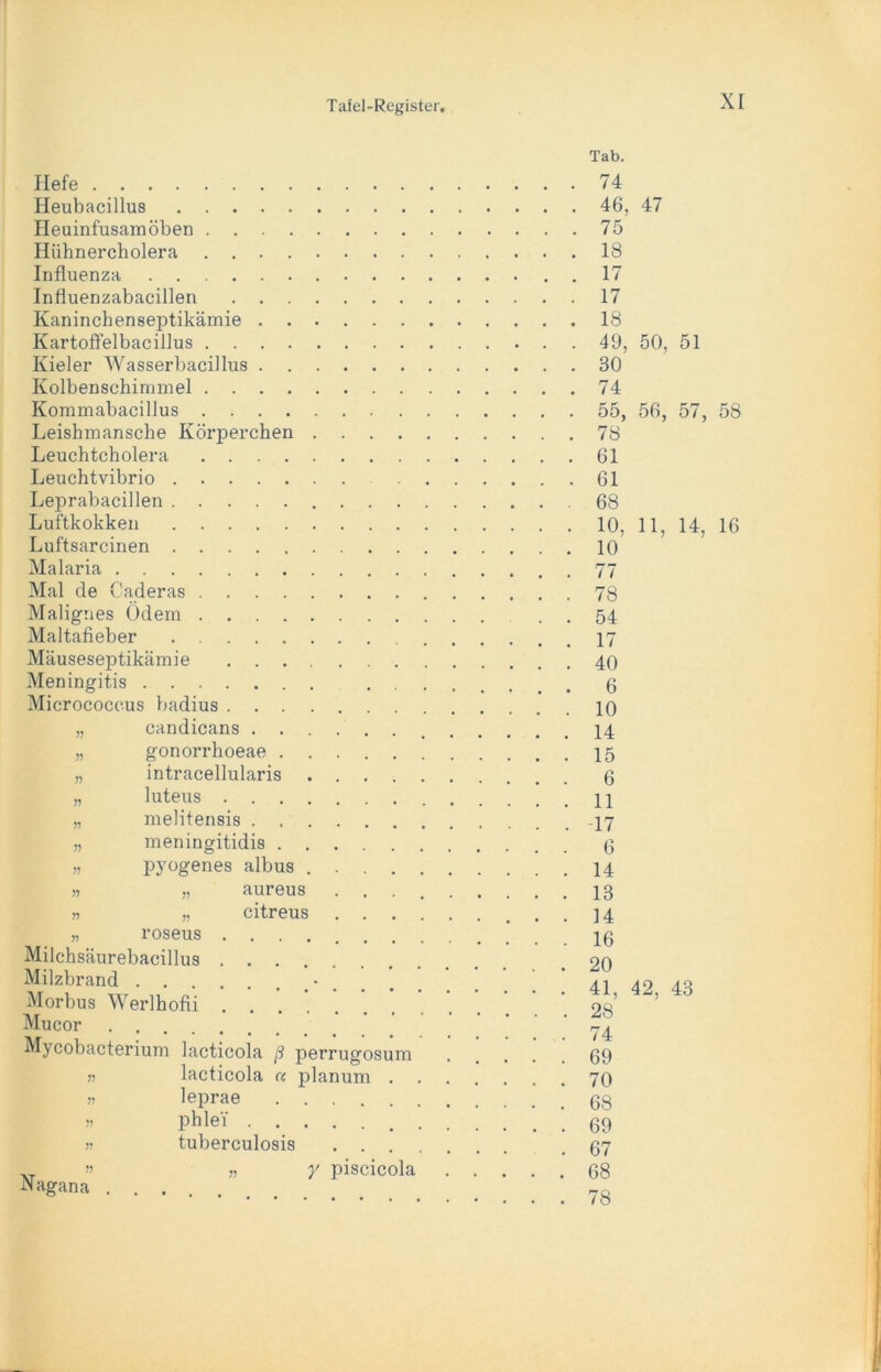 Hefe Heubacillus Heuinfusamöben .... Hühnercholera .... Influenza Influenzabacillen . . Kaninchenseptikämie . . Kartoffelbacillus .... Kieler Wasserbacillus . Kolbenschimmel .... Kommabacillus .... Leishmansche Körperchen . Leuchtcholera Leuchtvibrio Leprabacillen Luftkokken Luftsarcinen Malaria Mal de Caderas Malignes Ödem Maltafieber Mäuseseptikämie . . . . Meningitis Micrococcus badius . . . . „ candicans . . „ gonorrlioeae . . „ intracellularis „ luteus . . . . „ melitensis . . . n meningitidis . . „ pyogenes albus . » „ aureus n „ citreus „ roseus . . Milchsäurebacillus . . Milzbrand Morbus Werlhofii . . Mucor Mycobacterium lacticola ß perrugosum lacticola « planum . leprae phlei tuberculosis . . Nagana y piscicola Tab. 74 46, 47 75 18 17 17 18 49, 50, 51 30 74 55, 56, 57, 58 78 61 61 68 10, 11, 14, 16 10 77 78 54 17 40 6 10 14 15 6 11 17 6 14 13 14 16 20 41, 42, 43 28 74 69 70 68 69 67 68 78