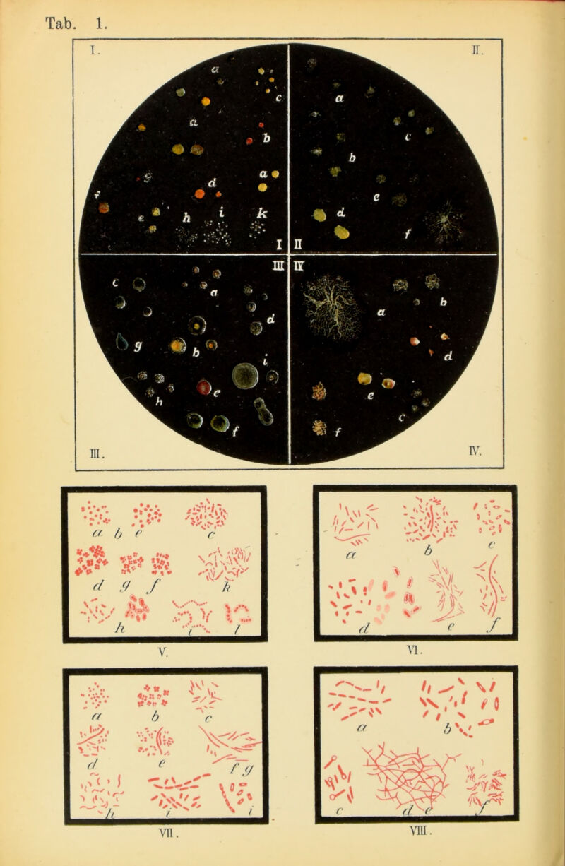 er h - N\ \/ i ö vm. h ff b *4^fe _ tr w* ft* va’ VI* 1* *M» fl ff f «\*\ ^ •«••• v t'' IV /*• A* I '( t .... A -/-••. f ■> I« — ♦ » „ »f »e * b £$? Vt> #• •»* *4 ^ -r /\ -* « V‘ VTl.