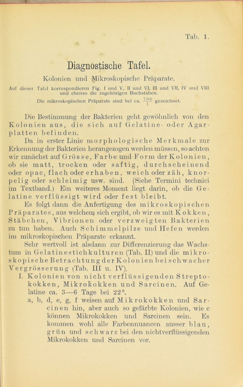 Diagnostische Tafel, Kolonien und Mikroskopische Präparate. Auf dieser Tafel korrespondieren Fig. I und V, II und VI, III und VII, IV und VIII und ebenso die zugehörigen Buchstaben. Die mikroskopischen Präparate sind bei ca. ' gezeichnet. Die Bestimmung der Bakterien geht gewöhnlich von den Kolonien aus, die sich auf Gelatine- oder Agar- platten befinden. Da in erster Linie morphologische Merkmale zur Erkennung der Bakterien herangezogen werden müssen, so achten wir zunächst auf Grösse, Farbe und Form der Kolonien, ob sie matt, trocken oder saftig, durchscheinend oder opac, flach oder erhaben, weich oder zäh, knor- pelig oder schleimig usw. sind. (Siehe Termini technici im Textband.) Ein weiteres Moment liegt darin, ob die Ge- latine verflüssigt wird oder fest bleibt. Es folgt dann die Anfertigung des mikroskopischen Präparates, aus welchen) sich ergibt, ob wir es mit Kokken , Stäbchen, Vibrionen oder verzweigten Bakterien zu tun haben. Auch Schimmelpilze und Hefen werden im mikroskopischen Präparate erkannt. Sehr wertvoll ist alsdann zur Differenzierung das Wachs- tum in G e 1 a t i n e s t i c li k u 11 u r e n (Tab. II) und die mikro- skopischeB et rachtungder Kolonien beischwacher Vergrösserung (Tab. III u. IV). I. Kolonien von nicht verf 1 üs sigenden Strepto- kokken, Mikrokokken und Sareinen. Auf Ge- latine ca. 3—6 Tage bei 22°. a, b, d, e, g, f weisen auf Mikrokokken und Sar- cinen hin, aber auch so gefärbte Kolonien, wie c können Mikrokokken und Sarcinen sein. Es kommen wohl alle Farbennuancen ausser blau, grün und schwarz bei den nichtverflüssigenden Mikrokokken und Sarcinen vor.