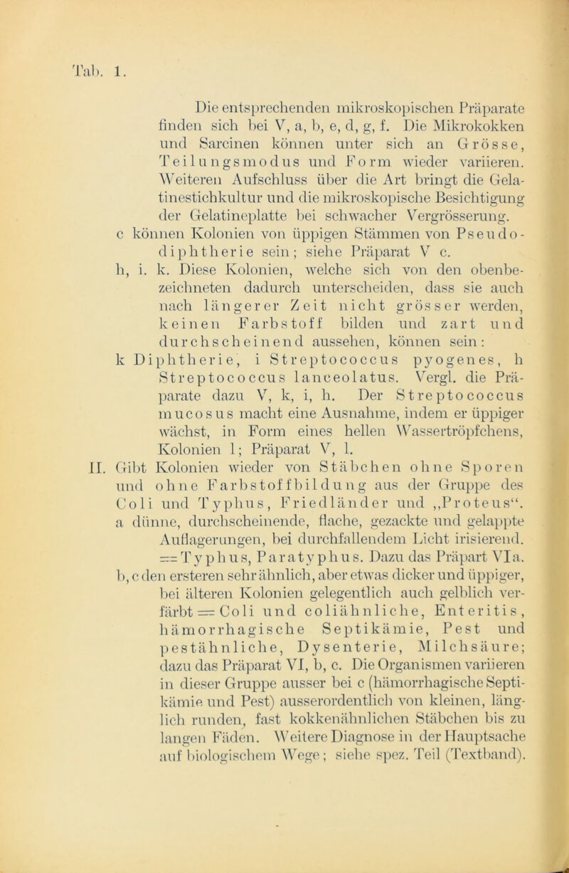 Die entsprechenden mikroskopischen Präparate finden sich bei V, a, b, e, d, g, f. Die Mikrokokken und Sarcinen können unter sich an Grösse, Teil u ngs modus und Fo rm wieder variieren. Weiteren Aufschluss über die Art bringt die Gela- tinestichkultur und die mikroskopische Besichtigung der Gelatineplatte bei schwacher Vergrösserung. c können Kolonien von üppigen Stämmen von Pseudo - d i p h th er i e sein ; siehe Präparat V c. h, i. k. Diese Kolonien, welche sich von den obenbe- zeichneten dadurch unterscheiden, dass sie auch nach längerer Zeit nicht grösser werden, keinen F a rb s t o f f bilden und zart u n d d u r c h s c h e i n e n d aussehen, können sein : k Diphtherie, i Streptococcus pyogenes, h Streptococcus lanceolatus. Vergl. die Prä- parate dazu V, k, i, h. Der Streptococcus mucosus macht eine Ausnahme, indem er üppiger wächst, in Form eines hellen Wassertröpfchens, Kolonien 1; Präparat V, 1. II. Gibt Kolonien wieder von Stäbchen ohne Sporen und ohne Farbstoff'bil d u ng aus der Gruppe des Coli und Typhus, Friedländer und „Proteus“, a dünne, durchscheinende, flache, gezackte und gelappte Auflagerungen, bei durchfallendem Licht irisierend. — Ty phus, Paratyphus. Dazu das Präpart Via. b, c den ersteren sehr ähnlich, aber etwas dicker und üppiger, bei älteren Kolonien gelegentlich auch gelblich ver- färbt = Coli und coliäh nliche, Enteritis, hämorrhagische Septikämie, Pest und pestähnliche, Dysenterie, Milchsäure; dazu das Präparat VI, b, c. Die Organismen variieren in dieser Gruppe ausser bei c (hämorrhagische Septi- kämie und Pest) ausserordentlich von kleinen, läng- lich runden, fast kokkenähnlichen Stäbchen bis zu langen Fäden. Weitere Diagnose in der Hauptsache auf biologischem Wege; siehe spez. Teil (Textband).